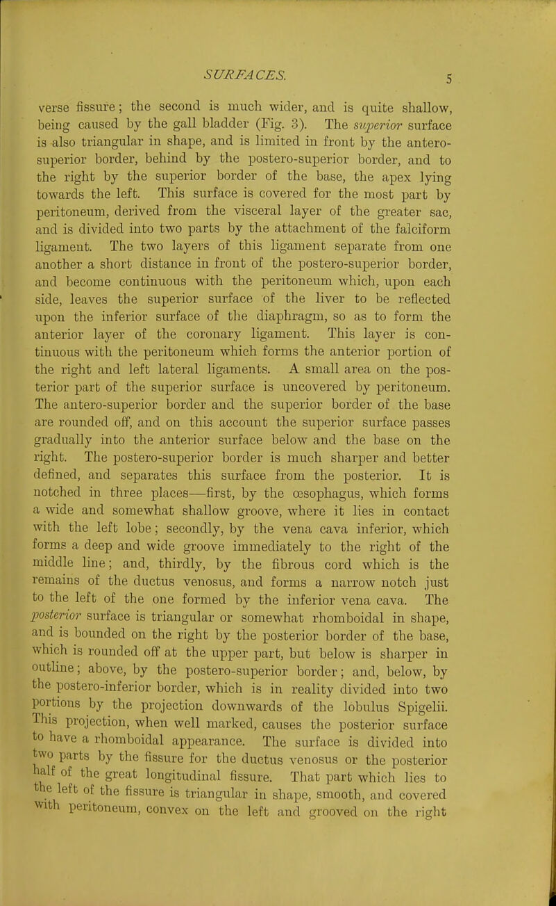 verse fissure; the second is much wider, and is quite shallow, beiug caused by the gall bladder (Fig. 3). The suioerior surface is also triangular in shape, and is limited in front by the antero- superior border, behind by the postero-superior border, and to the right by the superior border of the base, the apex lying towards the left. This surface is covered for the most part by peritoneum, derived from the visceral layer of the greater sac, and is divided into two parts by the attachment of the falciform ligament. The two layers of this ligament separate from one another a short distance in front of the postero-superior border, and become continuous with the peritoneum which, upon each side, leaves the superior surface of the liver to be reflected upon the inferior surface of the diaphragm, so as to form the anterior layer of the coronary ligament. This layer is con- tinuous with the peritoneum which forms the anterior portion of the right and left lateral ligaments. A small area on the pos- terior part of the superior surface is uncovered by peritoneum. The antero-superior border and the superior border of the base are rounded off, and on this account the superior surface passes gradually into the anterior surface below and the base on the right. The postero-superior border is much sharper and better defined, and separates this surface from the posterior. It is notched in three places—first, by the oesophagus, which forms a wide and somewhat shallow groove, where it lies in contact with the left lobe; secondly, by the vena cava inferior, which forms a deep and wide groove immediately to the right of the middle line; and, thirdly, by the fibrous cord which is the remains of the ductus venosus, and forms a narrow notch just to the left of the one formed by the inferior vena cava. The posterior surface is triangular or somewhat rhomboidal in shape, and is bounded on the right by the posterior border of the base, which is rounded off at the upper part, but below is sharper in outline; above, by the postero-superior border; and, below, by the postero-inferior border, which is in reality divided into two portions by the projection downwards of the lobulus Spigelii. This projection, when well marked, causes the posterior surface to have a rhomboidal appearance. The surface is divided into two parts by the fissure for the ductus venosus or the posterior naif of the great longitudinal fissure. That part which lies to the left of the fissure is triangular in shape, smooth, and covered with peritoneum, convex on the left and grooved on the right