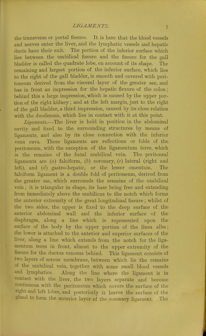 LIGAMENTS. the transverse or portal fissure. It is here that the blood vessels and nerves enter the liver, and the lymphatic vessels and hepatic ducts have their exit. The portion of the inferior surface which lies between the umbilical fissure and the fissure for the gall bladder is called the quadrate lobe, on account of its shape. The remaining and largest portion of the inferior surface, which lies to the right of the gall bladder, is smooth and covered with peri- toneum derived from the visceral layer of the greater sac, and has in front an impression for the hepatic flexure of the colon ; behind this a large impression, which is caused by the upper por- tion of the right kidney; and at the left margin, just to the right of the gall bladder, a third impression, caused by its close relation with the duodenum, which lies in contact with it at this point. Ligaments.—The liver is held in position in the abdominal cavity and fixed to the surrounding structures by means of ligaments, and also by its close connection with the inferior vena cava. These ligaments are reflections or folds of the peritoneum, with the exception of the ligamentum teres, which is the remains of the foetal umbilical vein. The peritoneal ligaments are (ft) falciform, (b) coronary, (c) lateral (right and left), and {d) gastro-hepatic, or the lesser omentum. The falciform ligament is a double fold of peritoneum, derived from the greater sac, which surrounds the remains of the i;mbilical vein; it is triangular in shape, its base being free and extending from immediately above the umbilicus to the notch which forms the anterior extremity of the great longitudinal fissure ; whilst of the two sides, the upper is fixed to the deep surface of the anterior abdominal wall and the inferior surface of the diaphragm, along a line which is represented upon the surface of the body by the upper portion of the linea alba; the lower is attached to the anterior and superior surfaces of the liver, along a line which extends from the notch for the liga- mentum teres in front, almost to the upper extremity of the fissure for the ductus venosus behind. This ligament consists of two layers of serous membrane, between which lie the remains of the umbilical vein, together with some small blood vessels and lymphatics. Along the line where the ligament is in contact with the liver, the two layers separate and become continuous with the peritoneum which covers the surface of the right and left lobes, and posteriorly it leaves the surface of the gland to form the anterior layer of the coronary ligament. The