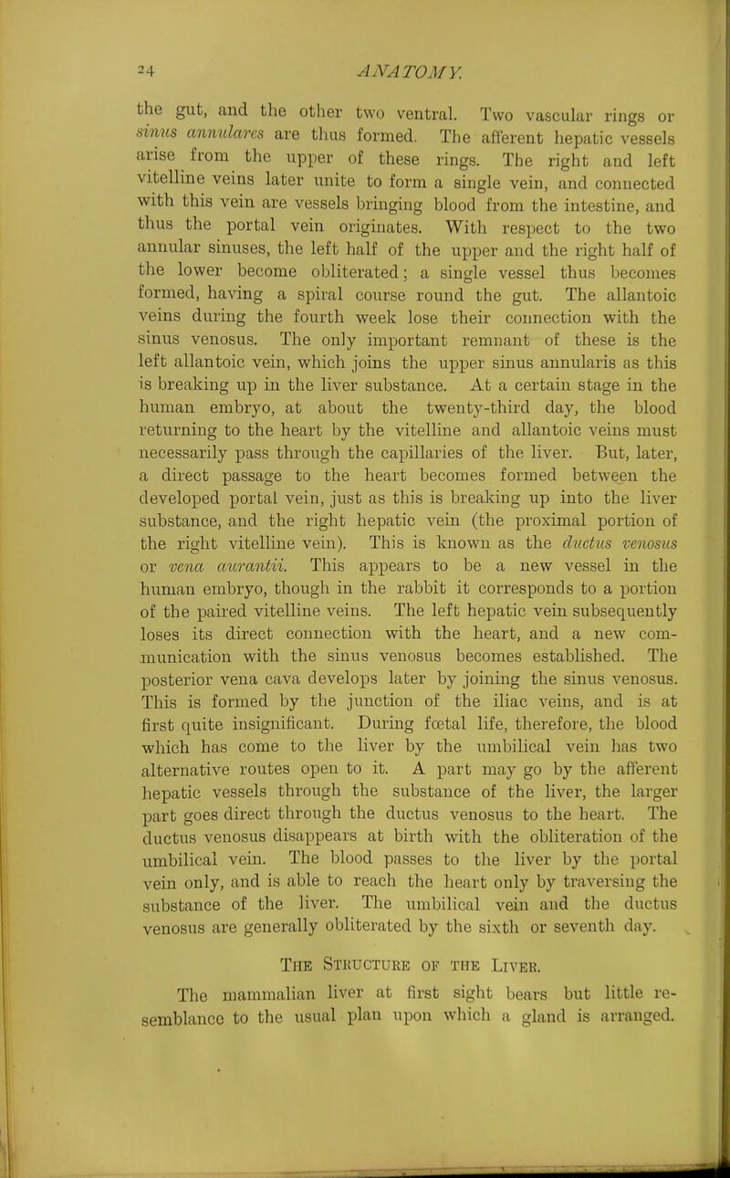 the gut, and the other two ventral. Two vascular rings or sinus amudarcs are thus formed. The afferent hepatic vessels arise from the upper of these rings. The right and left vitelline veins later unite to form a single vein, and connected with this vein are vessels bringmg blood from the intestine, and thus the portal vein originates. With respect to the two annular sinuses, the left half of the upper and the right half of the lower become obliterated; a single vessel thus becomes formed, having a spiral course round the gut. The allantoic veins during the fourth week lose their connection with the sinus venosus. The only important remnant of these is the left allantoic vein, which joins the upper sinus annularis as this is breaking up in the liver substance. At a certain stage in the human embryo, at about the twenty-third day, the blood returning to the heart by the vitelline and allantoic veins must necessarily pass through the capillaries of the liver. But, later, a direct passage to the heart becomes formed between the developed portal vein, just as this is breaking up into the liver substance, and the right hepatic vein (the proximal portion of the right vitelline vein). This is known as the ductus venosus or vena aurantii. This appears to be a new vessel in the human embryo, though in the rabbit it corresponds to a portion of the paired vitelline veins. The left hepatic vein subsequently loses its direct connection with the heart, and a new com- munication with the sinus venosus becomes established. The posterior vena cava develops later by joining the sinus venosus. This is formed by the junction of the iliac veins, and is at first quite insignificant. During fostal life, therefore, the blood which has come to the liver by the umbilical vein has two alternative routes open to it. A part may go by the afferent hepatic vessels through the substance of the liver, the larger part goes direct through the ductus venosus to the heart. The ductus venosus disappears at birth with the obliteration of the umbilical vein. The blood passes to the liver by the portal vein only, and is able to reach the heart only by traversing the substance of the liver. The umbilical vein and the ductus venosus are generally obliterated by the sixth or seventh day. The Stkucture of the Livek. The mammalian liver at first sight bears but little re- semblance to the usual plan upon which a gland is arranged.
