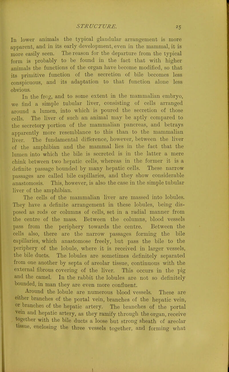 In lower animals the typical glandular arrangement is more apparent, and in its early development, even in the mammal, it is more easily seen. The reason for the departure from the typical form is probably to be found in the fact that with higher animals the functions of the organ have become modified, so that its primitive function of the secretion of bile becomes less conspicuous, and its adaptation to that function alone less obvious. In the frog, and to some extent in the mammalian embryo, we find a simple tubular liver, consisting of cells arranged around a lumen, into which is poured the secretion of those cells. The liver of such an animal may be aptly compared to the secretory portion of the mammalian pancreas, and betrays apparently more resemblance to this than to the mammalian liver. The fundamental difference, however, between the liver of the amphibian and the mammal lies in the fact that the lumen into which the bile is secreted is in the latter a mere chink between two hepatic cells, whereas in the former it is a definite passage bounded by many hepatic cells. These narrow passages are called bile capillaries, and they show considerable anastomosis. This, however, is also the case in the simple tubular liver of the amphibian. The cells of the mammalian liver are massed into lobules. They have a definite arrangement in these lobules, being dis- posed as rods or columns of cells, set in a radial manner from the centre of the mass. Between the columns, blood vessels pass from the periphery towards the centre. Between the cells also, there are the narrow passages forming the bile capillaries, which anastomose freely, but pass the bile to the periphery of the lobule, where it is received in larger vessels, the bile ducts. The lobules are sometimes definitely separated from one another by septa of areolar tissue, continuous with the external fibrous covering of the liver. This occurs in the pig and the camel. In the rabbit the lobules are not so definitely bounded, in man they are even more confluent. Around the lobule are numerous blood vessels. These are either branches of the portal vein, branches of the hepatic vein, or branches of the hepatic artery. The branches of the portal vem and hepatic artery, as they ramify through the organ, receive together with the bile ducts a loose but strong sheath of areolar tissue, enclosing the three vessels together, and forming what 1