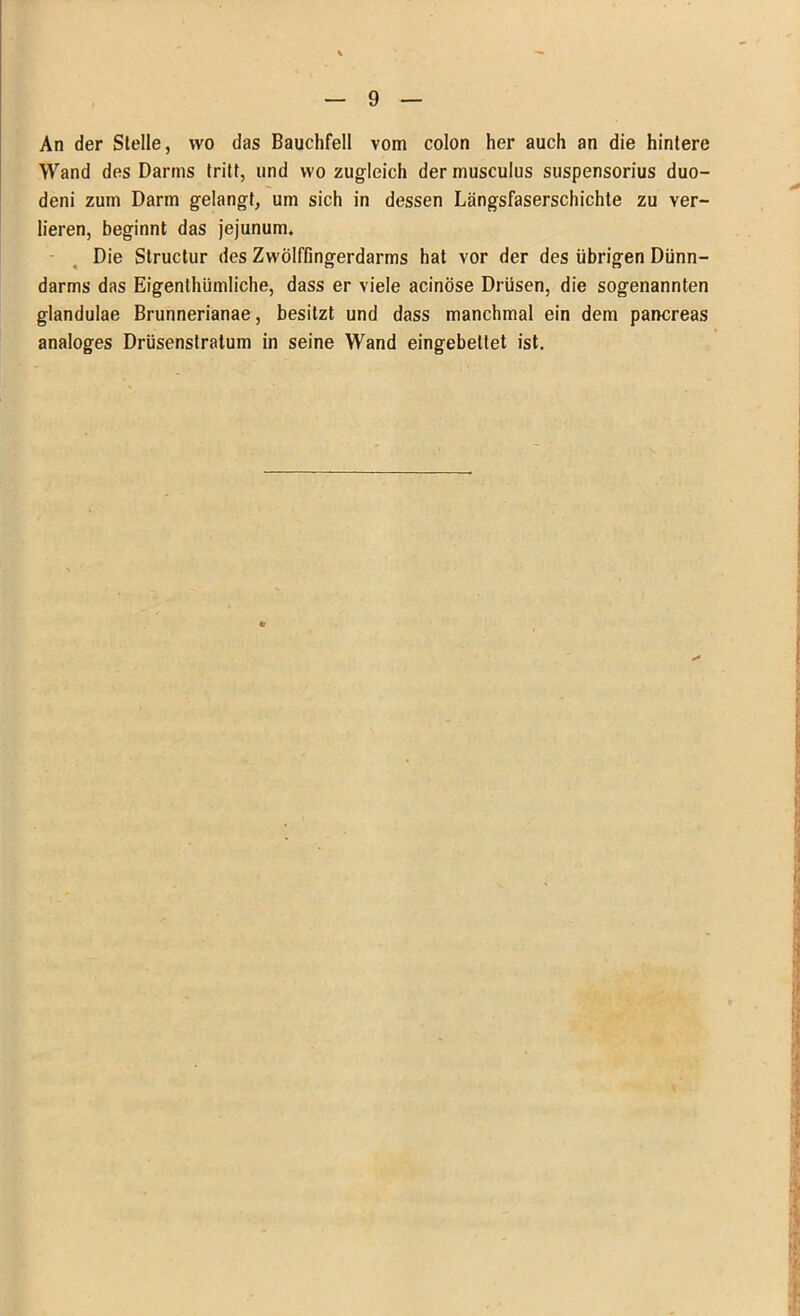 An der Stelle, wo das Bauchfell vom colon her auch an die hintere Wand des Darms tritt, und wo zugleich der musculus suspensorius duo- deni zum Darm gelangt, um sich in dessen Längsfaserschichte zu ver- lieren, beginnt das jejunum. Die Structur des Zwölffingerdarms hat vor der des übrigen Dünn- darms das Eigenthümliche, dass er viele acinöse Drüsen, die sogenannten glandulae Brunnerianae, besitzt und dass manchmal ein dem pancreas analoges Drüsenstratum in seine Wand eingebettet ist.
