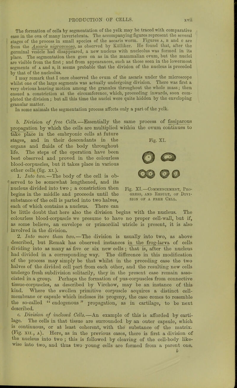 The formation of cells by segmentation of the yelk may be traced with comparative ease in the ova of many invertebrata. The accompanying figures represent the several stages of the process in small species of the ascaris worm. Figures a, b and o are from the Ascaris nirjrovcnosa, as ob.served by Kblliker. He found that, after the germinal vesicle had disappeared, a new nucleus with nucleolus was formed in its place. The segmentation then goes on as in the mammalian ovum, but the nuclei are visible from the first; and from appearances, such as those seen in the lowermost segments of a and b, it seems probable that the division of the nucleus is preceded by that of the nucleolus. I may remark that I once observed the ovum of the ascaris under the microscope whilst one of the large segments was actually undergoing division. There was first a very obvious heaving motion among the granules throughout the whole mass; then ensued a constriction at the circumference, which, proceeding inwards, soon com- pleted the division; but all this time the nuclei were quite hidden by the enveloping granular matter. In some animals the segmentation process affects only a part of the yelk. h. Division of free Cells.—Essentially the same process of fissiparous propagation by ■which the cells are multiplied withiu the oviun continues to iake place in the embryonic colls at future stages, and in their descendants in the Fig. XL organs and fluids of the body throughout life. The steps of the operation have been .^B^ best observed and proved in the colourless %<^P blood-corpuscles, but it takes place in various other cells (fig. xi.). #^ 1. Into two.—The body of the cell is ob- V M served to be somewhat lengthened, and its nucleus divided iuto two ; a constriction then pig. xi.—CoMMBTiCEMENT, Pro- begins in the middle and proceeds until the gress, and Result, of Divi- substance of the cell is parted into two halves, ^ion of a free Cell. each of which contains a nucleus. There can be little doubt that here also the division begins with the nucleus. The colourless blood-corpuscle we presume to have no proper cell-wall, but if, as some beheve, an envelope or primordial utricle is present, it is also involved in the division. 2. Into more than two.—The division is usually into two, as above described, but E-emak has observed instances in the frog-larva of cells dividing into as many as five or six new cells ; that is, after the nucleus had divided in a corresponding way. The difference in this modification of the process may simply be that whilst in the preceding case the two halves of the divided cell part from each other, and the resulting new cells undergo fresh subdivision solitarUy, they in the present case remain asso- ciated in a group. Perhaps the formation of pus-corpuscles from connective tissue-corpuscles, as described by Virchow, may be an instance of this kind. Where the swollen primitive corpuscle acquires a distinct cell- membrane or capsule which incloses its progeny, the case comes to resemble the so-called endogenous propagation, as in cartilage, to be next described. c. Division of inclosed Cells.—An example of this is afforded by carti- lage. The cells in that tissue are surrounded by an outer capsule, which is continuous, or at least coherent, with the substance of the matrix. (Fig. XII., a). Here, as in the previous cases, there is first a division of the nucleus into two ; this is followed by cleaving of the cell-body like- wise into two, and thus two young cells are formed from a parent one. 6