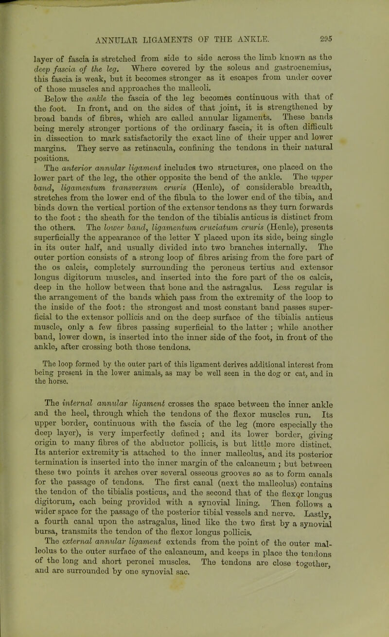 layer of fascia is stretched from side to side across the limb known as the deej} fascia of the leg. Where covered by the soleus and gastrocnemius, this fascia is weak, but it becomes stronger as it escapes from under cover of those muscles and approaches the malleoli Below the ankle the fascia of the leg becomes continuous with that of the foot. Li front, and on the sides of that joint, it is strengthened by broad bauds of fibres, -nrhich are called annular ligaments. These bands being merely stronger portions of the ordinary fascia, it is often difficult in dissection to mark satisfactorily the exact line of their upper and lower margins. They serve as retinacula, confining the tendons in their natural positions. The anterior a/nmdar ligament includes two structures, one placed on the lower part of the leg, the other opposite the bend of the ankle. The upper hand, ligamentum transversum cruris (Henle), of considerable breadth, stretches from the lower end of the fibula to the lower end of the tibia, and binds down the vertical portion of the extensor tendons as they turn forwards to the foot : the sheath for the tendon of the tibialis anticus is distinct from the others. The lower band, ligamentum cruciatum crwris (Henle), pi-esents superficially the appearance of the letter Y placed upon its side, being single in its outer half, and usually divided into two branches internally. The outer portion consists of a strong loop of fibres arising from the fore part of the OS calcis, completely surrounding the peroneus tertius and extensor longus digitorum muscles, and inserted into the fore part of the os calcis, deep in the hollow between that bone and the astragalus. Less regular is the arrangement of the bands which pass from the extremity of the loop to the inside of the foot: the strongest and most constant band passes super- ficial to the extensor pollicis and on the deep surface of the tibialis anticus muscle, only a few fibres passing superficial to the latter ; while another band, lower down, is inserted into the inner side of the foot, in front of the ankle, after crossing both those tendons. The loop formed by the outer part of this ligament derives additional interest from being present in the lower animals, as may be well seen in the dog or cat, and in the horse. The internal annulaa ligament crosses the space between the inner ankle and the heel, through which the tendons of the flexor muscles run. Its upper border, continuous with the fascia of the leg (more especially the deep layer), is very imperfectly defined; and its lower border, giving origin to many fibres of the abductor pollicis, is but little more distinct. Its anterior extremity is attached to the inner malleolus, and its posterior termination is inserted into the inner margin of the calcaneum ; but between these two points it arches over several osseous grooves so as to form canals for the passage of tendons. The first canal (next the malleolus) contains the tendon of the tibiaUs posticus, and the second that of the flexqr lono-us digitorum, each being provided with a synovial lining. Then follows a wider space for the passage of the posterior tibial vessels and nerve. Lastly, a fourth canal upon the astragalus, lined like the two first by a synovial bursa, transmits the tendon of the flexor longus pollicis. The external annular ligament extends from the point of the outer mal- leolus to the outer surface of the calcaneum, and keeps in place the tendons of the long and short peronei muscles. The tendons are close together and are surrounded by one synovial sac.