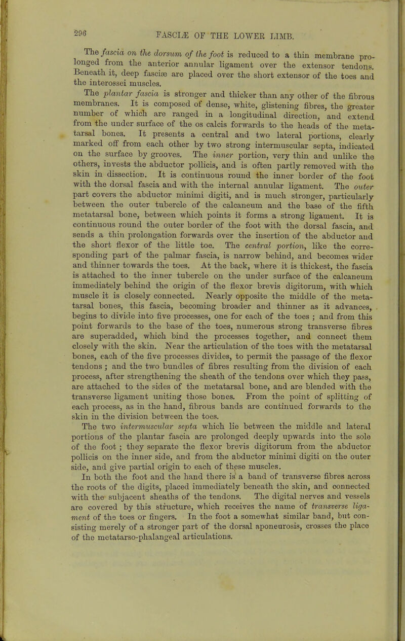 206 The fascia on the dorsum of the foot is reduced to a thin membrane pro- longed from the anterior annular ligament over the extensor tendons. Beneath it, deep fascitB are placed over the short extensor of the toes and the interossei muscles. The plantar fascia is stronger and thicker than any other of the fibrous membranes. It is composed of dense, white, glistening fibres, the greater number of which are ranged in a longitudinal direction, and extend from the under surface of the os calcis forwards to the heads of the meta- tarsal bones. It presents a central and two lateral portions, clearly- marked off from each other by two strong intermuscular septa, indicated on the surface by grooves. The inner portion, very thin and unlike the others, invests the abductor pollicis, and is often partly removed with the skin in dissection. It is continuous round the inner border of the foot with the dorsal fascia and with the internal annular ligament. The outer part covers the abductor minimi digiti, and is much stronger, particularly between the outer tubercle of the calcaneum and the base of the fifth metatarsal bone, between which points it forms a strong ligament. It is continuous round the outer border of the foot with the dorsal fascia, and sends a thin prolongation forwards over the insertion of the abductor and the short flexor of the little toe. The central portion, like the corre- sponding part of the palmar fascia, is narrow behind, and becomes wider and thinner towards the toes. At the back, where it is thickest, the fascia is attached to the inner tubercle on the under surface of the calcaneum immediately behind the origin of the flexor brevis digitorum, with which muscle it is closely connected. Nearly opposite the middle of the meta- tarsal bones, this fascia, becoming broader and thinner as it advances, begins to divide into five processes, one for each of the toes ; and from this point forwards to the base of the toes, numerous strong transverse fibres are superadded, wliich bind the processes together, and connect them closely with the skin. Near the articulation of the toes with the metatarsal bones, each of the five processes divides, to permit the passage of the flexor tendons ; and the two bundles of fibres resulting from the division of each process, after strengthening the sheath of the tendons over which they pass, are attached to the sides of the metatarsal bone, and are blended with the transverse ligament uniting those bones. From the point of splitting of each process, as in the hand, fibrous bands are continued forwards to the skin in the division between the toes. The two interniusctilar septa which lie between the middle and lateral portions of the plantar fascia are prolonged deeply upwards into the sole of the foot ; they separate the flexor brevis digitorum from the abductor pollicis on the inner side, and from the abductor minimi digiti on the outer side, and give partial origin to each of these muscles. In both the foot and the hand there is a band of transverse fibres across the roots of the digits, placed immediately beneath the skin, and connected with the subjacent sheaths of the tendons. The digital nerves and vessels are covered by this structure, which receives the name of transverse liga- ment of the toes or fingers. In the foot a somewhat similar band, but con- sisting merely of a stronger part of the dorsal aponeurosis, crosses the place of the metatarso-phalangeal articulations.