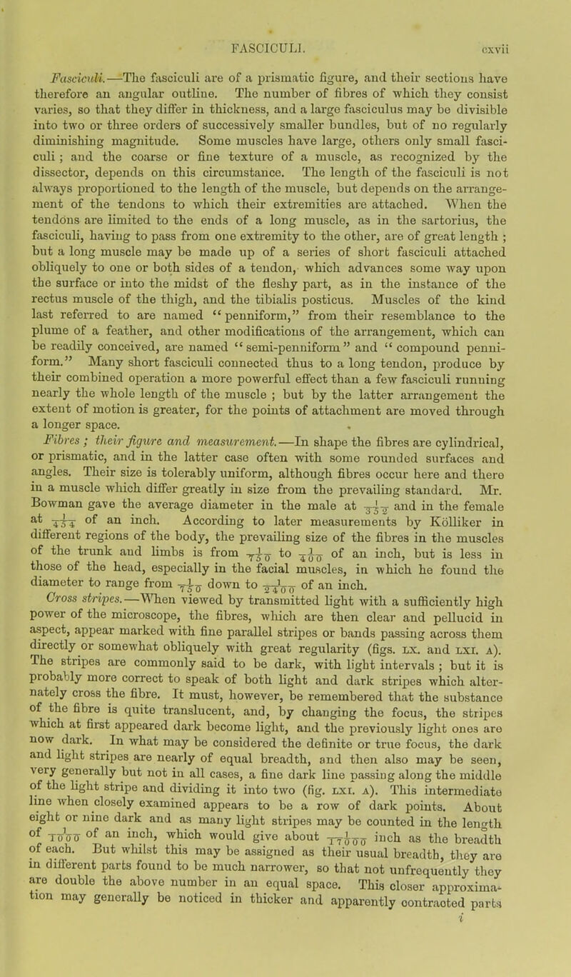 Fasciculi. —The fasciculi are of a prismatic figure, and their sectious have therefore an angular outline. The number of fibres of which they consist varies, so that they differ in thickness, and a large fasciculus may be divisible into two or three orders of successively smaller bundles, but of no regularly diminishing magnitude. Some muscles have large, others only small fasci- culi ; and the coarse or fine texture of a muscle, as recognized by the dissector, depends on this circumstance. The length of the fasciculi is not always proportioned to the length of the muscle, but depends on the arrange- ment of the tendons to which their extremities are attached. When the tendons are limited to the ends of a long muscle, as in the sartorius, the fasciculi, having to pass from one extremity to the other, are of great length ; but a long muscle may be made up of a series of short fasciculi attached obliquely to one or both sides of a tendon, which advances some way upon the surface or into the midst of the fleshy part, as in the instance of the rectus muscle of the thigh, and the tibialis posticus. Muscles of the kind last referred to are named  penniform, from their resemblance to the plume of a feather, and other modifications of the arrangement, which can be readily conceived, are named  semi-penniforrn  and  compound penni- form. Many short fasciculi connected thus to a long tendon, produce by their combined operation a more powerful effect than a few fasciculi running nearly the whole length of the muscle ; but by the latter arrangement the extent of motion is greater, for the points of attachment are moved through a longer space. Fibres; their figure and measurement.—In shape the fibres are cylindrical, or prismatic, and in the latter case often with some rounded surfaces and angles. Their size is tolerably uniform, although fibres occur here and there in a muscle which differ greatly in size from the prevailing standard. Mr. Bowman gave the average diameter in the male at -g-^ and in the female at *hi of an mcn- According to later measurements by Kolliker in different regions of the body, the prevailing size of the fibres in the muscles of the trunk and limbs is from TJ-7 to -ji^ of an inch, but is less in those of the head, especially in the facial muscles, in which he found the diameter to range from T|ff down to 24W of an mcn- Cross stripes.—When viewed by transmitted light with a sufficiently high power of the microscope, the fibres, which are then clear and pellucid in aspect, appear marked with fine parallel stripes or bands passing across them directly or somewhat obliquely with great regularity (figs. lx. and lxi. a). The stripes are commonly said to be dark, with light intervals ; but it is probably more correct to speak of both light and dark stripes which alter- nately cross the fibre. It must, however, be remembered that the substance of the fibre is quite translucent, and, by changing the focus, the stripes which at first appeared dark become light, and the previously light ones are now dark. In what may be considered the definite or true focus, the dark and light stripes are nearly of equal breadth, and then also may be seen, very generally but not in all cases, a fine dark line passing along the middle of the light stripe and dividing it into two (fig. lxl a). This intermediate line when closely examined appears to be a row of dark points. About eight or nine dark and as many light stripes may be counted in the length °* Toff0 of an inch, which would give about inch as the breadth of each. But whilst this may be assigned as their usual breadth, they are in different parts found to be much narrower, so that not unfrequently they are double the above number in an equal space. This closer approxiim-v tion may generally be noticed in thicker and apparently oontraoted parts