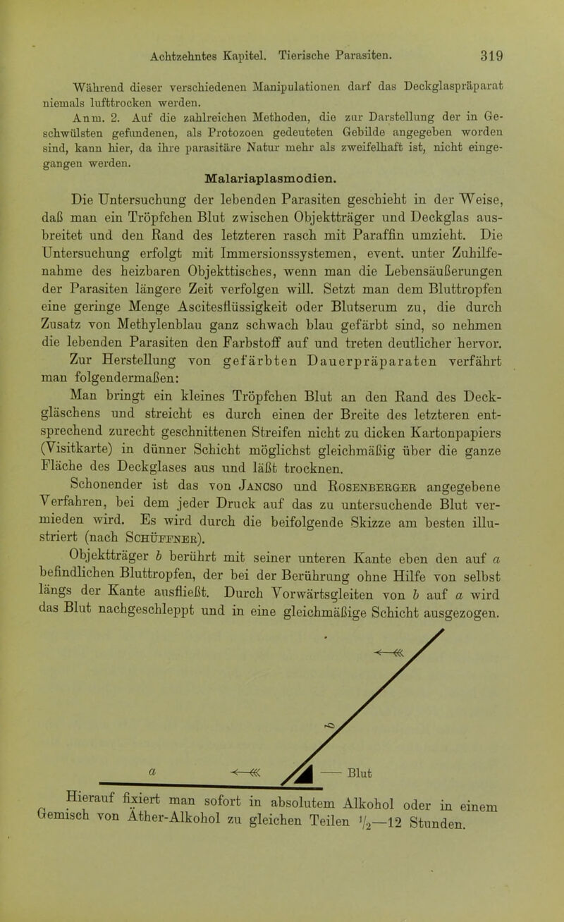 Während dieser verschiedenen Manipulationen darf das Deckglaspräparat niemals lufttrocken werden. An in. 2. Auf die zahlreichen Methoden, die aar Darstellung der in Ge- schwülsten gefundenen, als Protozoen gedeuteten Gebilde angegeben worden sind, kann hier, da ihre parasitäre Natur mehr als zweifelhaft ist, nicht einge- gangen werden. Malariaplasmodien. Die Untersuchung der lebenden Parasiten geschieht in der Weise, daß man ein Tröpfchen Blut zwischen Objektträger und Deckglas aus- breitet und den Rand des letzteren rasch mit Paraffin umzieht. Die Untersuchung erfolgt mit Immersionssystemen, event. unter Zuhilfe- nahme des heizbaren Objekttisches, wenn man die Lebensäußerungen der Parasiten längere Zeit verfolgen will. Setzt man dem Bluttropfen eine geringe Menge Ascitesfiüssigkeit oder Blutserum zu, die durch Zusatz von Methylenblau ganz schwach blau gefärbt sind, so nehmen die lebenden Parasiten den Farbstoff auf und treten deutlicher hervor. Zur Herstellung von gefärbten Dauerpräparaten verfährt man folgendermaßen: Man bringt ein kleines Tröpfchen Blut an den Rand des Deck- gläschens und streicht es durch einen der Breite des letzteren ent- sprechend zurecht geschnittenen Streifen nicht zu dicken Kartonpapiers (Visitkarte) in dünner Schicht möglichst gleichmäßig über die ganze Fläche des Deckglases aus und läßt trocknen. Schonender ist das von Jancso und Rosenberger angegebene Verfahren, bei dem jeder Druck auf das zu untersuchende Blut ver- mieden wird. Es wird durch die beifolgende Skizze am besten illu- striert (nach Schüfener). Objektträger b berührt mit seiner unteren Kante eben den auf a befindlichen Bluttropfen, der bei der Berührung ohne Hilfe von selbst längs der Kante ausfließt. Durch Vorwärtsgleiten von b auf a wird das Blut nachgeschleppt und in eine gleichmäßige Schicht ausgezogen. Hierauf fixiert man sofort in absolutem Alkohol oder in einem Gemisch von Ather-Alkohol zu gleichen Teilen Y2-12 Stunden.