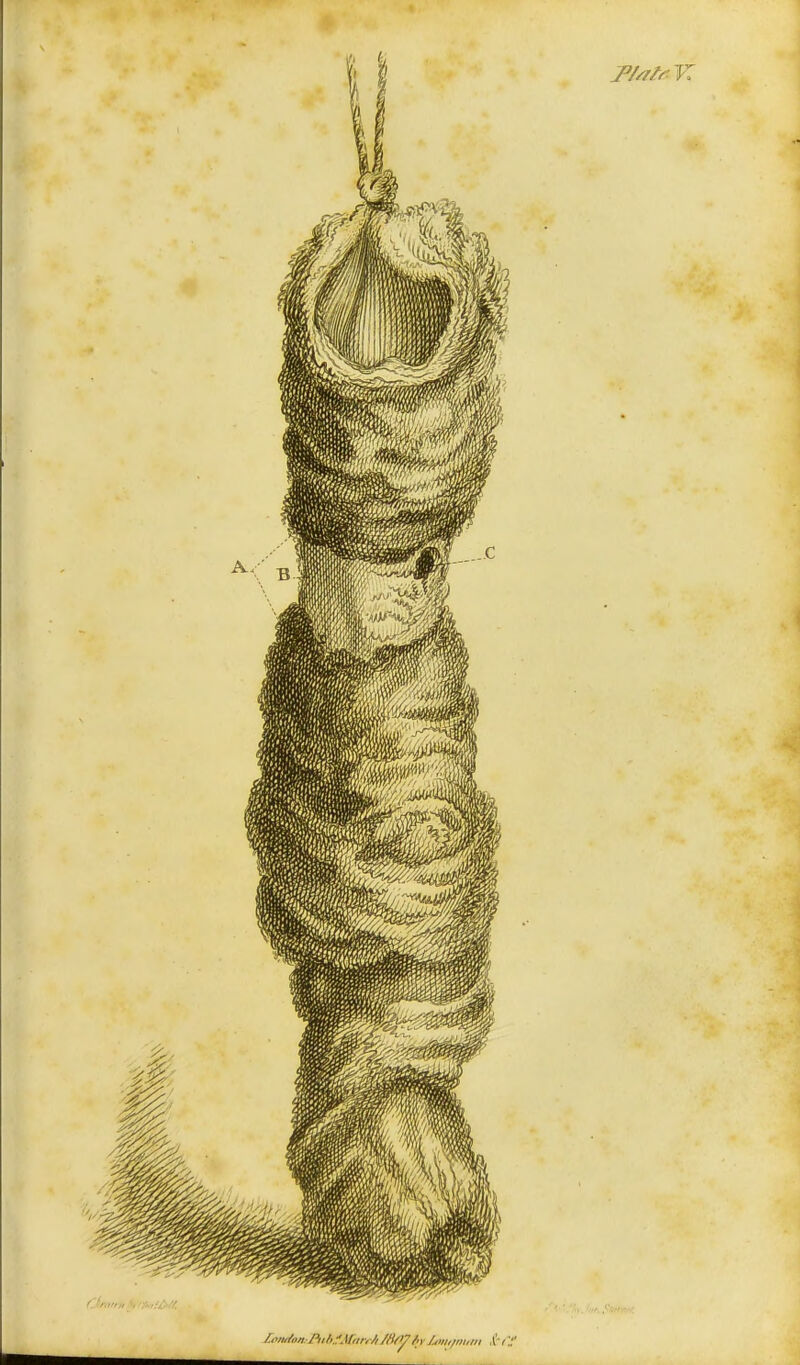 /.nndon Piil>,?M,,r,/, /ti(>7 fiy 0»l,/mttll StfT