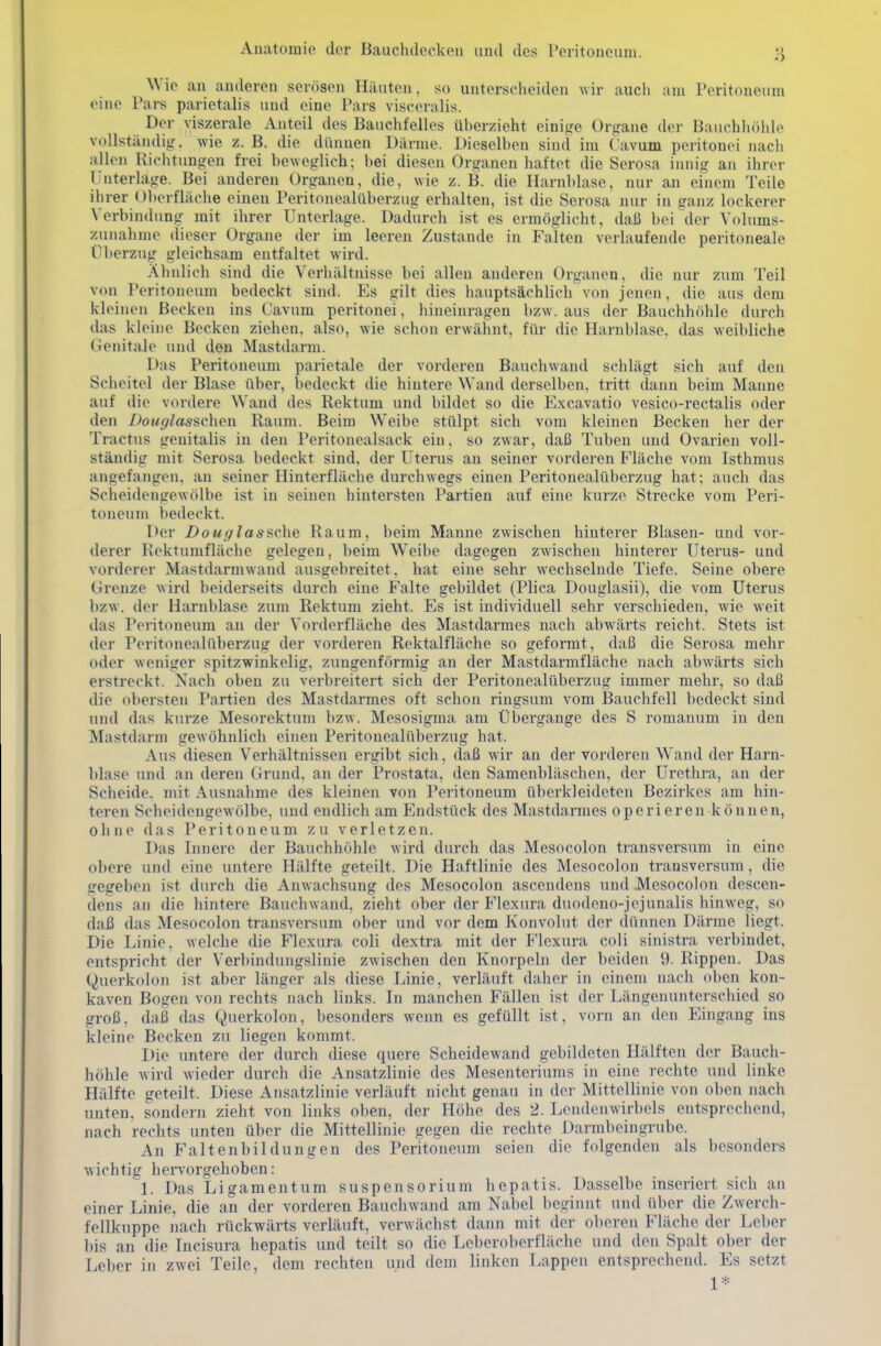 Wie an anderen serösen Häuten, so unterscheiden wir auch am Peritoneum eine Pars parietalis und eine Pars visceralis. Der viszerale Anteil des Bauchfelles überzieht einige Organe der Bauchhöhle vollständig, wie z. B. die dünnen Därme. Dieselben sind im ( avum peritonei nach allen Richtungen frei beweglich; bei diesen Organen haftet die Serosa iimig an ihrer l'nterlage. Bei anderen Organen, die, wie z. B. die Harnblase, nur an einem Teile ihrer Oberfläche einen Peritonealüberzug erhalten, ist die Serosa nur in ganz lockerer Verbindung mit ihrer Unterlage. Dadurch ist es ermöglicht, daß bei der Volums- zunahme dieser Organe der im leeren Zustande in Falten verlaufende peritoneale Überzug gleichsam entfaltet wird. Ähnlich sind die Verhältnisse bei allen anderen Organen, die nur zum Teil von Peritoneum bedeckt sind. Es gilt dies hauptsächlich von jenen, die aus dem kleinen Becken ins Cavum peritonei, hineinragen bzw. aus der Bauchhöhle durch das kleine Becken ziehen, also, wie schon erwähnt, für die Harnblase, das weibliche Genitale uiul den Mastdarm. Das Peritoneum parietale der vorderen Bauchwand schlägt sich auf den Scheitel der Blase über, bedeckt die hintere Wand derselben, tritt dann beim Manne auf die vordere Wand des Rektum und bildet so die Excavatio vesico-rectalis oder den I)ouglass(:hen Raum. Beim Weibe stülpt sich vom kleinen Becken her der Tractus genitalis in den Peritonealsack ein, so zwar, daß Tuben und Ovarien voll- ständig mit Serosa bedeckt sind, der Uterus an seiner vorderen Pläche vom Isthmus angefangen, an seiner Hinterfläche durchwegs einen Peritonealüberzug hat; auch das Scheidengewölbe ist in seinen hintersten Partien auf eine kurze Strecke vom Peri- toneum bedeckt. Der Douglassche Raum, beim Manne zwischen hinterer Blasen- und vor- derer Roktumfläche gelegen, beim Weibe dagegen zwischen hinterer Uterus- und vorderer Mastdarm wand ausgebreitet, hat eine sehr wechselnde Tiefe. Seine obere Grenze wird beiderseits durch eine Falte gebildet (Plica Douglasii), die vom Uterus bzw . der Harnblase zum Rektum zieht. Es ist individuell sehr verschieden, wie weit das Peritoneum an der Vorderfläche des Mastdarmes nach abwärts reicht. Stets ist der Peritonealüberzug der vorderen Rektalfläche so geformt, daß die Serosa mehr oder weniger spitzwinkelig, zungenförmig an der Mastdarmfläche nach abwärts sich erstreckt. Nach oben zu verbreitert sich der Peritonealüberzug immer mehr, so daß die obersten Partien des Mastdarmes oft schon ringsum vom Bauchfell bedeckt sind uiul das kurze Mesorektum bzw. Mesosigma am Übergange des S romanum in den Mastdarm gewöhnlich einen Peritonealüberzug hat. Aus diesen Verhältnissen ergibt sich, daß wir an der vorderen Wand der Harn- blase und an deren Grund, an der Prostata, den Samenbläschen, der Urethra, an der Scheide, mit Ausnahme des kleinen von Peritoneum überkleideten Bezirkes am hin- teren Scheidengewölbe, und endlich am Endstück des Mastdarmes operieren können, oiine das Peritoneum zu verletzen. Das Innere der Bauchhöhle wird durch das Mesocolon transversum in eine o])ere und eine untere Hälfte geteilt. Die Haftlinie des Mesocolon transversum, die gegeben ist durch die Anwachsung des Mesocolon ascendens und Mesocolon dcscen- dens an die hintere Bauchwand, zieht ober der Flexura duodeno-jejunalis hinweg, so daß das Mesocolon transversum ober und vor dem Konvolut der dünnen Därme liegt. Die Linie, welche die Flexura coli dextra mit der Flexura coli sinistra verbindet, entspricht der Verbindungslinie zwischen den Knorpeln der beiden 9. Rippen. Das t^uerkolon ist aber länger als diese Linie, verläuft daher in einem nach oben kon- kaven Bogen von rechts nach links. In manchen Fällen ist der Längenunterschied so groß, daß das Querkolon, besonders wenn es gefüllt ist, vorn an den Eingang ins kleine Becken zu liegen kommt. Die untere der durch diese quere Scheidewand gebildeten Hälften der Bauch- höhle wird wieder durch die Ansatzlinie des Mesenteriums in eine rechte und linke Hälfte geteilt. Diese Ansatzlinie verläuft nicht genau in der Mittellinie von oben nach unten, sondern zieht von links oben, der Höhe des 2. Lendenwirbels entsprechend, nach rechts unten über die Mittellinie gegen die rechte Darrabeingrube. An Faltenbildungen des Peritoneum seien die folgenden als besonders wichtig hervorgehoben: 1. Das Ligamentum Suspensorium hepatis. Dasselbe inseriert sich an einer Linie, die an der vorderen Bauchwand am Nabel beginnt und über die Zwerch- fellkuppe nach rückwärts verläuft, verwächst dann mit der oberen Fläche der Leber bis an die Tncisura hepatis und teilt so die Leberoberfläche und den Spalt ober der Leber in zwei Teile, dem rechten und dem linken Lappen entsprechend. Es setzt 1*