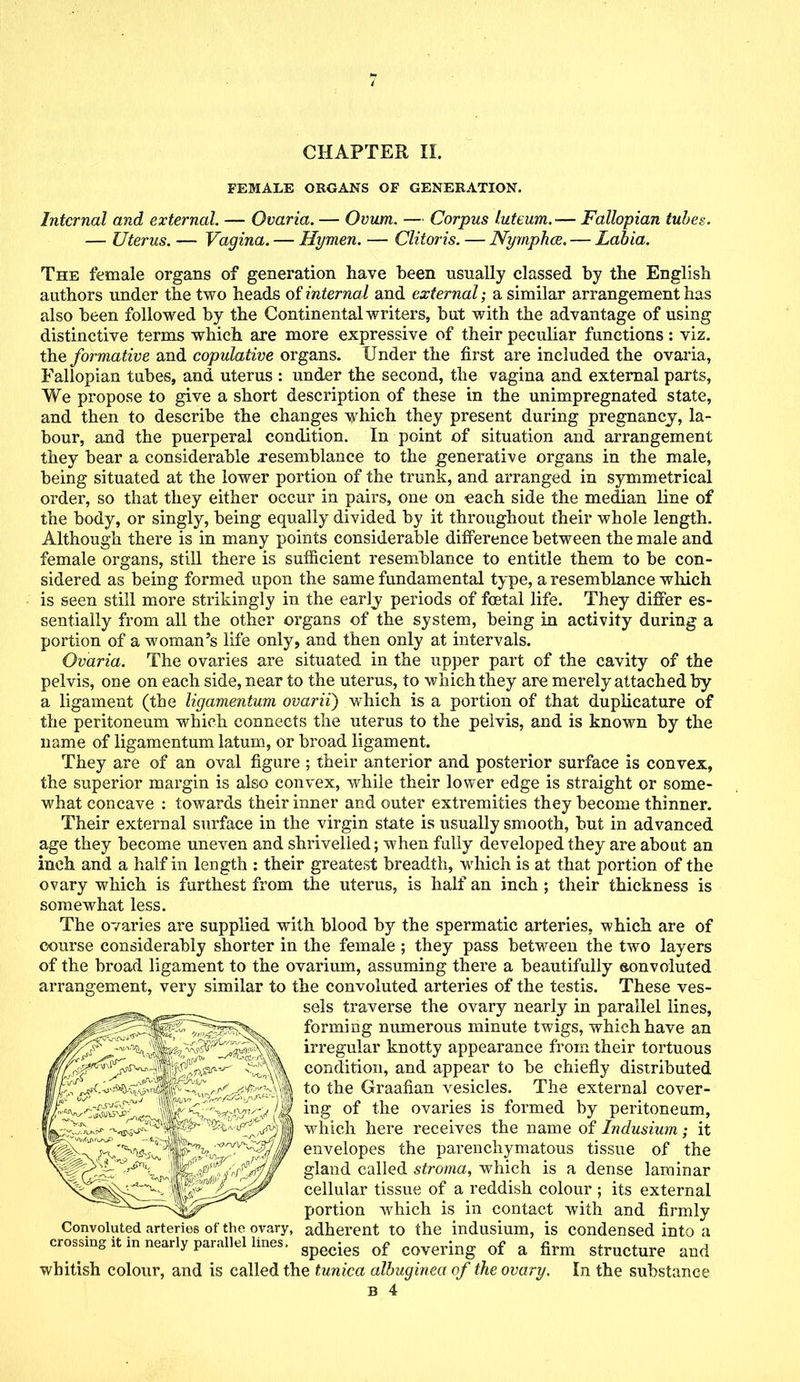 FEMALE ORGANS OF GENERATION. Internal and external. — Ovaria. — Ovum. — Corpus luteum.— Fallopian tubes. — Uterus. — Vagina. — Hymen. — Clitoris. — Nymphce. — Labia. The female organs of generation have been usually classed by the English authors under the two heads of internal and external; a similar arrangement has also been followed by the Continental writers, but with the advantage of using distinctive terms which are more expressive of their peculiar functions: viz. the formative and copulative organs. Under the first are included the ovaria, Fallopian tubes, and uterus : under the second, the vagina and external parts, We propose to give a short description of these in the unimpregnated state, and then to describe the changes which they present during pregnancy, la- bour, and the puerperal condition. In point of situation and arrangement they bear a considerable .resemblance to the generative organs in the male, being situated at the lower portion of the trunk, and arranged in symmetrical order, so that they either occur in pairs, one on each side the median line of the body, or singly, being equally divided by it throughout their whole length. Although there is in many points considerable difference between the male and female organs, still there is sufficient resemblance to entitle them to be con- sidered as being formed upon the same fundamental type, a resemblance which is seen still more strikingly in the early periods of foetal life. They differ es- sentially from all the other organs of the system, being in activity during a portion of a woman's life only, and then only at intervals. Ovaria. The ovaries are situated in the upper part of the cavity of the pelvis, one on each side, near to the uterus, to which they are merely attached by a ligament (the ligamentum ovarii) which is a portion of that duplicature of the peritoneum which connects the uterus to the pelvis, and is known by the name of ligamentum latum, or broad ligament. They are of an oval figure ; their anterior and posterior surface is convex, the superior margin is also convex, while their lower edge is straight or some- what concave : towards their inner and outer extremities they become thinner. Their external surface in the virgin state is usually smooth, but in advanced age they become uneven and shrivelled; when fully developed they are about an inch and a half in length : their greatest breadth, which is at that portion of the ovary which is furthest from the uterus, is half an inch ; their thickness is somewhat less. The ovaries are supplied with blood by the spermatic arteries, which are of course considerably shorter in the female ; they pass between the two layers of the broad ligament to the ovarium, assuming there a beautifully eonvoluted arrangement, very similar to the convoluted arteries of the testis. These ves- sels traverse the ovary nearly in parallel lines, forming numerous minute twigs, which have an irregular knotty appearance from their tortuous condition, and appear to be chiefly distributed to the Graafian vesicles. The external cover- ing of the ovaries is formed by peritoneum, which here receives the name of Indusium; it envelopes the parenchymatous tissue of the gland called stroma, which is a dense laminar cellular tissue of a reddish colour ; its external portion which is in contact with and firmly Convoluted arteries of the ovary, adherent to the indusium, is condensed into a crossing it in nearly parallel lines. species of covering of a firm structure and whitish colour, and is called the tunica albuginea of the ovary. In the substance