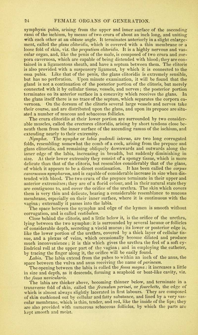 symphysis pubis, arising from the upper and inner surface of the ascending rami of the ischium, by means of two crura of about an inch long, and uniting with each other at an obtuse angle. It terminates anteriorly in a slight enlarge- ment, called the glans clitoridis, which is covered with a thin membrane or a loose fold of skin, viz\ the preputium clitoridis. It is a highly nervous and vas- cular organ, and, like the penis of the male, is composed of two crura and cor- pora cavernosa, which are capable of being distended with blood; they are con- tained in a ligamentous sheath, and have a septum between them. The clitoris is also provided with a suspensory ligament, by which it is connected to the ossa pubis. Like that of the penis, the glans clitoridis is extremely sensible, but has no perforation. Upon minute examination, it will be found that the gland is not a continuation of the posterior portion of the clitoris, but merely connected with it by cellular tissue, vessels, and nerves; the posterior portion terminates on its anterior surface in a concavity which receives the glans. In the glans itself there is no trace of the septum, which separates the corpora ca- vernosa. On the dorsum of the clitoris several large vessels and nerves take their course, and are distributed upon the glans, and upon its prepuce are situ- ated a number of mucous and sebaceous follicles. The crura clitoridis at their lower portion are surrounded by two consider- able muscles, called the erectores clitoridis, arising by short tendons close be- neath them from the inner surface of the ascending ramus of the ischium, and extending nearly to their extremity. Nymphce. The nympha or labia pudendi interna, are two long corrugated folds, resembling somewhat the comb of a cock, arising from the prepuce and glans clitoridis, and remaining obliquely downwards and outwards along the inner edge of the labia, increasing in breadth, but suddenly diminishing in size. At their lower extremity they consist of a spongy tissue, which is more delicate than that of the clitoris, but resembles considerably that of the glans, of which it appears to be a direct continuation. It has been called the corpus caveniosum nympharum, and is capable of considerable increase in size when dis- tended with blood. The two crura of the prepuce terminate in their upper and anterior extremities; they are of a florid colour, and in their natural state they are contiguous to, and cover the orifice of the urethra. The skin which covers them is very thin and delicate, bearing a considerable resemblance to mucous membrane, especially on their inner surface, where it is continuous with the vagina; externally it passes into the labia. The space between the nymphae and edge of the hymen is smooth without corrugation, and is called vestibulum. Close behind the clitoris, and a little below it, is the orifice of the urethra, lying between the two nymphse: it is surrounded by several lacunae or follicles of considerable depth, secreting a viscid mucus ; its lower or posterior edge is, like the lower portion of the urethra, covered by a thick layer of cellular tis- sue, and a plexus of veins, which occasionally become dilated and produce much inconvenience ; it is this which gives the urethra the feel of a soft cy- lindrical roll at the upper part of the vagina ; and in employing the catheter, by tracing the finger along it, the orifice will be easily found. Labia. The labia extend from the pubes to within an inch of the anus, the space between the vulva and anus receiving the name of perineum. The opening between the labia is called the fossa magna: it increases a little in size and depth, as it descends, forming a scaphoid or boat-like cavity, viz. the fossa navicularis. The labia are thicker above, becoming thinner below, and terminate in a transverse fold of skin, called the frenulum perinei, or fourchette, the edge of which is almost always slightly lacerated in first labours. They are composed of skin cushioned out by cellular and fatty substance, and lined by a very vas- cular membrane, which is thin, tender, and red, like the inside of the lips; they are also provided with numerous sebaceous follicles, by which the parts are kept smooth and moist.