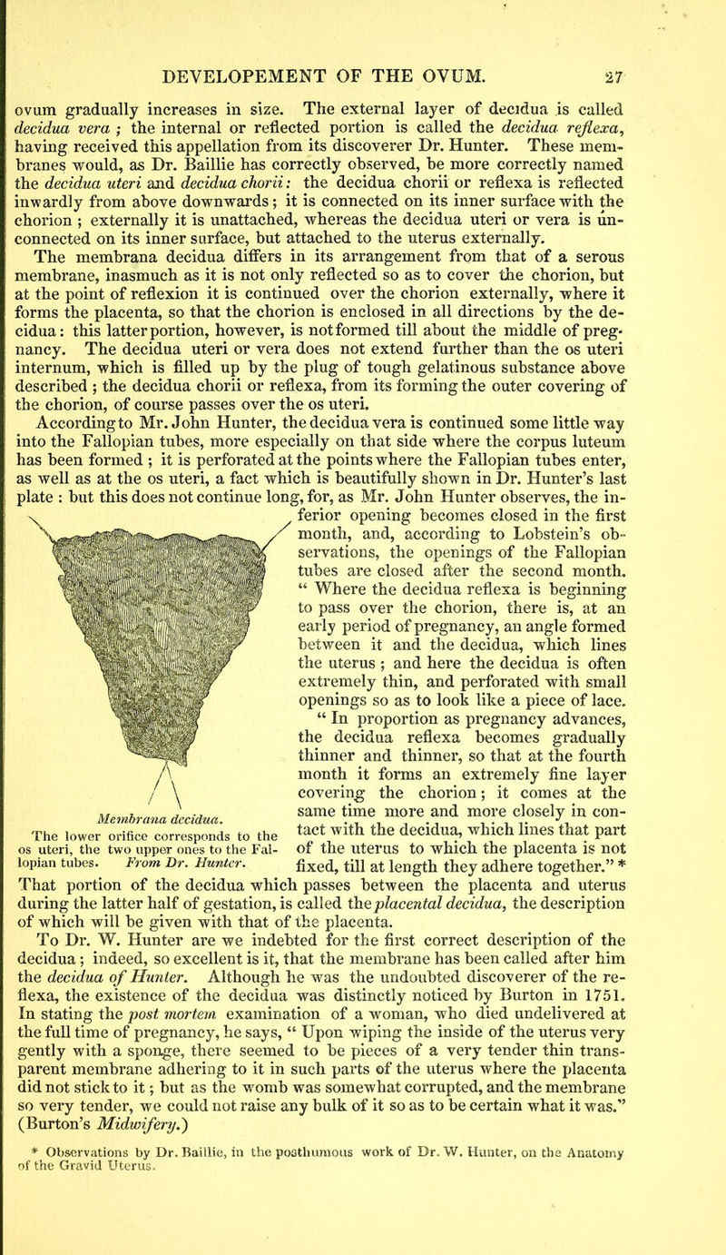 ovum gradually increases in size. The external layer of decidua is called decidua vera ; the internal or reflected portion is called the decidua reflexa, having received this appellation from its discoverer Dr. Hunter. These mem- branes would, as Dr. Baillie has correctly observed, be more correctly named the decidua uteri and decidua chorii: the decidua chorii or reflexa is reflected inwardly from above downwards; it is connected on its inner surface with the chorion ; externally it is unattached, whereas the decidua uteri or vera is un- connected on its inner surface, but attached to the uterus externally. The membrana decidua differs in its arrangement from that of a serous membrane, inasmuch as it is not only reflected so as to cover the chorion, but at the point of reflexion it is continued over the chorion externally, where it forms the placenta, so that the chorion is enclosed in all directions by the de- cidua: this latter portion, however, is not formed till about the middle of preg- nancy. The decidua uteri or vera does not extend further than the os uteri internum, which is filled up by the plug of tough gelatinous substance above described ; the decidua chorii or reflexa, from its forming the outer covering of the chorion, of course passes over the os uteri. Accordingto Mr. John Hunter, the decidua vera is continued some little way into the Fallopian tubes, more especially on that side where the corpus luteum has been formed ; it is perforated at the points where the Fallopian tubes enter, as well as at the os uteri, a fact which is beautifully shown in Dr. Hunter's last plate : but this does not continue long, for, as Mr. John Hunter observes, the in- ferior opening becomes closed in the first month, and, according to Lobstein's ob- servations, the openings of the Fallopian tubes are closed after the second month.  Where the decidua reflexa is beginning to pass over the chorion, there is, at an early period of pregnancy, an angle formed between it and the decidua, which lines the uterus; and here the decidua is often extremely thin, and perforated with small openings so as to look like a piece of lace.  In proportion as pregnancy advances, the decidua reflexa becomes gradually thinner and thinner, so that at the fourth A month it forms an extremely fine layer / \ covering the chorion; it comes at the Membrana decidua. same time more and more closely in con- The lower orifice corresponds to the tact with the decidua, which lines that part os uteri, the two upper ones to the Fal- of the uterus to which the placenta is not lopian tubes. From Dr. Hunter. fixed, till at length they adhere together. * That portion of the decidua which passes between the placenta and uterus during the latter half of gestation, is called the placental decidua, the description of which will be given with that of the placenta. To Dr. W. Hunter are we indebted for the first correct description of the decidua; indeed, so excellent is it, that the membrane has been called after him the decidua of Hunter. Although he was the undoubted discoverer of the re- flexa, the existence of the decidua was distinctly noticed by Burton in 1751. In stating the post mortem examination of a woman, who died undelivered at the full time of pregnancy, he says,  Upon wiping the inside of the uterus very gently with a sponge, there seemed to be pieces of a very tender thin trans- parent membrane adhering to it in such parts of the uterus where the placenta did not stick to it; but as the womb was somewhat corrupted, and the membrane so very tender, we could not raise any bulk of it so as to be certain what it was. (Burton's Midwifery.) * Observations by Dr. Baillie, in the posthumous work of Dr. W. Hunter, on the Anatomy of the Gravid Uterus,