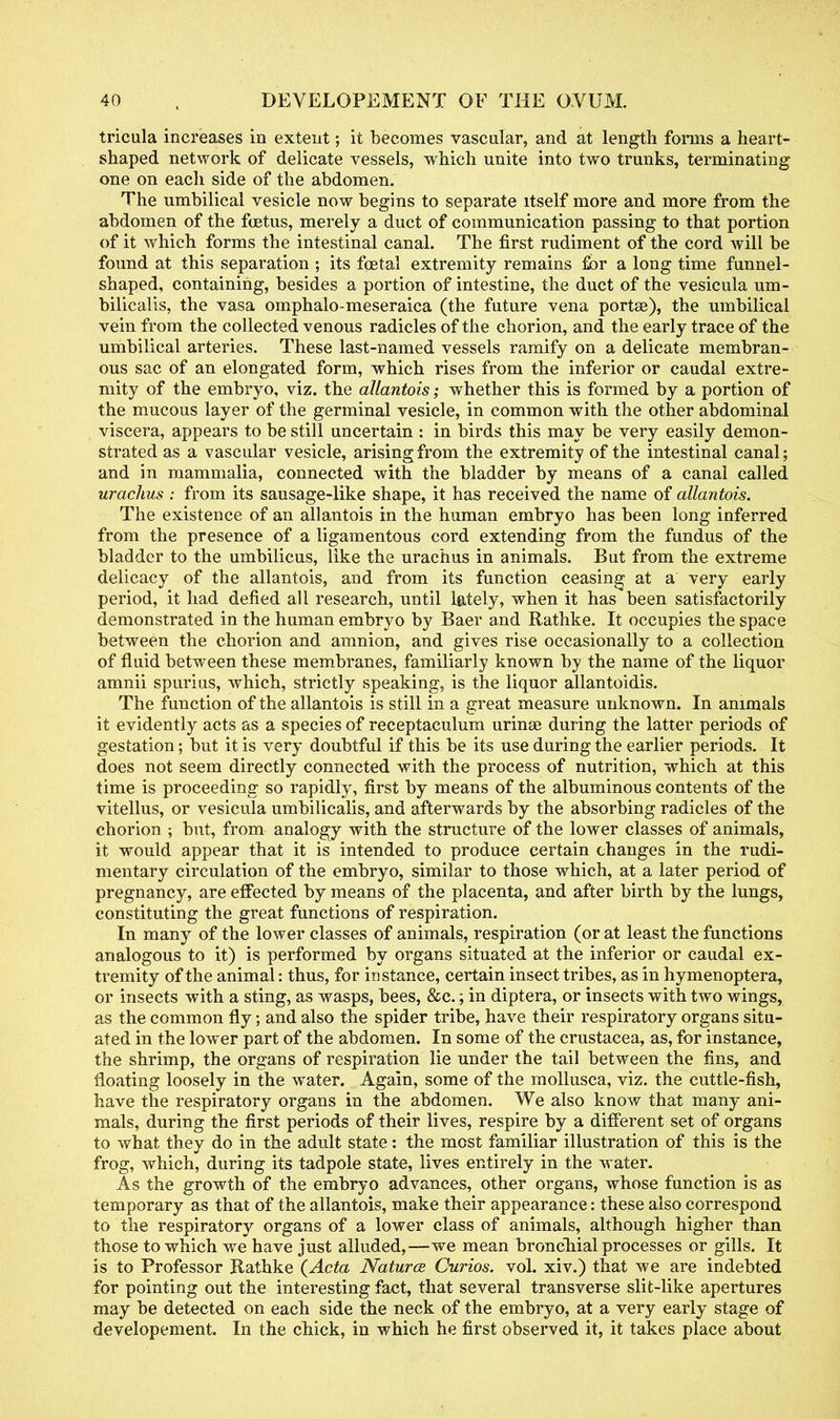 tricula increases in extent; it becomes vascular, and at length forms a heart- shaped network of delicate vessels, which unite into two trunks, terminating one on each side of the abdomen. The umbilical vesicle now begins to separate itself more and more from the abdomen of the foetus, merely a duct of communication passing to that portion of it which forms the intestinal canal. The first rudiment of the cord will be found at this separation ; its foetal extremity remains for a long time funnel- shaped, containing, besides a portion of intestine, the duct of the vesicula um- bilicalis, the vasa omphalo-meseraica (the future vena portse), the umbilical vein from the collected venous radicles of the chorion, and the early trace of the umbilical arteries. These last-named vessels ramify on a delicate membran- ous sac of an elongated form, which rises from the inferior or caudal extre- mity of the embryo, viz. the allantois; whether this is formed by a portion of the mucous layer of the germinal vesicle, in common with the other abdominal viscera, appears to be still uncertain : in birds this may be very easily demon- strated as a vascular vesicle, arising from the extremity of the intestinal canal; and in mammalia, connected with the bladder by means of a canal called urachus : from its sausage-like shape, it has received the name of allantois. The existence of an allantois in the human embryo has been long inferred from the presence of a ligamentous cord extending from the fundus of the bladder to the umbilicus, like the urachus in animals. But from the extreme delicacy of the allantois, and from its function ceasing at a very early period, it had defied all research, until lately, when it has been satisfactorily demonstrated in the human embryo by Baer and Rathke. It occupies the space between the chorion and amnion, and gives rise occasionally to a collection of fluid between these membranes, familiarly known by the name of the liquor amnii spurius, which, strictly speaking, is the liquor allantoidis. The function of the allantois is still in a great measure unknown. In animals it evidently acts as a species of receptaculum urinse during the latter periods of gestation; but it is very doubtful if this be its use during the earlier periods. It does not seem directly connected with the process of nutrition, which at this time is proceeding so rapidly, first by means of the albuminous contents of the vitellus, or vesicula umbilicalis, and afterwards by the absorbing radicles of the chorion ; but, from analogy with the structure of the lower classes of animals, it would appear that it is intended to produce certain changes in the rudi- mentary circulation of the embryo, similar to those which, at a later period of pregnancy, are effected by means of the placenta, and after birth by the lungs, constituting the great functions of respiration. In many of the lower classes of animals, respiration (or at least the functions analogous to it) is performed by organs situated at the inferior or caudal ex- tremity of the animal: thus, for instance, certain insect tribes, as in hymenoptera, or insects with a sting, as wasps, bees, &c.; in diptera, or insects with two wings, as the common fly; and also the spider tribe, have their respiratory organs situ- ated in the lower part of the abdomen. In some of the Crustacea, as, for instance, the shrimp, the organs of respiration lie under the tail between the fins, and floating loosely in the water. Again, some of the mollusca, viz. the cuttle-fish, have the respiratory organs in the abdomen. We also know that many ani- mals, during the first periods of their lives, respire by a different set of organs to what they do in the adult state: the most familiar illustration of this is the frog, which, during its tadpole state, lives entirely in the water. As the growth of the embryo advances, other organs, whose function is as temporary as that of the allantois, make their appearance: these also correspond to the respiratory organs of a lower class of animals, although higher than those to which we have just alluded,—we mean bronchial processes or gills. It is to Professor Rathke (Acta Naturce Curios, vol. xiv.) that we are indebted for pointing out the interesting fact, that several transverse slit-like apertures may be detected on each side the neck of the embryo, at a very early stage of developement. In the chick, in which he first observed it, it takes place about