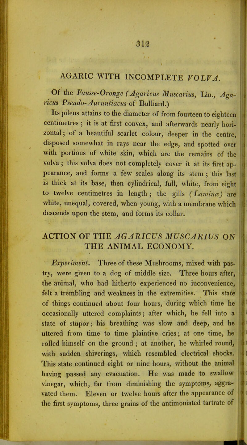 AGARIC WITH INCOMPLETE VOLVJ. Of the Fausse-Oronge (Agaricus Mmcarim, Lin., Aga- ricus Pseudo-Auruntiacus of Bulliard.) Its pileus attains to the diameter of from fourteen to eighteen centimetres ; it is at first convex, and afterwards nearly hori- zontal; of a beautiful scarlet colour, deeper in the centre, disposed somewhat in rays near the edge, and spotted over with portions of white skin, which are the remains of the volva ; this volva does not completely cover it at its first ap- pearance, and forms a few scales along its stem ; this last is thick at its base, then cylindrical, full, white, from eight to twelve centimetres in length; the gills (Lamincc) are white, unequal, covered, when young, with a membrane which descends upon the stem, and forms its collar. ACTION OF THE AGARICUS MUSCARIUS ON THE ANIMAL ECONOMY. Experiment. Three of these Mushrooms, mixed with pas- try, were given to a dog of middle size. Three hours after, the animal, who had hitherto experienced no inconvenience, felt a trembling and weakness in the extremities. This state of things continued about four hours, during which time he occasionally uttered complaints; after which, he fell into a state of stupor; his breathing was slow and deep, and he uttered from time to time plaintive cries; at one time, he rolled himself on the ground ; at another, he whirled round, with sudden shiverings, which resembled electrical shocks. This state continued eight or nine hours, without the animal having passed any evacuation. He was made to swallow vinegar, which, far from diminishing the symptoms, aggra- vated them. Eleven or twelve hours after the appearance of the first symptoms, three grains of the antimoniated tartrate of
