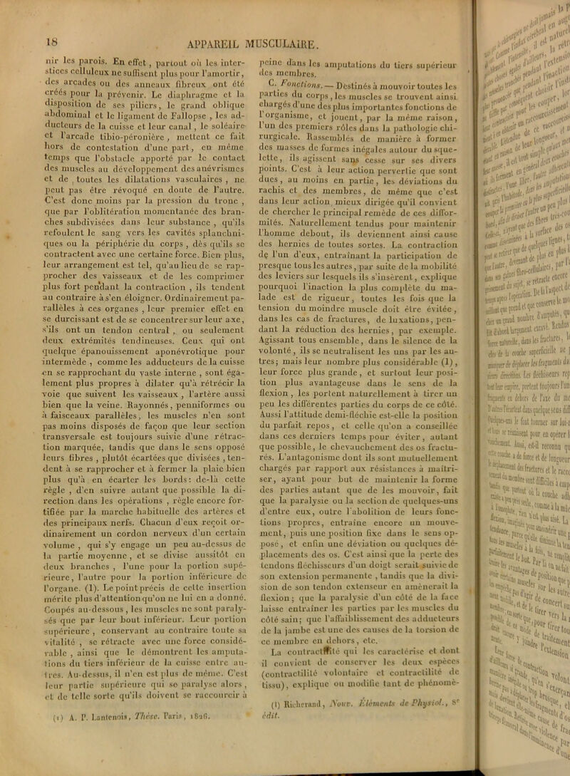 nir les parois. En effet, partout où les inter- stices celluleux 11c suffisent plus pour l’amortir, tics arcades ou des anneaux fibreux ont été créés pour la prévenir. Le diaphragme et la disposition de ses piliers, le grand oblique abdominal et le ligament de Fallopse , les ad- ducteurs de la cuisse et leur canal, le soléaire et l’arcade tibio-péronière , mettent ce fait hors de contestation d’une part , en même temps que l’obstacle apporté par le contact des muscles au développement des anévrismes et de j toutes les dilatations vasculaires , ne peut pas être révoqué en doute de l’autre. C’est donc moins par la pression du tronc , que par l’oblitération momentanée des bran- ches subdivisées dans leur substance , qu’ils refoulent le sang vers les cavités splanchni- ques ou la périphérie du corps , dès qu’ils se contractent avec une certaine force. Bien plus, leur arrangement est tel, qu’au lieu de se rap- procher des vaisseaux et de les comprimer plus fort pendant la contraction , ils tendent au contraire à s’en éloigner. Ordinairement pa- rallèles à ces organes , leur premier effet en se durcissant est de se concentrer sur leur axe, s’ils ont un tendon central , ou seulement deux extrémités tendineuses. Ceux qui ont quelque épanouissement aponévrotique pour intermède , comme les adducteurs de la cuisse en se rapprochant du vaste interne , sont éga- lement plus propres à dilater qu’à rétrécir la voie que suivent les vaisseaux , l’artère aussi bien que la veine. Rayonnés, penniformes ou à faisceaux parallèles, les muscles n’en sont pas moins disposés de façon que leur section transversale est toujours suivie d’une rétrac- tion marquée, tandis que dans le sens opposé leurs fibres , plutôt écarlées que divisées Ren- dent à se rapprocher et à fermer la plaie bien plus qu’à en écarter les bords: dc-là cette règle , d’en suivre autant que possible la di- rection dans les opérations , règle encore for- tifiée par la marche habituelle des artères et des principaux nerfs. Chacun d’eux reçoit or- dinairement un cordon nerveux d’un certain volume , qui s’y engage un peu au-dessus de la partie moyenne , et se divise aussitôt en deux branches , l’une pour la portion supié- rieurc, l’autre pour la portion inférieure de l’organe. (1). Le point précis de celte insertion mérite plus d’attention qu’on ne lui en a donné. Coupés au-dessous , les muscles ne sont paraly- sés que par leur bout inférieur. Leur portion supérieure , conservant au contraire toute sa vitalité , se rétracte avec une force considé- rable , ainsi que le démontrent les amputa- tions du tiers inférieur de la cuisse entre au- tres. Au-dessus, il n’en est plus de même. C’est leur partie supérieure qui se paralyse alors , et de telle sorte qu’ils doivent se raccourcir à (i) A. P. Lantenois, Thèse. Paris, i8afi. peine dans les amputations du tiers supérieur des membres. C. Fonctions. — Destinés à mouvoir toutes les parties du corps, les muscles se trouvent ainsi chargés d une des plus importantes fonctions de 1 organisme, et jouent, par la même l’aison, 1 un des premiers rôles dans la pathologie chi- rurgicale. Rassemblés de manière à former des masses de formes inégales autour du sque- lette, ils agissent sans cesse sur ses divers points. C est à leur action pervertie que sont dues , au moins en partie , les déviations du rachis et des membres, de même que c’est dans leur action, mieux dirigée qu’il convient de chercher le principal remède de ces diffor- mités. Naturellement tendus pour maintenir l’homme debout, ils deviennent ainsi cause des hernies de toutes sortes. La contraction de l’un d’eux, entraînant la participation de presque tous les autres, par suite de la mobilité des leviers sur lesquels ils s’insèrent, explique pourquoi l’inaction la plus complète du ma- lade est de rigueur, toutes les fois que la tension du moindre muscle doit être évitée , dans les cas de fractures, de luxations, pen- dant la réduction des hernies, par exemple. Agissant tous ensemble, dans le silence de la volonté, ils se neutralisent les uns par les au- tres; mais leur nombre plus considérable (Ij, leur force plus grande, et surtout leur posi- tion plus avantageuse dans le sens de la flexion , les portent naturellement à tirer un peu les différentes parties du corps de ce côté. Aussi l’attitude dcmi-fléchie est-elle la position du parfait repos , et celle qu’on a conseillée dans ces derniers temps pour éviter, autant que possible, le chevauchement des os fractu- rés. L’antagonisme dont ils sont mutuellement chargés par rapport aux résistances à maîtri- ser, ayant pour but de maintenir la forme des parties autant que de les mouvoir, fait que la paralysie ou la section de quelques-uns d’entre eux, outre l'abolition de leurs fonc- tions propres, entraîne encore un mouve- ment, puis une position fixe dans le sens op- posé , et enfin une déviation ou quelques dé- placements des os. C’est ainsi que la perte des tendons fléchisseurs d’un doigt serait suiv ie de son extension permanente , tandis que la di\ i- siou de sou tendon extenseur eu amènerait la flexion; que la paralysie d’un côté de la face laisse entraîner les parties par les muscles du côté sain; que l'affaiblissement des adducteurs de la jambe est une des causes de la torsion de ce membre en dehors, etc. La contraetmté qui les caractérise et dont il convient de conserver les deux espèces (contractilité volontaire et contractilité de tissu), explique ou modifie tant de phénomè- (1) Rieherand, Août, aliments de PhysioL, 8e èdit. .fl»1 rt‘ $i° u a ff * i cU0l''f |of mf. ,1)1“ rfiiSC’1 Àjgfabfà 11 i ç \\«0 ) ■ l’arû.cfllul»irfi'Pjr ! rétracte encore ss« li %ttt naturelle, dans les nraWs de; de la coBche soperfioielle ne I bictîtile déplacer Jesfcçoflil* dm ct> Ærectiofls. Les ûécliisseors rep tnt leur empire, porlcnl toujours I un faits en dehors de l'ase du me 1' ièk lttirial dans quelque sens dif! (WqwHns le y tourner sur lui-n 11 réunissent pour en opérer 1 nnehewnt Inssi, est-il reconnu qn «tocooAe a de force et de longueur k dédira] des fracture, et le JCCe membre sont difficiles i '* * l'couche aï seule. V3 kij( Mif< nac la int une p n . .^lek'Y'1^1 - i'.Wji’ - lSa ^,tl^leiLncertiui ’^eqne er Tets la j !loindre ai,Cl»ent s'°« V.i» “ce d- IIUj