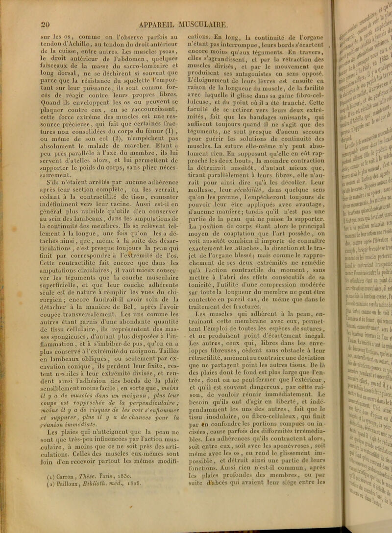 sur Jcs os, comme on l’observe parfois au tendon d’Achille, au tendon du droit antérieur de la cuisse, entre autres. Les muscles psoas, le droit antérieur de l’abdomen, quelques iaisceaux de la masse du sacro-lombaire et long dorsal, ne se déchirent si souvent que parce que la résistance du squelette l’empor- tant sur leur puissance, ils sont comme for- cés de réagir contre leurs propres libres. Quand ils enveloppent les os ou peuvent se plaquer contre eux, en se raccourcissant, cette force extrême des muscles est une res- source précieuse, qui fait que certaines frac- tures non consolidées du corps du fémur (1) , ou même de son col (2), n’empêchent pas absolument le malade de marcher. Etant à peu près parallèle à l’axe du membre, ils lui servent d’alelles alors, et lui permettent de supporter le poids ducox-ps, sans plier néces- sairement. S’ils n’étaient arrêtés par aucune adhérence après leur section complète, on les vendait, cédant à la contractilité de tissu, remonter indéfiniment vei’s leur racine. Aussi est-il en général plus nuisible qu’utile d’en conserver au sein des lambeaux, dans les amputations de la continuité des membres. Ils se relèvent tel- lement à la longue , une fois qu’on les a dé- tachés ainsi , que , même à la suite des désar- ticulations , c’est presque toujours la peau qui finit par correspondre à l'extrémité de l’os. Cette contractilité fait encore que dans les amputations circulaires , il vaut mieux conser- ver les téguments que la couche musculaii’e superficielle, et que leur couche adhérente seule est de nature à remplir les vues du chi- rurgien; encore faudrait-il avoir soin de la détacher à la manière de Bel, après l’avoir coupée transversalement. Les uns comme les autres étant garnis d’une abondante quantité de tissu cellulaire, ils représentent des mas- ses spongieuses, d’autant plus disposées à l’in- flammation, et à s’imbiber-de pus, qu’on en a plus conservé à l’extrémité du moignon. Taillés en lambeaux obliques , ou seulement par ex- cavation conique , ils perdent leur fixité, res- tent mobiles à leur extrémité divisée, et ren- dent ainsi l’adhésion des bords de la plaie sensiblement moins facile ; en sorte que, moins il y a de muscles dans un moignon, plus leur coupe est rapprochée de la perpendiculaire ; moins il y a de risques de les voir s’enflammer ,ct suppurer, plus il y a de chances pour la réunion immédiate. Les plaies qui n’atteignent que la j>eau ne sont que très-peu influencées par l’action mus- culaire , à moins que ce ne soit près des arti- culations. Celles des muscles eux-mêmes sont loin d’en recevoir partout les mêmes modifi- (x)Carron, Th'ese. Paris, i83o. fi) Pailloux, Biblioth. mcd., i8aS. cations. En long, la continuité de l’organe n’étant pas interrompue, leurs bords s’écartent encore moins qu’aux téguments. En travers, elles s’agrandissent, et par la rétraction des muscles divisés, et par le mouvement que produisent ses antagonistes en sens opposé. L’éloignement de leurs lèvres est ensuite en raison de la longueur du muscle, de la facilité avec laquelle il glisse dans sa gaine fibro-cel- luleuse, et du point où il a été tranché. Cette faculté de se retirer vers leurs deux extré- mités, fait que les bandages unissants, qui suffisent toujoui's quand il ne s’agit que des téguments, ne sont presque d’aucun secours pour guérir les solutions de continuité des muscles. La suture elle-même n’y peut abso- lument rien. En supposant qu’elle en eût rap- proché les deux bouts, la moindre contraction la détruirait aussitôt, d’autant mieux que, tirant parallèlement à leurs fibres, elle n’au- rait pour aiusi dire qu’à les décoller. Leur mollesse, leur sécahililé, dans quelque sens qu’on les prenne, l'empêcheront toujours de pouvoir leur être appliqués avec avantage, d’aucune manière ; tandis qu’il n’est pas une partie de la peau qui ne puisse la supporter. La position du corps étant alors le pi-incipal moyen de coaptation que l’art possède , on voit aussitôt combien il importe de connaître exactement les allaches , la direction et le tra- jet de l’organe blessé; mais comme le rappro- chement de ses deux extrémités ne remédie qu’à l’action contractile du moment , sans mettre à l’abri des effets consécutifs de sa tonicité, l’utilité d’une compression modérée sur toute la longueur du membre ne peut être contestée en pareil cas, de même que dans le traitement des fractures. Les muscles qui adhèrent à la peau, en- traînant cette membrane avec eux, permet- tent l’emploi de toutes les espèces de sutures , et ne produisent point d’écartement inégal. Les autres, ceux qui, libres dans les enve- loppes fibreuses, cèdent sans obstacle à leur rétractilité, amènent au conti'aire une déviation que îxc partagent poiixt les autres tissus. De là des plaies dont le fond est plus large que l’en- trée , dont on ne peut fermer que l’extérieur , et qu’il est souvent dangereux, par cette rai- son, de vouloir réunir immédiatement. Le besoin qu’ils ont d’agir en liberté, et indé- pendamment les uns des autres , fait que le tissu modulaire, ou fibro-cellulcux, qui finit par (n confondre les portions rompues ou in ■ cisées , cause parfois des difformités irrémédia- bles. Les adhérences qu’ils contractent alors, soit entre eux, soit avec les aponévroses , soit même avec les os, eu rend le glissement im- possible, et. délruit ainsi une partie de leurs fonctions. Aussi rien n’est-il commun, après les plaies profondes des membres, ou par suite d’abcès qui avaient leur siège entre les ,'oi VVi e<d» liff11 tf’i llto yi' ntt® S»îl sur M1 <ll < U çroi- , »5cbl *•**!»< Mtdoleirartionuneresblo d,e, fouine après l'élerahon ( ^^oimflecoBJesetrot EEtsIoiite ïniBcles pfflorau. bial st «ntneteot Lruçquenie aatr Uramênis contre la poitrin ts afiedms étant un point d'; mrîtadwiiralaires, il esl çimefiûs h kution opérée, l’e îk »it «ntrainée ters la racine de i«i forts; comme ou le mit ; liuxenis elda fémur. , -iiuirtmon f“*1 ««Araat vers le ï^l’uue, «SS b. r ‘“'t- CW . Utlj lytco, Ma ou d pour '■ n ï Nu>*rt H,rt;/,Ccluir **>> ï>, «Ué J, «uitf’H