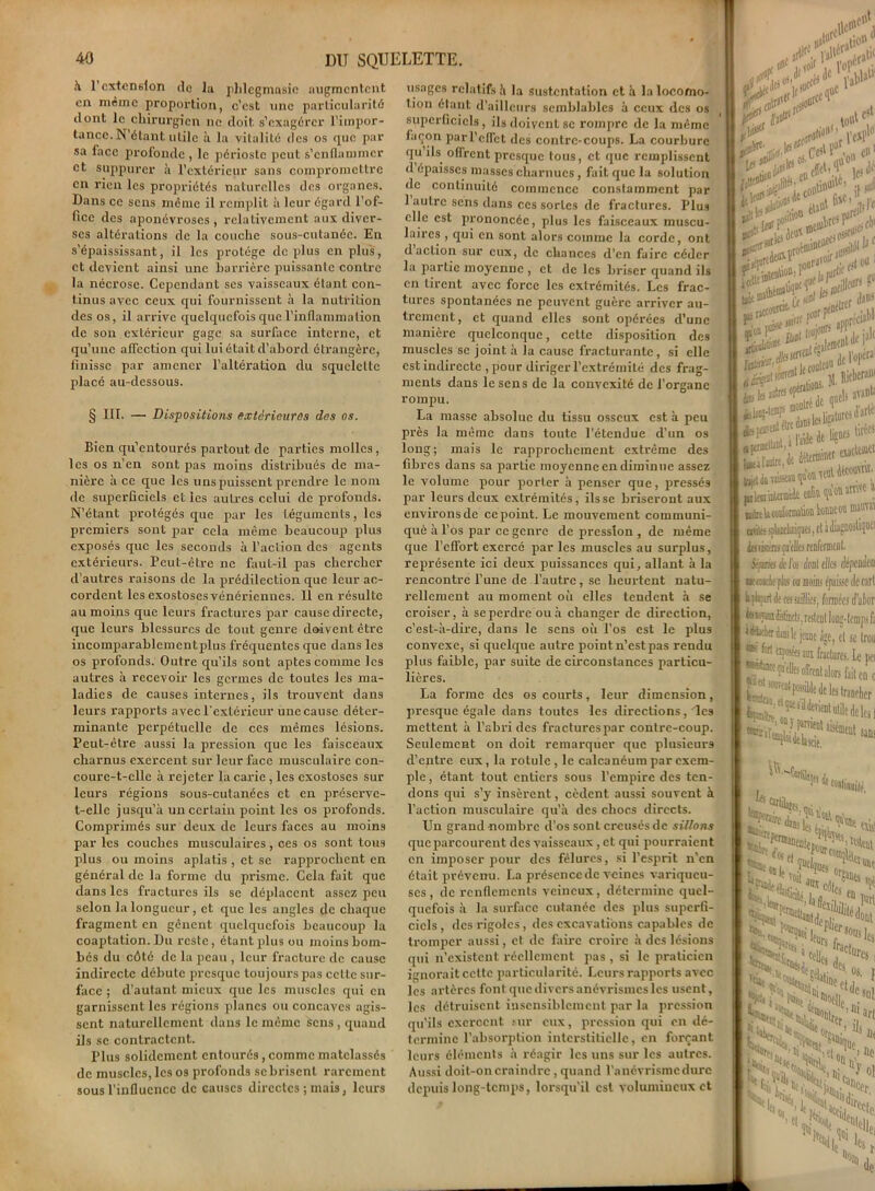 à l’extension de la phlegmasic augmentent en même proportion, c’est une particularité dont le chirurgien ne doit s’exagérer l’impor- tance. N’étant utile à la vitalité des os que par sa face profonde , le périoste peut s’enflammer et suppurer à l’extérieur sans compromettre en rien les propriétés naturelles des organes. Dans ce sens même il remplit à leur égard l’of- fice des aponévroses, relativement aux diver- ses altérations de la couche sous-cutanée. En s’épaississant, il les protège déplus en plus, et devient ainsi une barrière puissante contre la nécrose. Cependant ses vaisseaux étant con- tinus avec ceux qui fournissent à la nutrition des os, il arrive quelquefois que l’inflammation de son extérieur gage sa surface interne, et qu’une affection qui lui était d’abord étrangère, finisse par amener l’altération du squelette placé au-dessous. § III. —• Dispositions extérieures des os. Bien qu’entourés partout de parties molles, les os n’en sont pas moins distribués de ma- nière à ce que les uns puissent prendre le nom de superficiels et les autres celui de profonds. N’étant protégés que par les téguments, les premiers sont piar cela même beaucoup plus exposés que les seconds à l’action des agents extérieurs. Peut-être ne faut-il pas chercher d’autres raisons de la prédilection que leur ac- cordent les exostoses vénériennes. 11 en résulte au moins que leurs fractures par cause directe, que leurs blessures de tout genre doivent être incomparablemcntplus fréquentes que dans les os profonds. Outre qu’ils sont aptes comme les autres à recevoir les germes de toutes les ma- ladies de causes internes, ils trouvent dans leurs l'apports avec l'extérieur une cause déter- minante perpétuelle de ces mêmes lésions. Peut-être aussi la pression que les faisceaux charnus exercent sur leur face musculaire con- courc-t-cllc à rejeter la carie , les exostoses sur leurs régions sous-cutanées et en préserve- t-elle jusqu’à un certain point les os profonds. Comprimés sur deux de leurs faces au moins par les couches musculaires , ces os sont tous plus ou moins aplatis , et se rapprochent en général de la forme du prisme. Cela fait que dans les fractures ils se déplacent assez peu selon la longueur, et que les angles de chaque fragment en gênent quelquefois beaucoup la coaptation. Du reste, étant plus ou moins bom- bés du côté de la peau , leur fracture de cause indirecte débute presque toujours pas cette sur- face ; d’autant mieux que les muscles qui en garnissent les régions planes ou concaves agis- sent naturellement dans le même sens, quand ils se contractent. Plus solidement entourés, comme matelassés de muscles, les os profonds se brisent rarement sous l’influence de causes directes ; mais, leurs usages relatifs à la sustentation et à la locomo- tion étant d'ailleurs semblables à ceux des os superficiels, ils doivent se rompre de la même façon paiTcffct des contre-coups. La courbure qu ils. offrent presque tous, et que remplissent d épaisses masses charnues, fait que la solution de continuité commence constamment par 1 autre sens dans ces sortes de fractures. Plus elle est prononcée, plus les faisceaux muscu- laires , qui en sont alors comme la corde, ont d action sur eux, de chances d'en faire céder la partie moyenne , et de les briser quand ils en tirent avec force les extrémités. Les frac- tures spontanées ne peuvent guère arriver au- trement, et quand elles sont opérées d’une manière quelconque, celte disposition des muscles se joint à la cause fracturante, si elle est indirecte , pour diriger l’extrémité des frag- ments dans le sens de la convexité de l’organe rompu. La masse absolue du tissu osseux est à peu près la même dans toute l'étendue d’un os long ; mais le rapprochement extrême des fibres dans sa partie moyenne en diminue assez le volume pour porter à penser que, pressés par leurs deux extrémités, ils se briseront aux environs de ce point. Le mouvement communi- qué à l’os par ce genre de pression , de même que l’effort exercé par les muscles au surplus, représente ici deux puissances qui, allant à la rencontre l’une de l’autre, se heurtent natu- rellement au moment où elles tendent à se croiser, à se perdre ou à changer de direction, c’est-à-dire, dans le sens où l’os est le plus convexe, si quelque autre point n’est pas rendu plus faible, par suite de circonstances particu- lières. La forme des os courts, leur dimension, presque égale dans toutes les directions, les mettent à l’abri des fracturespar contre-coup. Seulement on doit remarquer que plusieurs d’entre eux, la rotule, le calcanéum par exem- ple , étant tout entiers sous l’empire des ten- dons qui s’y insèrent, cèdent aussi souvent à l’action musculaire qu’à des chocs directs. Un grand nombre d’os sont creusés de sillons que parcourent des vaisseaux , et qui pourraient en imposer pour des fêlures, si l’esprit n’en était prévenu. La pxéscncede veines variqueu- ses, de renflements veineux, détermine quel- quefois à la surface cutanée des plus superfi- ciels , des rigoles, des excavations capables de tromper aussi, et de faire croire à des lésions qui n’existent réellement pas , si le praticien ignorait celte particularité. Leurs rapports avec les artères font, que divers anévrismes les usent, les détruisent insensiblement par la pression qu’ils exercent sur eux, pression qui en dé- termine l’absorption interstitielle, en forçant leurs éléments à réagir les uns sur les autres. Aussi doit-on craindre, quand l’anévrisme dure depuis long-temps, lorsqu’il est volumineux et a t mille itt£Oü0' j c»cte ;lé, i«sd iu“!l e' étaut «**». gsg; : CC«®Clt,U ,/inr pfDetr . ■ U, £&?***! ',ctKS °perîré°dc qoeH avanh ÏÏ»i.Vf:; l#,(i an»»'1 |ttvais5t4uquotivcuUecoü\n; a'ite splandmiques, et à diagnostiqu'-1 faikàf» qa’tUes renferment. Séfum à l’a dont elles dépentlen o: ««te pte eo mim épaisse de car! lu but de ces saillies, formées d'abor jsMaidistkls, restent long-temps fa iê-heber dimle jeune âge, et se trou ®! fit exposées am fractures. Lepei •*rfaee qn'elles oîrent alors fait en 0 de les trancher PwOl. H ftna î”I J—* Wn3 ‘Itrajiloi' de lascie. I Nuit aisément sans