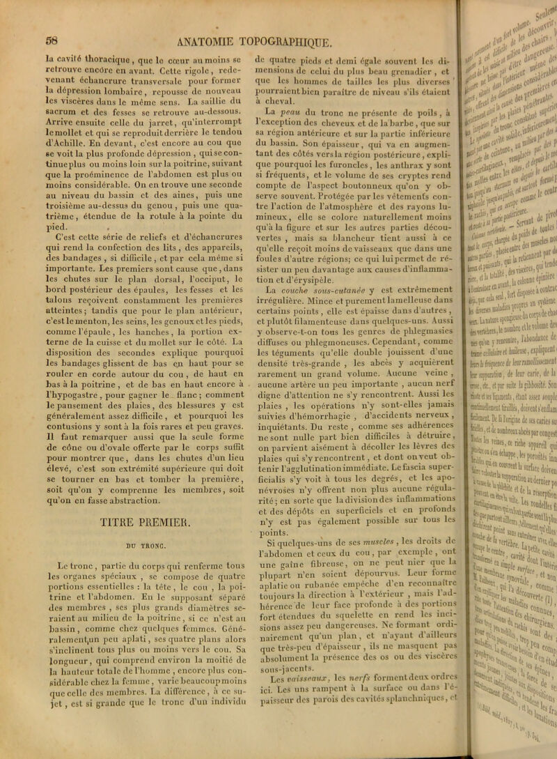 la cavité thoracique, que le cœur au moins 6e retrouve cncôrc en avant. Celte rigole , rede- venant échancrure transversale pour former la dépression lombaire , repousse de nouveau les viscères dans le même sens. La saillie du sacrum et des fesses se retrouve au-dessous. Arrive ensuite celle du jarret, qu’interrompt le mollet et qui se reproduit derrière le tendon d’Achille. En devant, c’est encore au cou que se voit la plus profonde dépression , quisecon- tinueplus ou moins loin sur la poitrine, suivant que la proéminence de l’abdomen est plus ou moins considérable. On en trouve une seconde au niveau du bassin et des aines, puis une troisième au-dessus du genou , puis une qua- trième , étendue de la rotule à la pointe du pied. . C’est cette série de reliefs et d’échancrures qui rend la confection des lits, des appareils, des bandages , si difficile , et par cela même si importante. Les premiers sont cause que, dans les chutes sur le plan dorsal, l’occiput, le bord postérieur des épaules, les fesses et les talons reçoivent constamment les premières atteintes; tandis que pour le plan antérieur, c’est le menton, les seins, les genoux etles pieds, comme l’épaule , les hanches , la portion ex- terne de la cuisse et du mollet sur le côté. La disposition des secondes explique pourquoi les bandages glissent de bas e.n haut pour se rouler en corde autour du cou , de haut en bas à la poitrine , et de bas en haut encore à l’hypogastre , pour gagner le flanc ; comment le pansement des plaies, des blessures y est généralement assez difficile , et pourquoi les contusions y sont à la fois rares et peu graves. 11 faut remarquer aussi que la seule forme de cône ou d’ovale offerte par le corps suffit pour montrer que, dans les chutes d’un lieu élevé, c’est son extrémité supérieure qui doit se tourner en bas et tomber la première, soit qu’on y comprenne les membres, soit qu’on en fasse abstraction. TITRE PREMIER. DU TRONC. Le tronc , partie du corps qui renferme tous les organes spéciaux , se compose de quatre portions essentielles : la tête, le cou , la poi- trine et l’abdomen. En le supposant séparé des membres , scs plus grands diamètres se- raient au milieu de la poitrine, si ce n’est au bassin, comme chez quelques femmes. Géné- ralemcntjUn peu aplati, ses quatre plans alors s’inclinent tous plus ou moins vers le cou. Sa longueur, qui comprend environ la moitié de la hauteur totale de l'homme , encore plus con- sidérable chez la femme, varie beaucoup moins que celle des membres. La différence, à ce su- jet , est si grande que le tronc d’un individu Se»1 de quatre pieds et demi égale souvent les di- mensions de celui du plus beau grenadier , et que les hommes de tailles les plus diverses ' pourraient bien paraître de niveau s’ils étaient à cheval. La peau du tronc ne présente de poils, à l’exception des cheveux et de la barbe, que sur sa région antérieure et sur la partie inférieure du bassin. Son épaisseur, qui va en augmen- tant des côtés vers la région postérieure, expli- que pourquoi les furoncles, les anthrax y sont si fréquents, et le volume de ses cryptes rend compte de l’aspect boutonneux qu’on y ob- serve souvent. Protégée par les vêtements con- tre l’action de l’atmosphère et des rayons lu- mineux, elle se colore naturellement moins qu’à la figure et sur les autres parties décou- vertes , mais sa blancheur tient aussi à ce qu’elle reçoit moins de vaisseaux que dans une foules d’autre régions; ce qui lui permet de ré- sister un peu davantage aux causes d’inflamma- tion et d’érysipèle. La couche sous-cutanée y est extrêmement irrégulière. Mince et purement lamelleuse dans certains points , elle est épaisse dans d’autres , et plutôt filamenteuse dans quelques-uns. Aussi y observe-t-on tous les genres de phlegmasies diffuses ou phlegmoncuses. Cependant, comme les téguments qu’elle double jouissent d’une densité très-grande , les abcès y acquièrent rarement un grand volume. Aucune veine , aucune artère uu peu importante , aucun nerf digne d’attention ne s’y rencontrent. Aussi les plaies , les opérations n’y sont-elles jamais suivies d’hémorrhagie , d’accidents nerveux, inquiétants. Du reste , comme ses adhérences ne sont nulle part bien difficiles à détruire, on parvient aisément à décoller les lèvres des plaies qui s’y rencontrent, et dont on veut ob- tenir l’agglutination immédiate. Lcfascia super- ficialis s’y voit à tous les degrés, et les apo- névroses n’y offrent non plus aucune régula- rité; en sorte que la division des inflammations et des dépôts en superficiels et en profonds n’y est pas également possible sur tous les points. Si quelques-uns de scs muscles , les droits de l’abdomen et ceux du cou , par exemple , ont une gaine fibreuse, on ne peut nier que la plupart n’en soient dépourvus. Leur forme aplatie ou rubanée empêche d’en reconnaître toujours la direction à l’extérieur , mais l’ad- hérence de leur face profonde à des portions fort étendues du squelette en rend les inci- sions assez peu dangereuses. Ne formant ordi- nairement qu'un plan, et n’ayant d’ailleurs que très-peu d’épaisseur , ils ne masquent pas absolument la présence des os ou des viscères sous-jacents. Les vaisseaux, les nerfs forment deux ordres ici. Les uns rampent à la surface ou dans l’é- paisseur des parois des cavités splanchniques, et itVîi**5**'. t', £=> “ „iH» ...... J tr. «iitfc reDt' jjtâi1 fÜ' 0 : ‘.lirait \f nC  jiD* .0JlSl'»v ,r, Loft p ,. lit'1' .io»s c° ;;.f05cr £ I SK-Slrï ’<>; l> pa®r L C0#el W**. ' J fl OCW. l tetssï te«îUbt«,le nombic etlcvolumc des | d£ m'on j rencontre, labondsccc ( e trm Mât tl hnilensc, e’111 1 Ln*e Ji (rxmfnrp flp IptimiIlO | Inr suppuration, de leur carie, de la <ree.de., et par suite la gibbosité. Son liste d Ri feimenti, étant assez souple ttnMkient tiraillés, doivent s'enflant feint De li l'origine de ses caries su «Ils, et de nombreux abcès par coneest ton l’a dét., ics «H .T, S* .Con»ncj ’ lÈSVont des u «Mi h , SoN Nr HL c s '•Kfrf. •os. 'lai;