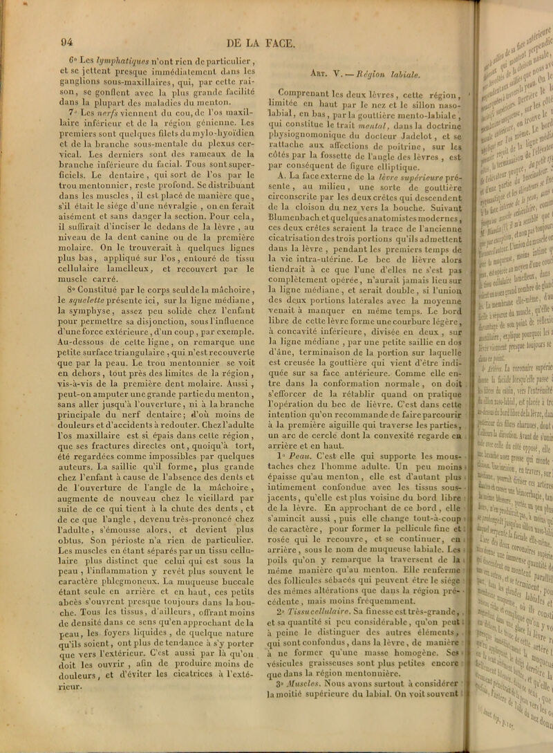 6° Les lymphatiques n’ont rien tle particulier , et se jettent presque immédiatement dans les ganglions sous-maxillaires, qui, par cette rai- son, se gonflent avec la plus grande facilité dans la plupart des maladies du menton. 7J Les nerfs viennent du cou, de l’os maxil- laire inférieur et de la région génicnne. Les premiers sont quelques filets du mylo-hyoïdicn et de la branche sous-mentale du plexus cer- vical. Les derniers sont des rameaux de la brauclie inférieure du facial. Tous sont super- ficiels. Le dentaire , qui sort de l’os par le trou mentounicr, reste profond. Se distribuant dans les muscles , il est placé de manière que , s’il était le siège d’une névralgie , on en ferait aisément et sans danger la section. Pour cela, il suffirait d’inciser le dedans de la lèvre , au niveau de la dent canine ou de la première molaire. On le trouverait à quelques lignes plus bas, appliqué sur l’os, entouré de tissu cellulaire lamelleux, et recouvert par le muscle carré. 8° Constitué par le corps seul de la mâchoire, le squelette présente ici, sur la ligne médiane, la symphyse, assez peu solide chez l’enfant pour permettre sa disjonction, sous l’influence d’une force extérieure , d’un coup , par exemple. Au-dessous de cette ligne , on remarque une petite surface triangulaire , qui n’est recouverte que par la peau. Le trou mentounier se voit en dehors , tout près des limites de la région, vis-à-vis de la première dent molaire. Aussi , peut-on amputer une grande partie du menton, sans aller jusqu’à l’ouverture, ni à la branche principale du nerf dentaire; d’où moins de douleurs et d’accidents à redouter. Chez l’adulte l’os maxillaire est si épais dans celte région, que ses fractures directes ont, quoiqu’à tort, été regardées comme impossibles par quelques auteurs. La saillie qu’il forme, plus grande chez l’enfant à cause de l’absence des dents et de l'ouverture de l’angle de la mâchoire , augmente de nouveau chez le vieillard par suite de ce qui tient à la chute des dents , et de ce que l’angle , devenu très-prononcé chez l’adulte, s’émousse alors, et devient plus obtus, Son périoste n’a rien de particulier. Les muscles en étant séparés par un tissu cellu- laire plus distinct que celui qui est sous la peau , l’inflammation y revêt plus souvent le caractère phlcgmoncux. La muqueuse buccale étant seule en arrière et en haut, ces petits abcès s’ouvrent presque toujours dans la bou- che. Tous les tissus, d’ailleurs, offrant moins de densité dans ce sens qu’en approchant delà peau, les foyers liquides, de quelque nature qu’ils soient , ont plus de tendance à s’y porter que vers l’extérieur. C’est aussi par là qu’on doit les ouvrir , afin de produire moins de douleurs, et d’éviter les cicatrices à l’exté- rieur. Airr. V.—Rctjion labiale. Comprenant les deux lèvres , cette région , limitée en haut par le nez et le sillon naso- labial, en bas, parla gouttière mento-labiale , qui constitue le trait mental, dans la doctrine physiognomonique du docteur Jadclot, et se rattache aux aflections de poitrine, sur les célés par la fossette de l’augle des lèvres , est par conséquent de figure elliptique. A. La lace externe de la lèvre supérieure pré- sente , au milieu, une sorte de gouttière circonscrite par les deux crêtes qui descendent de la cloison du nez vers la bouche. Suivant Blumenbach et quelques anatomistes modernes, ces deux crêtes seraient la trace de l’ancienne cicatrisation des trois portions qu’ils admettent dans la lèvre , pendant les premiers temps de la vie intra-utérine. Le bec de lièvre alors tiendrait à ce que l’une d’elles ne s’est pas complètement opérée, n’aurait jamais lieu sur la ligne médiane, et serait double, si l’union des deux portions latérales avec la moyenne venait à manquer en même temps. Le bord libre de cette lèvre forme une courbure légère, à concavité inférieure, divisée en deux, sur la ligne médiane , par une petite saillie en dos d’âne, terminaison de la portion sur laquelle est creusée la gouttière qui vient d’être indi- quée sur sa face antérieure. Comme elle en- tre dans la conformation normale , on doit s’efforcer de la rétablir quand on pratique l’opération du bec de lièvre. C’est dans cette intention qu’on recommande de faire parcourir à la première aiguille qui traverse les parties, un arc de cercle dont la convexité regarde en arrière et en haut. 1» Peau. C’est elle qui supporte les mous- taches chez l’homme adulte. Un peu moins ■ épaisse qu’au menton, elle est d’autant plus ■ intimement confondue avec les tissus sous- jacents, qu’elle est plus voisine du bord libre de la lèvre. En approchant de ce bord, elle s’amincit aussi , puis elle change tout-à-coup de caractère, pour former la pellicule fine et rosée qui le recouvre, et se continuer, en arrière , sous le nom de muqueuse labiale. Les • poils qu’on y remarque la traversent de la même manière qu’au menton. Elle renferme des follicules sébacés qui peuvent être le siège des mêmes altérations que dans la région pré- cédente , mais moins fréquemment. 2° Tissu cellulaire. Sa finesse est très-grande, . I et sa quantité si peu considérable , qu’on peut à peine le distinguer des autres éléments, I qui sont confondus, dans la lèvre, de manière à ne former qu’une masse homogène. Ses vésicules graisseuses sont plus petites encore que dans la région mentonnière. 3° Muscles. Nous avons surtout à considérer la moitié supérieure du labial. On voitsouvent , » perf i. Lnasale» surleSf; «k h jyend'ü® c ...fclopsteanœ0:,, • lamelle® r^tnn^icrandnombrede, k La mtmkine tUt-rol®' 6cÜê à çépîici dü i tuütee de ion | aadliire, explique J . Mrient presque ioujour iiui et point. i> Ma. La coronaire ni] te b btiile lorsqu'elle pa kfa du canin, vers l'extrd ùdhBiKhlalial, est placée fdesœ du lord libre delà 1 erre ffcisieiir des dires cbarnues, { ùlursb direction. Avant de J celle dû côlé oppose asus grosse qui ra’c ■^iKimsion, eDtraVers césar hr- fers, 5e mh “CNT'1 te ^ ^ ,i n l’i h'11