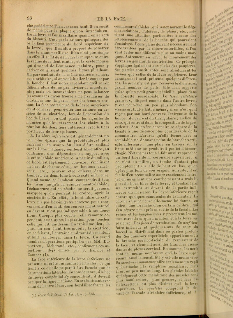 clie postérieure (l’arriver assez haut. Il en serait de même pour la plaque qu’on introduit en- tre la lèvre et l’os maxillaire quand on se sert du bistouri. C’est par la rainure qui sépare des os la face postérieure du bord supérieur de la lèvre , que Desault a proposé de pénétrer dans le sinus maxillaire. Rien n’est plus simple eu clfct. 11 suHit de détacher la muqueuse entre la racine de la dent canine , et la crête mousse qui descend de l’éminence malaire, pour y arriver en glissant quelques lignes plus haut. On parviendrait de la même manière au nerf sous-orbitaire, si on voulait aller le couper par la bouche. Il faut noter cependant qu’il serait difficile alors de ne pas diviser le muscle ca- nin; mais cet inconvénient ne peut balancer les avantages qu’on trouve à ne pas laisser de cicatrices sur la peau, chez les femmes sur- tout, La face postérieure de la lèvre supérieure étant concave , pour éviter une rainure en ar- rière de sa cicatrice , lors de l’opération du bec de lièvre , on doit passer les aiguilles de manière qu’elles traversent les chairs à la réunion des deux tiers antérieurs avec le tiers postérieur de leur épaisseur. B. La lèvre inférieure est généralement un peu plus épaisse que la précédente, et plus renversée en avant. Au lieu d’être saillant sur la ligne médiane, son bord libre offre, au contraire, une dépression en rapport avec la crête labiale supérieure. A partir du milieu, ce bord est légèrement convexe , s’inclinant en bas, de chaque côté ; ses boutons cancé- reux, etc., peuvent être enlevés dans un lambeau en demi-lune à convexité inférieure. Quand même ce lambeau comprendrait tous les tissus jusqu’à la rainure mento-labiale, l’échancrure qui en résulte ne serait pas aussi marquée qu’on pourrait le croire, après la cicatrisation. En effet, le bord libre de cette lèvre n’a pas besoin d’être convexe pour rece- voir celle d’en haut. Son renversement naturel en devant n’est pas indispensable à ses fonc- tions. Quoique plus courte, elle remonte ce- pendant assez après l’opération pour toucher celle qui est au-dessus. En troisième lieu , la peau du cou étant très-mobile , la cicatrice, en se faisant, l’entraîne au-devant du menton, et finit par alonger ainsi la lèvre. Un grand nombre d’opéraLions pratiquées par MM. Du- pmytren, Richerand, etc., confirment ces as- sertions , déjà émises par J. Fabrice et Camper (1). La face antérieure de la 1 èvre inférieure ne présente ni crête , ni rainure verticales ; ce qui tient à ce qu’elle ne paraît être formée que de deux portions latérales. En conséquence, si le hcc de lièvre congénital s’y rencontrait, il devrait occuper la ligue médiane. Ense réunissant avec celui de l’autre lèvre, son bordlibrc forme les (i) Prix de VAcad- de Cli., t. 4, p. 585. commissures labiales , qui, assez souvent le siège d’excoriations, d'ulcères, de pdaies, etc., mé- ritent une attention particulière à cause des rétrécissements de la bouche qui pourraient s ensuivre. Leurs plaies doivent nécessairement être traitées par la suture entortillée, si l’on veut éviter une difformité pdus ou moins mar- quée. Autrement en effet , le mouvement des lèvres en générait la cicatrisation. Ce précepte s'applique également aux plaies des paupières. Ses parties constituantes sont absolument les mêmes que celles de la lèvre supérieure. Leur arrangement seul présente quelques différen- ces. La peau n’y est pas recouverte d’un aussi grand nombre de poils. Elle n’en supporte guère qu’un petit groupe pénicillé , placé dans la fossette sous-labiale. Le tissu cellulaire graisseux, disposé comme dans l’autre lèvre , y est peut-être un peu plus abondant. Son muscle est tout-à-fait le même , si ce n’est qu’il reçoit par son bord convexe l’extrémité de la houpe , du carré et du triangulaire , au lieu de ceux qui entrent dans la composition de la pré- cédente. Son artère coronaire se sépare de la faciale à une distance plus considérable de la commissure. L'arcade quelle forme avec sa semblable ne donnant point de branche verti- cale inférieure, une plaie en travers sur la ligne médiane ne produirait pas ici d’hémor- rhagie. N’étant pas tout-à-fait aussi rapprochée du bord libre de la coronaire supérieure , si ce n’est au milieu, on tombe d’autant plus promptement sur elle de haut en bas, qu’on opère plus loin de son origine. Au reste, il est facile d’en reconnaître assez exactement le tra- jet en imaginant une courbe passant à trois li- gnes du bord libre de la lèvre, et tombant par ses extrémités au-devant de la partie infé- rieure du masseter. La lèvre inférieure reçoit encore quelques ramuscules de la mentale. La coronaire supérieure elle-même lui donne , en outre , une branche d’un certain calibre , qui s’en sépare peu après sa sortie de la faciale. Les veines et les lymphatiques y présentent les mê- mes caractères qu’au menton et à la lèvre su- périeure. Les filets de terminaison du nerf den- taire inférieur et quelques-uns de ceux du buccal se distribuent dans ses parties profon- des. Ses rameaux superficiels appartiennent à la branche cervico-faciale du respirateur de la face , et viennent aussi des branches ascen- dantes du plexus cervical. En somme , les nerfs sont ici moins nombreux qu’à la lèvre supé- rieure. Aussi la sensibilité y est-elle moins vive- Sa membrane muqueuse offre également un repli qui s’attache à la symphyse maxillaire, mais il est un peu moins long. Les glandes labiales qui séparent cette membrane des muscles sont plus nombreuses, plus grosses, et leur ca- nalcxcrétcur est plus distinct qu’à la lèvre supérieure. Le squelette comprend le de- vant de l’arcade alvéolaire inférieure, cl 1 j(tli (H* l*v .«#■ |^inoUf i.ia 1 |ti«( r(fl <>'n ilg SO' ;*<Wf rc$1uC ^ i»il P • t est' 'i sÿÇss? * iaW, ipo^11 , j;jir Itmis. nid*1 CD  i? en conçoit Ken dàme seule, «a • Mtosor h feue n*nc cote. Leurvitalilé, etla g*-311 parties niées, M <1® jUiapreilen élreréparécs tédé df Iirbinoplasliçne. Eut hn deiglandulfs, età l’étal set thiatêllalairesouj-muqueux qi ■tletlilokqu’on observe au bo Ktùlaiieàet un grand non idoDt l’eidsion est le senl rem ta. YL-îpjii [ion ou cari