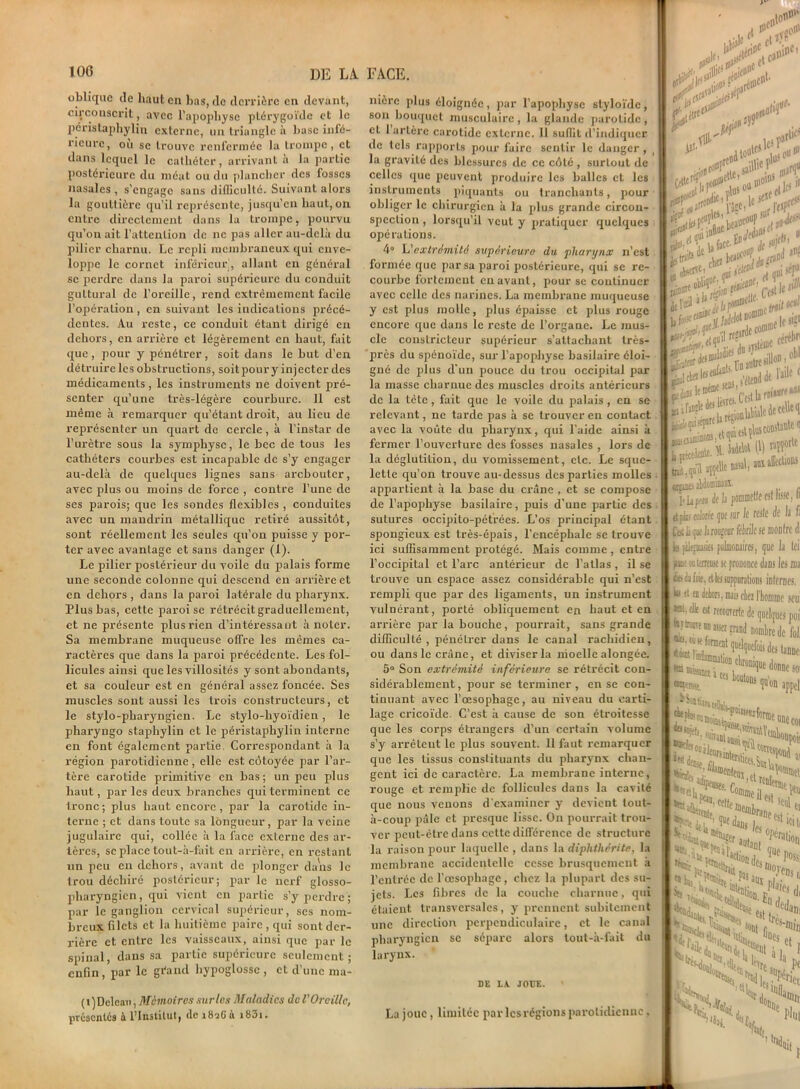 oblique tic haut en bas, do derrière en devant, circonscrit, avec l’apophyse ptérygoïde et le péristaphylin externe, un triangle à buse infé- rieure, ou se trouve renfermée la trompe, et dans lequel le cathéter, arrivant à la partie postérieure du méat ou du plancher des fosses nasales, s’engage sans difficulté. Suivant alors la gouttière qu’il représente, jusqu’en haut, on entre directement dans la trompe, pourvu qu’on ait l’attention de ne pas aller au-delà du pilier charnu. Le repli membraneux qui enve- loppe le cornet inférieur', allant en général se perdre dans la paroi supérieure du conduit guttural de l’oreille, rend extrêmement facile l’opération, en suivant les indications précé- dentes. Au reste, ce conduit étant dirigé en dehors, en arrière et légèrement en haut, fait que, pour y pénétrer, soit dans le but d’en détruire les obstructions, soit pour y injecter des médicaments, les instruments ne doivent pré- senter qu’une très-légère courbure. Il est même à remarquer qu’étant droit, au lieu de représenter un quart de cercle, à l’instar de l’urètre sous la symphyse, le bec de tous les cathéters courbes est incapable de s’y engager au-delà de quelques lignes sans arebouter, avec plus ou moins de force , contre l’une de ses parois; que les sondes flexibles , conduites avec un mandrin métallique retiré aussitôt, sont réellement les seules qu’on puisse y por- ter avec avantage et sans danger (1). Le pilier postérieur du vToile du palais forme une seconde colonne qui descend en arrière et en dehors , dans la paroi latérale du pharynx. Plus bas, cette jiaroise rétrécit graduellement, et ne présente plus rien d’intéressant à noter. Sa membrane muqueuse offre les mêmes ca- ractères que dans la paroi précédente. Les fol- licules ainsi que les villosités y sont abondants, et sa couleur est en général assez foncée. Ses muscles sont aussi les trois constructeurs, et le stylo-pharyngien. Le stylo-hyoïdien, le pharyngo staphylin et le péristaphylin interne en font également partie. Correspondant à la région parotidienne , elle est côtoyée par l’ar- tère carotide primitive en bas; un peu plus haut, par les deux branches qui terminent ce tronc; plus haut encore, par la carotide in- terne ; et dans toute sa longueur, par la veine jugulaire qui, collée à la face externe des ar- tères, se place tout-à-fait en arrière, en restant un peu en dehors, avant de plonger dans le trou déchiré postérieur; par le nerf glosso- pharyngien, qui vient en partie s’y perdre ; par le ganglion cervical supérieur, scs nom- breux filets et la huitième paire , qui sont der- rière et entre les vaisseaux, ainsi que par le spinal, dans sa partie supérieure seulement; enfin , par le gi'and hypoglosse , et d’une ma- ( 1 ) Doleau, Mémoires sur les Maladies do l'Oreille, présentés à l’Institut, de 182611 i83i. nière plus éloignée, par l’apophyse styloïde, son bouquet musculaire, la glande parotide, et 1 artère carotide externe. Il suffit d'indiquer de tels rapports pour faire sentir le danger, , la gravité des blessures de ce côté , surtout de celles que peuvent produire les balles et les instruments piquants ou tranchants, pour obliger le chirurgien à la plus grande circon- spection , lorsqu’il veut y pratiquer quelques opérations. 4“ L'extrémité supérieure du pharynx n’est formée que par sa paroi postérieure, qui se re- courbe fortement en avant, pour se continuer avec celle des narines. La membrane muqueuse y est plus molle, plus épaisse et plus rouge encore que dans le reste de l’organe. Le mus- cle constricteur supérieur s’attachant très- près du spénoïde, sur l’apophyse basilaire éloi- gné de plus d'un pouce du trou occipital par la masse charnue des muscles droits antérieurs de la tête, fait que le voile du palais , en se relevant, ne tarde pas à se trouver en contact avec la voûte du pharynx, qui l’aide ainsi à fermer l’ouverture des fosses nasales , lors de la déglutition, du vomissement, etc. Le sque- lette qu’on trouve au-dessus des parties molles appartient à la base du crâne , et se compose de l’apophyse basilaire, puis d’une partie des sutures occipito-pétrées. L’os principal étant spongieux est très-épais, l’encéphale se trouve ici suffisamment protégé. Mais comme , entre l’occipital et l’arc antérieur de l’atlas, il se trouve un espace assez considérable qui n’est rempli que par des ligaments, un instrument vulnérant, porté obliquement en haut et en arrière par la bouche, pourrait, sans grande difficulté , pénétrer dans le canal rachidien, ou dans le crâne, et diviser la moelle alongée. 5° Son extrémité inférieure se rétrécit con- sidérablement , pour se terminer , en se con- tinuant avec l’oesophage, au niveau du carti- lage cricoïde. C’est à cause de son étroitesse que les corps étrangers d’un certain volume s’y arrêteut le plus souvent. 11 faut remarquer que les tissus constituants du pharynx chan- gent ici de caractère. La membrane interne, rouge et remplie de follicules dans la cavité que nous venons d'examiner y devient tout- à-coup pâle et presque lisse. On pourrait trou- ver peut-être dans cette différence de structure la raison pour laquelle , dans la diphtlièrite, la membrane accidentelle cesse brusquement à l’entrée de l’oesophage , chez la plupart des su- jets. Les fibres de la couche charnue, qui étaient transversales, y prennent subitement une direction perpendiculaire, et le canal pharyngien se sépare alors tout-à-fait du larynx. DE LA. JOUE. La joue, limitée par les régions parotidienne, ca»1 jnci inOf'1' 'Vf3> «Vlr{£ ..j# j «ni in»aC M 11 yt Cil!11 ni ** if silh lit tu fC<!rcS|lcJ die. LC ,luil irait s'il cérébn i-ànatiP1' 'i ««ardc ■***«** le même sens l’aile JB-’ ’c'tstbfoi|Uir|,|l<U , ionlabialedccelleq '(tqîcilçteconsl3iilc(l juuinons b pècèicDU. Jjÿ(pKÎ,K*,r i affections tat,’qu'il appelle M,al<,,sl onaats abdominaux. i'LifW de la pommelle est w, u dplticdoive gue sur le reste de la f; [a li que laroujeur fébrile se montre i: b jilemies pulmonaires, que la tel jiitt 00 terreine h prononce ians les ma coda (oie, elles suppurations inlernes, bi ci a dehors, mai) chez l'homme seul •ol. clic est rcroüTerle t s m mes 1101 fcÇtrwcnnissejjraij nombre de fol, •Ui.Msef ■ ■ 1 tts boutons s tanne, soi appel lista, *tü tasam a •wpro-t. celtes, f * seul * une coi ’ionpoii ai fci H ■’ î»e da. ternir. ms |es •aneest i, ici l. Mettra,, % ^faüoa- s 11 ?3lan( b |Ne,J>«L în ded 5&*>ï est] [Wtol s “fs et , lévre !Ia Pe il :“-\j . 1(iit n. %n b «H «cir, Plut