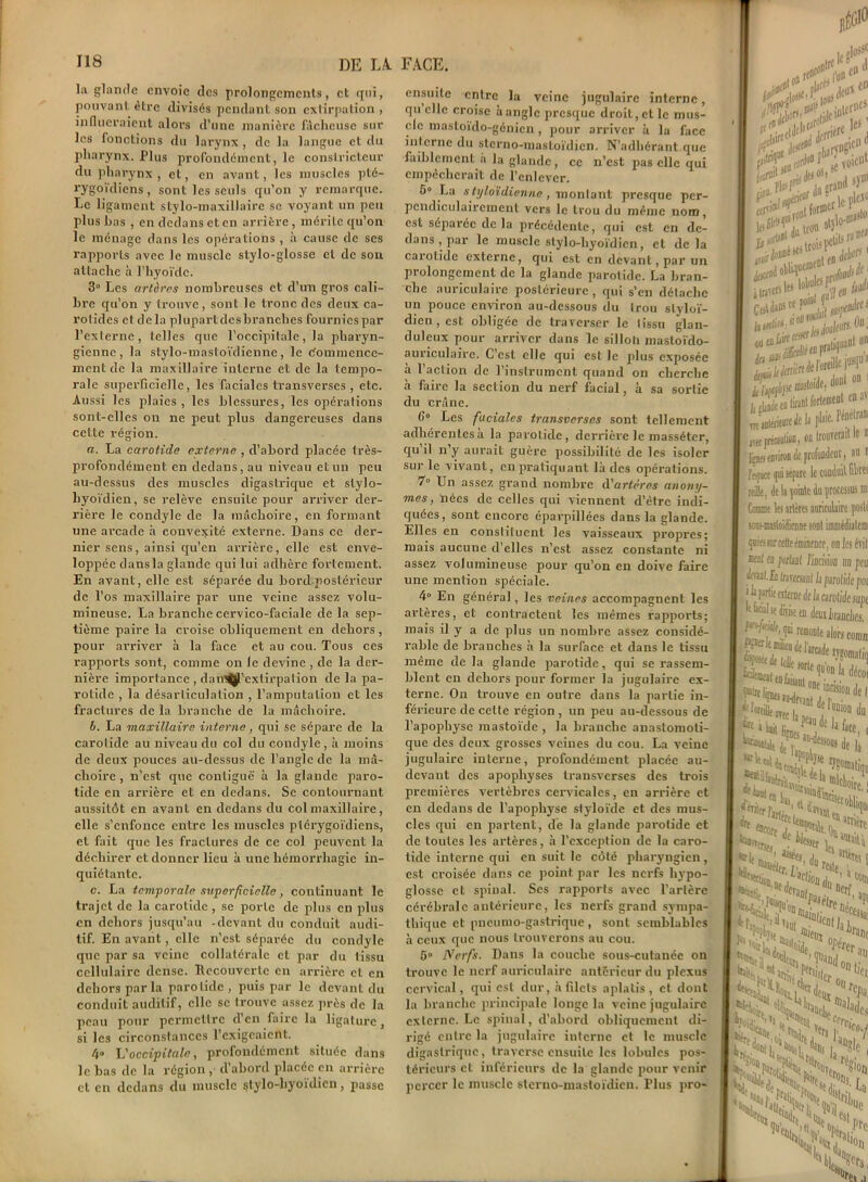 la glande envoie des prolongements, et qui, pouvant être divisés pendant son extirpation , influeraient alors d’une manière fâcheuse sur les fonctions du larynx, de la langue et du pharynx. Plus profondément, le constricteur du pharynx, et, en avant, les muscles pté- rygoïdiens, sont les seuls qu’on y remarque. Le ligament stylo-maxillaire se voyant un peu plus bas , en dedans et en arrière, mérite qu’on le ménage dans les opérations , à cause de scs rapports avec le muscle stylo-glosse cl de son attache à l’hyoïde. 3° Les artères nombreuses et d’un gros cali- bre qu’on y trouve, sont le tronc des deux ca- rotides et de la plu part des branches fournies par l’externe, telles que l’occipitale, la pharyn- gienne, la stylo-mastoïdienne, le Commence- ment de la maxillaire interne et de la tempo- rale superficielle, les faciales transverses , etc. Aussi les plaies, les blessures, les opérations sont-elles on ne peut plus dangereuses dans cette région. a. La carotide externe , d’abord placée très- profondément en dedans, au niveau et un peu au-dessus des muscles digastrique et stylo- hyoïdien, se relève ensuile pour arriver der- rière le condyle de la mâchoire, en formant une arcade à convexité externe. Dans ce der- nier sens, ainsi qu’en arrière, elle est enve- loppée dans la glande qui lui adhère fortement. En avant, elle est séparée du bord postérieur de l’os maxillaire par une veine assez volu- mineuse. La branche cei-vico-faciale de la sep- tième paire la croise obliquement en dehors , pour arriver à la face et au cou. Tous ces rapports sont, comme on le devine , de la der- nière importance , dan^’extirpation de la pa- rotide , la désarticulation , l’amputation et les fractures de la branche de la mâchoire. b. La maxillaire interne, qui se sépare de la carotide au niveau du col du condyle, à moins de deux pouces au-dessus de l’angle de la mâ- choire , n’est que contiguë à la glande paro- tide en arrière et en dedans. Se contournant aussitôt en avant en dedans du col maxillaire, elle s’enfonce entre les muscles ptérygoïdiens, et fait que les fractures de ce col peuvent la déchirer et donner lieu à une hémorrhagie in- quiétante. c. La temporale superficielle, continuant le trajet de la carotide , se porte de plus en plus en dehors jusqu’au -devant du conduit audi- tif. En avant, elle n’est séparée du condyle que par sa veine collatérale et par du tissu cellulaire dense. Recouverte en arrière et en dehors parla parotide , puis par le devant du conduit auditif, elle se trouve assez près de la peau pour permettre d'en faire la ligature, si les circonstances l’exigeaient. 4» L'occipitale, profondément située dans le bas de la région, d abord placée en arrière et en dedans du muscle stylo-hyoidicn, passe ensuile entre la veine jugulaire interne, qu’elle croise à angle presque droit, et le mus- cle masloido-génicn, pour arriver à la face interne du stcrno-mastoïdicn. N’adhérant que faiblement à la glande, ce n’est pas elle qui empêcherait de l'enlever. 5° La s tyloïdienno, montant presque per- pendiculairement vers le trou du même nom, est séparée delà précédente, qui est en de- dans , par le muscle stylo-hyoïdien, et delà caiolidc externe, qui est en devant, par un prolongement de la glande parotide. La bran- che auriculaire postérieure, qui s’en détache un pouce environ au-dessous du trou slyloï- dien , est obligée de traverser le tissu glan- duleux pour arriver dans le sillon mastoïdo- auriculaire. C’est elle qui est le plus exposée à l’action de l’instrument quand on cherche à faire la section du nerf facial, à sa soiTic du crâne. Les faciales transverses sont tellement adhérentesa la parotide, derrière le masséter, qu’il n’y aurait guère possibilité de les isoler sur le vivant, en pratiquant là des opérations. 7° Un assez grand nombre d'artères anony- mes , nées de celles qui viennent d’être indi- quées, sont encore éparpillées dans la glande. Elles en constituent les vaisseaux propres; mais aucune d’elles n’est assez constante ni assez volumineuse pour qu’on en doive faire une mention spéciale. 4° En généra], les veines accompagnent les artères, et contractent les mêmes rapports; mais il y a de plus un nombre assez considé- rable de branches à la surface et dans le tissu même de la glande parotide, qui se rassem- blent en dehors pour former la jugulaire ex- terne. On trouve en outre dans la partie in- férieure de celte région , un peu au-dessous de l’apophyse mastoïde , la branche anastomoti- que des deux grosses veines du cou. La veine jugulaire interne, profondément placée au- devaut des apophyses transverses des trois premières vertèbres cervicales, en arrière et en dedans de l’apophyse styloïde et des mus- cles qui en partent, de la glande parotide et de toutes les artères, à l’exception de la caro- tide interne qui en suit le côté pharyngien, est croisée dans ce point par les nerfs hypo- glosse et spinal. Ses rapports avec l’artère cérébrale antérieure, les nerfs grand sympa- thique et pneumo-gastrique , sont semblables à ceux que nous trouverons au cou. 5° Nerfs. Dans la couche sous-cutanée on trouve le nerf auriculaire antérieur du plexus cervical, qui est dur, à filets aplatis, et dont la branche principale longe la veine jugulaire externe. Le spinal, d’abord obliquement di- rigé entre la jugulaire interne et le muscle digastrique, traverse ensuile les lobules pos- térieurs et inférieurs de la glande pour venir percer le muscle stcrno-mastoïdicn. Flus pro- ,!c§101 |CI> en 1 se voit’11* f A toi four Jtn *** ^«r:;TformerlePlcîû .Kio-œ,slûl £***57* ou CJ) ,, pratiquan' U® in siü' ‘■Açu < | £i)ie jusqu'à j. y.flûaÈoe inasloide, W® tSwi***c3’ tÏedeurcdela rbi, Pénetran arec jiîcsulioi, on trouverait le J lgKs environ de profondeur, au t fepet qui sépare le conduit fibret rtillî, de la jointe du processus m; Comme les artères auriculaire poste sounnütoïdieune sont imédialem fiées fur celle éminence, on les évil bdI en perlât liacmn un peu i'ml.fa irmrsani h parol/de poi Jjptie citerne deis carotide supe L baal te divise en deux brandies ««le alora coran IL I, ji. . las .i ,, Sk.‘ Nitunij 'ire. | ui J,t«er dïfj h ®tttdler r’reste . 1 IfeRi . - >CH V, ht, . 4«|j U“ûUsJ k . Ujji, trait % - ne SS^