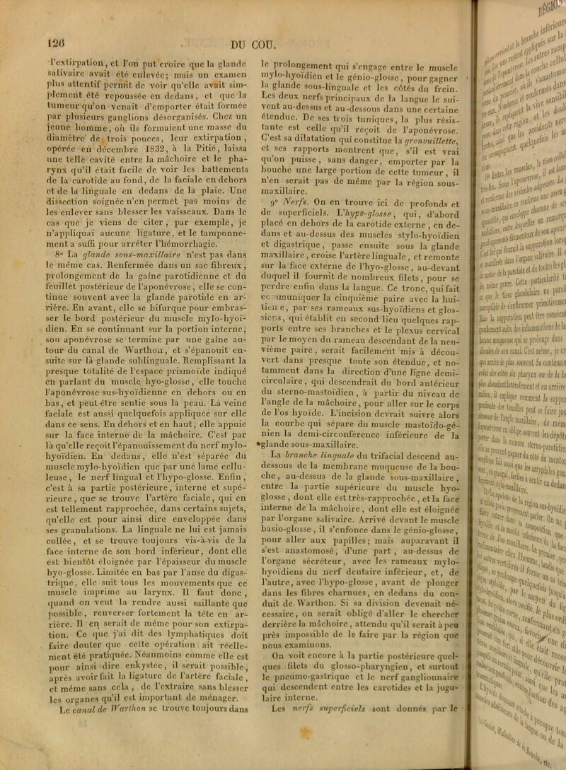 l'extirpation, et l’on put croire que la glande salivaire avait été enlevée; mais tin examen plus attentif permit de voir qu’elle avait sim- plement été repoussée en dedans, et que la tumeur qu’on venait d’emporter était formée par plusieurs ganglions désorganisés. Chez un jeune homme, où ils formaient une masse dn diamètre de trois pouces, leur extirpation, opérée eu décembre 1832, à la Pitié, laissa une telle cavité entre la mâchoire et le pha- rynx qu’il était facile de voir les battements de la carotide au fond, de la faciale en dehors et de la linguale en dedans de la plaie. Une dissection soignée n’en permet pas moins de les enlever sans blesser les vaisseaux. Dans le cas que je viens de citer, par exemple, je n’appliquai aucune ligature, et le tamponne- ment a suffi pour arrêter l’hémorrhagie. 8° La glande sous-maxillaire n’est pas dans le même cas. Renfermée dans un sac fibreux, prolongement de la gaine parotidienne et du feuillet postérieur de l’aponévrose, elle se con- tinue souvent avec la glande parotide en ar- rière. En avant, elle se bifurque pour embras- ser le bord postérieur du muscle mylo-hyoï- dien. En se continuant sur la portion interne, son aponévrose se termine par une gaine au- tour du canal de Warthon, et s’épanouit en- suite sur là glande sublinguale. Remplissant la presque totalité de l’espace prismoïde indiqué en parlant du muscle, hyo-glosse, elle touche l’aponévrose sus-liyoïdienne en dehors ou en bas, et peut être sentie sous la peau. La veine faciale est aussi quelquefois appliquée sur elle dans ce sens. En dehors et en haut, elle appuie sur la face interne de la mâchoire. C’est par là qu’elle reçoit l’épanouissement du nerf mylo- hyoïdien. En dedans, elle n’est séparée du muscle mylo-hyoïdien que par une lame cellu- leuse, le nerf lingual et l’hypo-glosse. Enfin, c’cst à sa partie postérieure, interne et supé- rieure , que se trouve l’artère faciale, qui en est tellement rapprochée, dans certains sujets, qu’elle est pour ainsi dire enveloppée dans ses granulations. La linguale ne lui est jamais collée, et se trouve toujours vis-à-vis delà face interne de son bord inférieur, dont elle est bientôt éloignée par l’épaisseur du muscle hyo-glosse. Limitée en bas par l’anse du digas- trique, elle suit tous les mouvements que ce muscle imprime au larynx. 11 faut donc , quand on veut la rendre aussi saillante que possible, renverser fortement la tète en ar- rière. Il en serait de même pour son extirpa- tion. Ce que j’ai dit des lymphatiques doit faire douter que celte opération ait réelle- ment été pratiquée. Néanmoins comme elle est pour ainsi dire enkystée, il serait possible, après avoir fait la ligature de l’artère faciale, et même sans cela , de l’extraire sans blesser les organes qu’il est important de ménager. Le canal de iVarthon sc trouve toujours dans le prolongement qui s’engage entre le muscle mylo-hyoïdien et le génio-glossc , pour gagner la glande sous-linguale et les côtés du frein. Les deux nerfs principaux de la langue le sui- vent au-dessus et au-dessous dans une certaine étendue. De ses trois tuniques, la plus résis- tante est celle qu’il reçoit de l’aponévrose. C est sa dilatation qui constitue la grenouillatte, ci ses rapports montrent que, s’il est vrai qu on puisse, sans danger, emporter par la bouche une large portion de cette tumeur , il n’en serait pas de même par la région sous- maxillaire. 9° Nerfs. On en trouve ici de profonds et de superficiels. L'hypo-glosse, qui, d’abord placé en dehors de la carotide externe , en de- dans et au-dessus des muscles stylo-hyoïdien et digastrique, passe ensuite sous la glande maxillaire, croise l’artère linguale, et remonte sur la face externe de l’hyo-glossc, au-devant duquel il fournit de nombreux filets, pour se perdre enfin dans la langue. Ce tronc, qui fait communiquer la cinquième paire avec la hui- lien e, par ses rameaux sus-hyoïdiens et glos- siens, qui établit en second lieu quelques rap- ports entre ses branches et le plexus cervical par le moyen du rameau descendant de la neu- vième paire , serait facilement mis à décou- vert dans presque toute son étendue, et no- tamment dans la direction d’une ligne demi- circulaire, qui descendrait du bord antérieur du sterno-mastoïdien, a partir du niveau de l’angle de la mâchoire, pour aller sur le corps de l’os hyoïde. L’incision devrait suivre alors la courbe qui sépare du muscle mastoïdo-gé- nien la demi-circonférence inférieure de la •glande sous-maxillaire. La branche linguale du trifacial descend au- dessous de la membrane muqueuse de la bou- che , au-dessus de la glande sous-maxillaire , entre la partie supérieure du muscle hyo- glosse , dont elle est très-rapprochée , et la face interne de la mâchoire, dont elle est éloignée par l’organe salivaire. Arrivé devant le muscle basio-glosse , il s’enfonce dans le génio-glosse, pour aller aux papilles; mais auparavant il s’est anastomosé, d’une part, au-dessus de l’organe sécréteur, avec les rameaux mylo- hyoïdiens du nerf dentaire inférieur, et, de l’autre, avec l’hj'po-glossc , avant de plonger dans les fibres charnues, en dedans du con- duit de Warthon. Si sa division devenait né- cessaire, ou serait obligé d’aller le chercher derrière la mâchoire , attendu qu’il serait à peu près impossible de le faire par la région que nous examinons. On voit encore a la partie postérieure quel- ques filets du glosso-pharyngicu , et surtout le pneumo-gastrique et le nerf ganglionnaire qui descendent, entre les carotides et la jugu- laire interne. Les nerfs superficiels sont donnés par le , «ficâf A *UJ raii'P ^upP^L r»‘“r ?Uutrcs %P<,fire»lcr ,.nsib> dan* i i» dre • e sen>11 , la vive ^ , e et le5 ‘ se^T,È£ion>e^u jtr» ,!• ip, pitre )U, '' ^fros£, *■ - j O*-K soas-m»^*^fl LcbcWJc inàKpw. Celle fcuW a çie le tissu glandulaire ne |'t “ y' ’ Bictjtlle de s'enflammer Sic i à suppuration peut être cou poeflement ssûte desiDÜa,..™ Inné muqueuse qui se prolonge da diodes de son canal, C'est meme, j- qui «nie ie plus sonrenf. Se coutil alliés cités éi pharynx ou île I pis! slondant latéralement et en arr A. il eiplique comment la suj F»We des toDsilles peut se faire f^dt l’anglemaiillée, de n ,^f«ii“Vlera7aro11 ... 1Mb» a. i, ,, Cj ^aoitis ce ru*). ‘11 'ormc... •fie Pr%Uoe /M C1- IM,, 'ÏS lf Se >/ie ’rc»fcfn]a ï i! elle m, SSs % % Un Pfe V, X