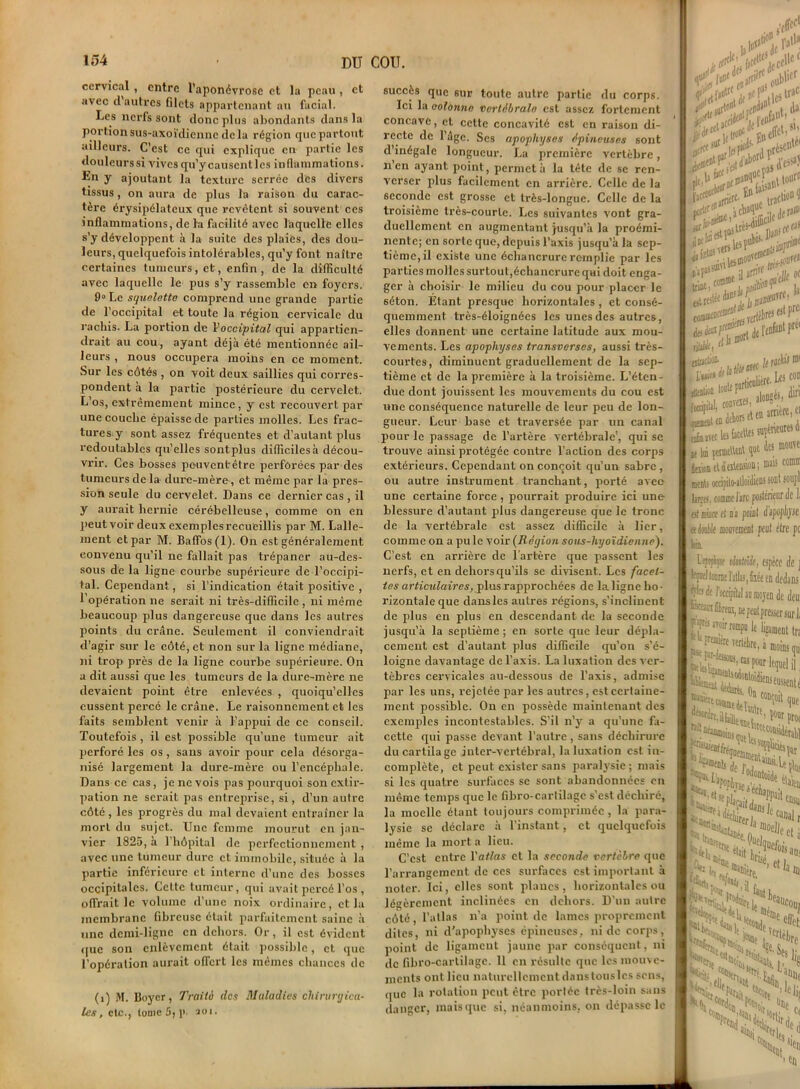 cervical , entre l'aponévrose et la peau , et avec cl autres filets appartenant au facial. Les nerfs sont donc plus abondants dans la portion sus-axoïdienne de la région que partout ailleurs. C’est ce qui explique en partie les douleurs si vives qu’y causent les in flammations. En y ajoutant la texture serrée des divers tissus, on aura de plus la raison du carac- tère érysipélateux que revêtent si souvent ces inflammations, de la facilité avec laquelle elles s’y développent à la suite des plaies, des dou- leurs, quelquefois intolérables, qu’y font naître certaines tumeurs, et, enfin, de la difficulté avec laquelle le pus s’y rassemble en foyers. 9° Le squelette comprend une grande partie de l’occipital et toute la région cervicale du rachis. La portion de Voccipital qui appartien- drait au cou, ayant déjà été mentionnée ail- leurs , nous occupera moins en ce moment. Sur les côtés , on voit deux saillies qui corres- pondent à la partie postérieure du cervelet. L’os, extrêmement mince, y est recouvert par une couche épaisse de parties molles. Les frac- tures, y sont assez fréquentes et d’autant plus redoutables qu’elles sontplus diflicilesà décou- vrir. Ces bosses peuventêtre perforées par des tumeurs de la dure-mère, et même par la pres- sion seule du cervelet. Dans ce dernier cas , il y aurait hernie cérébelleuse, comme on en peut voir deux exemples recueillis par M. Lalle- ment et par M. Baffos(l). On est généralement convenu qu’il ne fallait pas trépaner au-des- sous de la ligne courbe supérieure de l’occipi- tal. Cependant, si l’indication était positive , 1 opération ne serait ni très-difficile , ni même beaucoup plus dangereuse que dans les autres points du crâne. Seulement il conviendrait d’agir sur le côté, et non sur la ligne médiane, ni trop près de la ligne courbe supérieure. On a dit aussi que les tumeurs de la dure-mère ne devaient point être enlevées , quoiqu’elles eussent percé le crâne. Le raisonnement et les faits semblent venir à l’appui de ce conseil. Toutefois , il est possible qu’une tumeur ait perforé les os , sans avoir pour cela désorga- nisé largement la dure-mère ou l’encéphale. Dans ce cas, je ne vois pas pourquoi son extir- pation ne serait pas entreprise, si, d’un autre côté, les progrès du mal devaient entraîner la mort du sujet. Une femme mourut en jan- vier 1825, à l’hôpital de perfectionnement , avec une tumeur dure et immobile, située à la partie inférieure et interne d’une des bosses occipitales. Cette tumeur, qui avait percé l’os , offrait le volume d’une noix ordinaire, et la membrane fibreuse était parfaitement saine à une demi-ligne en dehors. Or, il est évident que son enlèvement était possible, et que l’opération aui-ait offert les mêmes chances de (î) M. Boyer, Traite des Maladies chirurgica- les, etc., tome 5, p. soi. succès que sur toute autre partie du corps. Ici la colonne Vertébrale est assez fortement concave, et cette concavité C6t en raison di- recte de l’âge. Ses apophyses épineuses sont d’inégale longueur. La première vertèbre, n’en ayant point, permet à la tête de se ren- verser plus facilement en arrière. Celle de la seconde est grosse et ti’ès-longue. Celle de la troisième très-courte. Les suivantes vont gra- duellement en augmentant jusqu’à la proémi- nente; en sorte que, depuis l’axis jusqu’à la sep- tième, il existe une échancrure remplie par les parties molles surtout,échancrure qui doit enga- ger à choisir le milieu du cou pour placer le 6éton. Etant presque horizontales, et consé- quemment très-éloignées les unes des autres, elles donnent une certaine latitude aux mou- vements. Les apophyses transverses, aussi très- courtes, diminuent graduellement de la sep- tième et de la première à la troisième. L’éten- due dont jouissent les mouvements du cou est une conséquence naturelle de leur peu de lon- gueur. Leur base et traversée par un canal pour le passage de l’artère vertébrale’, qui se trouve ainsi protégée contre l’action des corps extérieurs. Cependant on conçoit qu’un sabre , ou autre instrument tranchant, porté avec une certaine force, pourrait produire ici une blessure d’autant plus dangereuse que le tronc de la vertébrale est assez difficile à lier, comme on a pu le voir (Région sous-hyoïdienne). C’est en arrière de l’artère que passent les nerfs, et en dehors qu’ils se divisent. Les facet- tes articulaires, plus rapprochées de la ligne ho- l’izontale que dansles autres régions, s’inclinent de plus en plus en descendant de la seconde jusqu’à la seplième ; en sorte que leur dépla- cement est d’autant plus difficile qu’on s’é- loigne davantage de l’axis. La luxation des ver- tèbres cervicales au-dessous de l’axis, admise par les uns, rejetée par les autres, est certaine- ment piossible. On en possède maintenant des exemples incontestables. S’il n’y a qu’une fa- cette qui passe devant l’autre , sans déchirure du cartilage inter-vertébral, la luxation est in- complète, et peut exister sans paralysie; mais si les quatre surfaces se sont abandonnées en même temps que le fibro-cartilage s’est déchiré, la moelle étant toujoui-s comprimée, la para- lysie se déclare à l’instant, et quelquefois même la mort a lieu. C’est entre l'atlas et la seconde vertèbre que l’arrangement de ces surfaces est important à noter. Ici, elles sont planes, horizontales ou légèrement inclinées en dehors. D’un autre côte, l’atlas n’a point de lames proprement dites, ni d'apophyses épineuses, ni de corps, point de ligament jaune par conséquent, ni île fibro-cartilage. H en résulte que les mouve- ments ontlicu naturellement dans touslcs sens, que la rotation peut être portée très-loin sans danger, maisque si, néanmoins, on dépasse le . b .us »• J , q#1,. l’ont tiyi»utrC r,s.,,5 trac ,dts :ffeb51’ sente' la l>ct trurt 'V1 l’tllt # i JDffurre r la «trtstte^Ki^ ri* tlu «batte les fables suçêneuiM i des monte 4 jexionetà tstennon; mais connu ment- occipito-atloïdiens sont son]1! ljr:f.‘, comme l are postérieur Je I; et mee tt ns point d apophyse (cttlt dominent peut être pu fcà iepçhif tfaltiio, espèce de j M tourne Mas, fe en dedans Çi» de l’occipital au moyen de Jeu. fera fiirem, ne peut presser sur I •ptrs atoir rompu le ligament lr feh fttnufre verteLre ^ « m lequel Û moins qn ■•WJUUV Pît non» ' t 1 C0DÇ°it **32'*' que pour pr0( Vf •’^nlS^itensu ôtaiej Xi** ferla sic «te. ffioelf fanal r e et ; San; H Ne V Se. ‘s lie •M N JS ■ lej, u»e '!