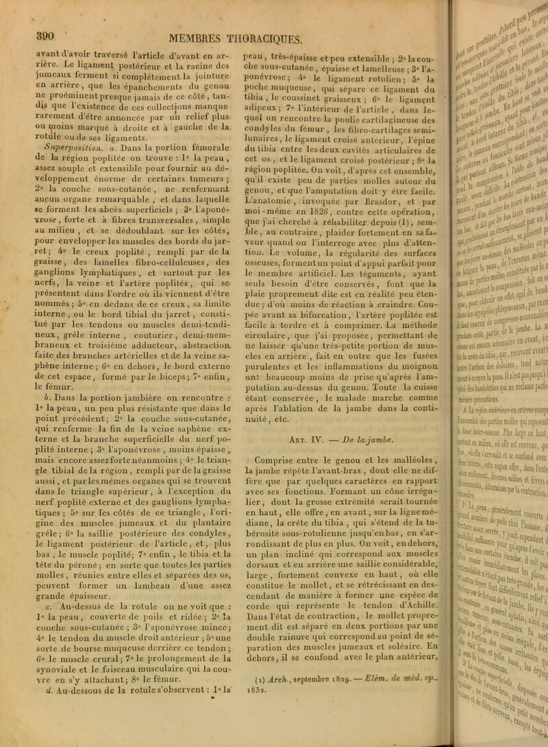 avant d avoir traversé l’article d’avant en ar- rière. Le ligament postérieur et la racine des jumeaux ferment si complètement la jointure en arrière, que les épanchements du genou ne proéminent presque jamais de ce côté, tan- dis que l’existence de ces collections manque rarement d’être annoncée par un relief plus ou i^ioins marqué à droite et à gauche de la rotule ou de ses ligaments. Superposition, a. Dans la portion fémorale de la région poplitée on trouve : 1“ la peau , assez souple et extensible pour fournir au dé- veloppement énorme de certaines tumeurs ; 2° la couche sous-cutanée , ne renfermant aupun organe remarquable , et dans laquelle se forment les abcès superficiels ; 3° l'aponé- vrose , forte et à fibres transversales, simple au.milieu, et se dédoublant sur les côtés, pour envelopper les muscles des bords du jar- ret ; 4° le creux poplité , rempli par de la graisse, des lamelles fibro-celluleuses, des ganglions lymphatiques, et surtout par les nerfs, la veine et l’artère poplités, qui se- présentent dans l’ordre où ils viennent d’étre nommés ; 5° en dedans de ce creux, sa limite- interne , ou le bord tibial du jarret, consti- tué par les tendons ou muscles demi-tendi- neux, grêle interne, couturier, demi-mem- braneux et troisième adducteur, abstraction, faite des branches artérielles et de la veine sa- phène interne; G0 en dehors, le bord externe de cet espace , formé par le biceps ; 7° enfin , le fémur. b. Dans la portion jambière on rencontre : 1° la peau, un peu plus résistante que dans le point précédent; 2“ la couche sous-cutanée, qui renferme la fin de la veine saphène ex- terne et la branche superficielle du nerf po- plité interne ; 3g l’aponévrose , moins épaisse ,. mais encore assez forte néanmoins ; 4° le trian- gle tibial delà région, rempli par de la graisse aussi, et par les mêmes organes qui se trouvent dans le triangle supérieur, à l’exception du nerf poplité externe et des ganglions lympha- tiques ; 5° sur les côtés de ce triangle , l’ori- gine des muscles jumeaux et du plantaire grêle ; 6° la saillie postérieure des condyles , le ligament postérieur de l’article, et, plus bas , le muscle poplité; 7° enGn , le tibia et la tête du péroné ; en sorte que toutes les parties molles , réunies entre elles et séparées des os, peuvent former un lambeau d’une assez grande épaisseur. c. Au-dessus de la rotule on ne voit que : 1° la peau , couverte de i>oils et ridée ; 2° la couche sous-cutanée; 3“ l’aponévrose mince; 4° le tendon du muscle droit antérieur ; 5° une sorte de bourse muqueuse derrière ce tendon ; G» le muscle crural ; 7Ü le prolongement de la synoviale et le faisceau musculaire qui la cou- vre en s’y attachant; 8° le fémur. d. Au-dessous de la rotule s'observent : 1° la peau, très-épaisse et peu extensible; 2° la cou- che sous-cutanée , épaisse et lamcllcuse ; 3“ l’a- ponévrose ; 4 le ligament rotulien; 5° la poche muqueuse, qui sépare ce ligament du tibia , le coussinet graisseux ; 6° le ligament 1 adipeux ; 7u l’intérieur de l’article , dans le- quel on rencontre la poulie cartilagineuse des condyles du fémur, les fibro-cartilagcs semi- lunaires, le ligament croisé antérieur, l’épiuc du tibia entre les deux cavités articulaires de cet os , et le ligament croisé postérieur ; 8 la région poplitée. On voit, d’après cet ensemble, qu’il existe peu de parties molles autour du genou, et que l’amputation doit y être facile. L’anatomie, invoquée par brasdor, et par moi-même en 1826, contre cette opération, que j’ai cherché à réhabiliter depuis (1), sem- ble, au contraire, plaider fortement en sa fa- veur quand on l’interroge avec plus déten- tion. Le volume, la régularité des surfaces osseuses, forment un point d’appui parfait pour le membre artificiel. Les téguments, ayant seuls besoin d’ètre conservés, font que la plaie proprement dite est en réalité peu éten- due; d’où moins de réaction à craindre. Cou- pée avant sa bifurcation, l’artère poplitée est facile à. tordre et à comprimer. La méthode circulaire, que j’ai proposée, permettant de ne laisser qu’une très-petite portion de mus- cles en arrière , fait en outre que les fusées purulentes et les inflammations du moignon ont beaucoup moins de prise qu’après l’am- putation au-dessus du genou. Toute la cuisse étant conservée , le malade marche comme après l’ablation de la jambe dans la conti^ nuilé, etc. Akt. IV. — De la.jambe. Comprise entre le genou et les malléoles, la jambe répète l’avant-bras , dont elle ne dif- fère que par quelques caractères en rapport avec ses fonctions. Formant un cône irrégu- lier, dont la grosse extrémité serait tournée en haut, elle ofTre , en avant, sur la ligne mé- diane , la crête du tibia , qui s’étend de la tu- bérosité sous-rotulicnne jusqu’enbas, en s’ar- rondissant de plus en plus. On voit, en dehors, un plan incliné qui correspond aux muscles dorsaux et en arrière une saillie considérable, large , fortement convexe en haut, où elle constitue le mollet, et se rétrécissant en des- cendant de manière à former une espèce de corde qui représente le tendon d’Achille. Dans l’état de contraction, le mollet propre- ment dit est séparé en deux portions par une double rainure qui correspond au point de sé- paration des muscles jumeaux et soléaire. En dehors, il se confond avec le plan antérieur, (i) Arch-, septembre 1819. — Elém. de mêd. op., i83a. ufllî1 IC - * £Dtf° ✓ ?eûîle^ f } <£i IrfS'® [l’iO' nlf*11 II y, /‘.i d» ipl'lrt>- ,£f0 jtrtle n i* . icr;;>e' P # toU,( , (C . >f:;> ^ ,a> l^dC cul* isr+ttP* ***■■&. .parties®* . y en01 «tteparticdelà jambe. La n t eccore nécessaire enavant, a liedutibia.qui.recevantavantt ,ction des doloires, tend natur :oufer la peau. 11 u est pasjusqu a bandelettes qui ne réclame parfo: auras. niMm/m trient mp s parties molles qui reposent osseuse. Plus large en haut, leu, où elle est convere, qu arrondit et sc confond avec