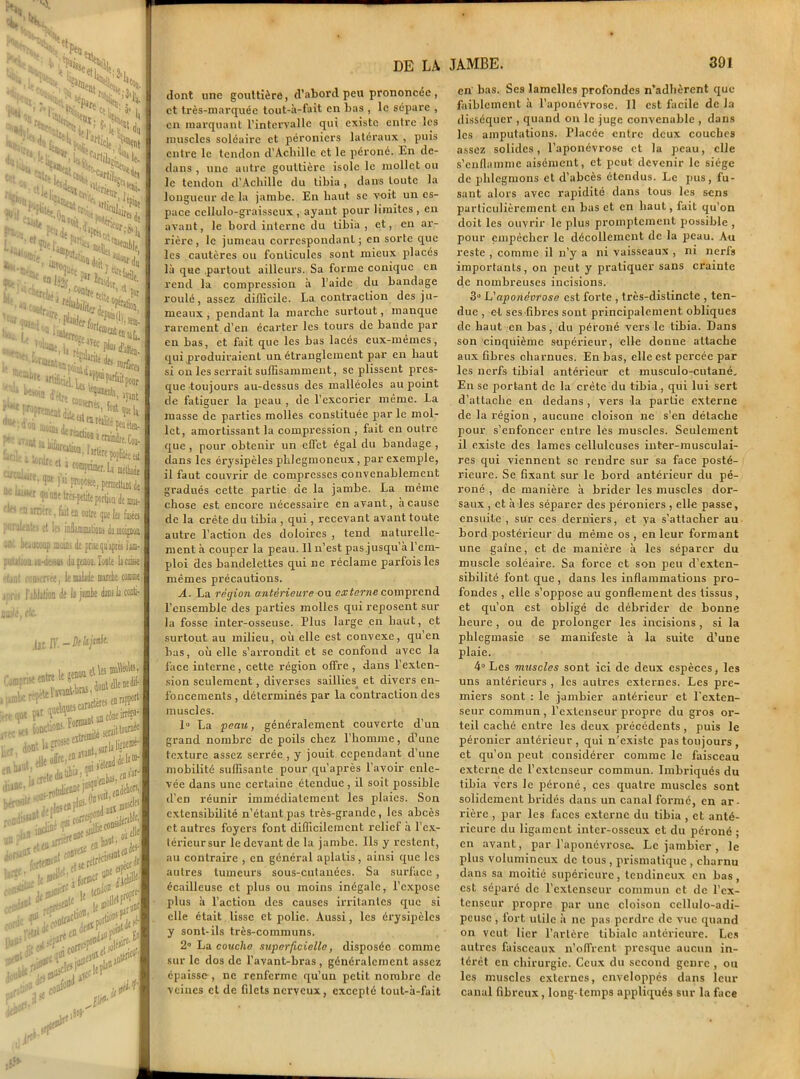 3S$feN MW Wj^HL W*H rw| ‘‘•NTSSÿSS >«>w5?S U ‘ ^rcl^ ; » c°n(Hf eti» ’.(t Ht “ j'J2P i , Merforu ; ,5tIn' t ■lle,-S*»tt*Bî2ft*.*,-*r 'neal),« Jrtiêciti | f* C* «**,,’ Hit P^prmtot j't tiw&i f«t ® P*e i^iat a bif racb#* * cnindrt Wc ^uïT'^6 r^’^P^'.Pwiu Ue uu« (puetrès-petiteporlioa de ■r’’^ ®Dtrt, fût tu outre que la I pnruicntti et Its inüammations du moi sot beaucoup m(iiD3 dt prise qu'après fiiulioa m-ilc.-stti dagenou.loate lai ' faut tromerTM, le malade marche a i r. fjUalion de la jambe dam la ( jJUi< Hé. tic. .tir.fi '.-Ai Comprise entre le genw ■w9u»?*?* cr dontUgtossee^ rta****'.’ b<r»lU , i,fte«#P,oî- ua?isBl“ f ?teairr ...» liorsju* . Bt fort«®ei lir?{ , H» d< , L rd« ^ ^ i:U' Ût*: VP loll^ li» U J** l}j» dont une gouttière, d’abord peu prononcée , et très-marquée tout-à-fait en bas , le sépare , cia marquant l’intervalle qui existe entre les muscles soléaire et péroniers latéraux , puis entre le tendon d’Acliille et le péroné. En de- dans , une autre gouttière isole le mollet ou le tendon d’Achille du tibia, dans toute la longueur de la jambe. En haut se voit un es- pace cellulo-graisseux, ayant pour limites, en avant, le bord interne du tibia, et, en ar- rière, le jumeau correspondant ; en sorte que les cautères ou fonliculcs sont mieux placés là que .partout ailleurs. Sa forme conique en rend la compression à l’aide du bandage roulé, assez difficile. La contraction des ju- meaux , pendant la marche surtout, manque rarement d’en écarter les tours de bande par en bas, et fait que les bas lacés eux-mêmes, qui produiraient un étranglement par en haut si on les serrait suffisamment, se plissent pres- que toujours au-dessus des malléoles au point de fatiguer la peau , de l’excorier même. La masse de parties molles constituée par le mol- let, amortissant la compression , fait en outre que , pour obtenir un effet égal du bandage , clans les érysipèles phlegmoncux, par exemple, il faut couvrir de compresses convenablement gradués cette partie de la jambe. La même chose est encore nécessaire en avant, à cause de la crête du tibia , qui, recevant avant toute autre l’action des doioires , tend naturelle- ment à couper la peau. 11 n’est pas jusqu à l’em- ploi des bandelettes qui ne réclame parfois les mêmes précautions. A. La région antérieure ou ex terne comprend l’ensemble des parties molles qui reposent sur la fosse inter-osseuse. Plus large en haut, et surtout au milieu, où elle est convexe, qu’en bas, où elle s’arrondit et se confond avec la face interne, cette région offre , dans l’exten- sion seulement, diverses saillies et divers en- foncements , déterminés par la contraction des muscles. 1° La peau, généralement couverte d’un grand nombre de poils chez l’homme, d1 une texture assez serrée , y jouit cependant d’une mobilité suffisante pour qu’après l’avoir enle- vée dans une certaine étendue , il soit possible d’en réunir immédiatement les plaies. Son extensibilité n’étant pas très-grande , les abcès et autres foyers font difficilement relief à l’ex- térieur sur le devant de la jambe. Ils y restent, au contraire , en général aplatis, ainsi que les autres tumeurs sous-cutanées. Sa surface , écailleuse et plus ou moins inégale, l’expose plus à l’action des causes irritantes que si elle était lisse et polie. Aussi, les érysipèles y sont-ils très-communs. 2° La coucha superficielle, disposée comme sur le dos de l’avant-bras, généralement assez épaisse , ne renferme qu’un petit nombre de veines et de filets nerveux, excepté tout-à-fait en bas. Scs lamelles profondes n’adhèrent que faiblement à l’aponévrose. 11 est facile de la disséquer , quand on le juge convenable , dans les amputations. Placée entre deux couches assez solides, l’aponévrose et la peau, elle s’enflamme aisément, et peut devenir le siège de phlegmons et d’abcès étendus. Le pus, fu- sant alors avec rapidité dans tous les sens particulièrement en bas et en haut, fait qu’on doit les ouvrir le plus promptement possible , pour empêcher le décollement de la pieau. An reste , comme il n’y a ni vaisseaux , ni nerfs importants, on peut y pratiquer sans crainte de nombreuses incisions. 3° L'aponévrose est forte , très-distincte , ten- due , et scs fibres sont principalement obliques de haut en bas, du péroné vers le tibia. Dans son cinquième supérieur, elle donne attache aux fibres charnues. En bas, elle est percée par les nerfs tibial antérieur et musculo-cutané. En se portant de la crête du tibia, qui lui sert d’attache en dedans, vers la partie externe de la région , aucune cloison ne s’en détache pour s’enfoncer entre les muscles. Seulement il existe des lames celluleuses inter-musculai- res qui viennent se rendre sur sa face posté- rieure. Se fixant sur le bord antérieur du pé- roné , de manière à brider les muscles dor- saux , et à les séparer des péroniers , elle passe, ensuite , sur ces derniers, et va s'attacher au bord postérieur du même os , en leur formant une gaine, et de manière à les séparer du muscle soléaire. Sa force et son peu d'exten- sibilité font que , dans les inflammations pro- fondes , elle s’oppose au gonflement des tissus, et qu’on est obligé de débrider de bonne heure, ou de prolonger les incisions, si la phlegmasie se manifeste à la suite d’une plaie. 4° Les muscles sont ici de deux espèces, les uns antérieurs , les autres externes. Les pre- miers sont : le jambier antérieur et l'exten- seur commun , l’extenseur propre du gros or- teil caché entre les deux précédents , puis le péronier antérieur , qui n’existe pas toujours , et qu’on peut considérer comme le faisceau externe de l’extenseur commun. Imbriqués du tibia vers le péroné, ces quatre muscles sont solidement bridés dans un canal formé, en ar - rière , par les faces externe du tibia , et anté- rieure du ligament inter-osseux et du péroné ; en avant, par l’aponévrose. Le jambier , le plus volumineux de tous , prismatique , charnu dans sa moitié supérieure, tendineux en bas, est séparé de l’extenseur commun et de l’ex- tenseur propre par une cloison ccllulo-adi- pcusc , fort utile à ne pas perdre de vue quand on veut lier l’artère tibiale antérieure. Les autres faisceaux n'offrent presque aucun in- térêt en chirurgie. Ceux du second genre , ou les muscles externes, enveloppés dans leur canal fibreux, long-temps appliqués sur la face