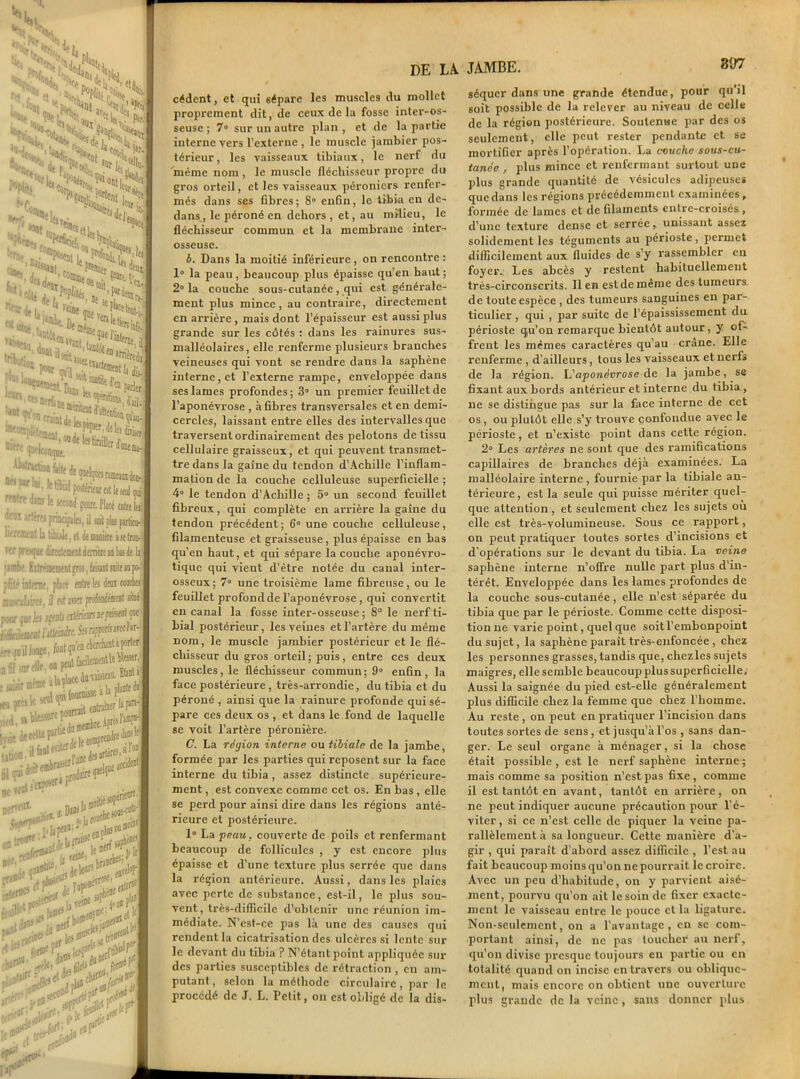 — r*N\H p, fs pSHN t N, r^^d(1) NV ~ CXSuj ^'VnS^Ï r*s> V* H, « *■ xXNSf >»£: N|% «•Cf *rfXlùr. SOgl '’îl'l ,. | “ <ÏS ** Ï>H àS2*i,«C: s&sa **P^éaç, ><r*k S3 iei Hi,.^. . JF1** ïfe -, io^i;,,- '°tdele5piqoer,delei(i 11 ! ?,r K le hbul poitérieur est le «u ™r- l{ «cond genre. Placé enti ;| ,'i artém principales, il rail plus par lie'rAmonf li liL'.l. .a j •- • ... • ruines prmapiejjüinitpJiu lierement la libiale, et de manière i  r presque directement derrière an 1 jambe. Eïtr^mement gros, faisant «ni nlité intmv dire entre les de plité interne, placé __ muicnlairM, il fît «o ; ?.. . ■ .m J > tf fart J pourvut la igaliatér iiliïriltmeat ïilteinért. S •qoÏÏianje, fonlq»^ 51 -ir elle, on peut I même a lapda®* ère en c n fil sur elle, on p- ^ . ne il» place il tau rule seul qm fourbe3 .... Mirrait anir nupté sabkisure P°rrall_ k-,eicce^F[li . L, aw«nt£rî. **+*% . «erà Slq® ne e«at rtftlî- n J9T'[ , I.AAjfl de 1-lape30'-. •lagnt «in1 ontro««;1 %w» >jp>> »et rh^’>An >CnV V;: le K' — — de la. jambe. cèdent, et qui sépare les muscles du mollet proprement dit, de ceux de la fosse inter-os- seuse ; 7° sur un autre plan , et de la partie interne vers l’externe, le muscle jambier pos- térieur , les vaisseaux tibiaux, le nerf du même nom, le muscle fléchisseur propre du gros orteil, et les vaisseaux péroniers renfer- més dans ses fibres ; 8“ enfin, le tibia en de- dans , le péroné en dehors , et, au milieu, le fléchisseur commun et la membrane inter- osseuse. b. Dans la moitié inférieure , on rencontre : 1° la peau, beaucoup plus épaisse qu’en haut; 2° la couche sous-cutanée, qui est générale- ment plus mince, au contraire, directement en arrière , mais dont l’épaisseur est aussi plus grande sur les côtés : dans les rainures sus- malléolaires, elle renferme plusieurs branches veineuses qui vont se rendre dans la saphène interne, et l’externe rampe, enveloppée dans ses lames profondes; 3° un premier feuillet de l’aponévrose , à fibres transversales et en demi- cercles, laissant entre elles des intervalles que traversent ordinairement des pelotons de tissu cellulaire graisseux, et qui peuvent transmet- tre dans la gaine du tendon d’Achille l’inflam- mation de la couche celluleuse superficielle ; 4° le tendon d’Achille; 5° un second feuillet fibreux, qui complète en arrière la gaine du tendon précédent; 6° une couche celluleuse, filamenteuse et graisseuse, plus épaisse en bas qu’en haut, et qui sépare la couche aponévro- tique qui vient d’ètre notée du canal inter- osseux; 7° une troisième lame fibreuse, ou le feuillet profond de l’aponévrose , qui convertit en canal la fosse inter-osseuse ; 8° le nerf ti- bial postérieur, les veines et l’artère du même nom, le muscle jambier postérieur et le flé- chisseur du gros orteil; puis, entre ces deux muscles, le fléchisseur commun; 9° enfin, la face postérieure , très-arrondie, du tibia et du péroné , ainsi que la rainure profonde qui sé- pare ces deux os , et dans le fond de laquelle se voit l’artère péronière. C. La région interne ou tibiale de la jambe, formée par les parties qui reposent sur la face interne du tibia , assez distincte supérieure- ment , est convexe comme cet os. En bas , elle se perd pour ainsi dire dans les régions anté- rieure et postérieure. 1° La peau, couverte de poils et renfermant beaucoup de follicules , y est encore plus épaisse et d’une texture plus serrée que dans la région antérieure. Aussi, dans les plaies avec perte de substance, est-il, le plus sou- vent, très-difficile d’obtenir une réunion im- médiate. N’est-ce pas là une des causes qui rendent la cicatrisation des ulcères si lente sur le devant du tibia ? N’étant point appliquée sur des parties susceptibles de rétraction , en am- putant, selon la méthode circulaire, par le procédé de J. L. Petit, on est obligé de la dis- 897 séquer dans une grande étendue, pour qu’il soit possible de la relever au niveau de celle de la région postérieure. Soutenue par des os seulement, elle peut rester pendante et se mortifier après l’opération. La couche sous-cti- tanèe , plus mince et renfermant surtout une plus grande quantité de vésicules adipeuses que dans les régions précédemment examinées, formée de lames et de filaments entre-croisés , d’une texture dense et serrée, unissant assez solidement les téguments au périoste, permet difficilement aux fluides de s’y rassembler en foyer. Les abcès y restent habituellement très-circonscrits. lien est de même des tumeurs de toute espèce , des tumeurs sanguines en par- ticulier , qui , par suite de l’épaississement du périoste qu’on remarque bientôt autour , y of- frent les mêmes caractères qu’au crâne. Elle renferme , d’ailleurs, tous les vaisseaux et nerfs de la région. L'aponévrose de la jambe, se fixant aux bords antérieur et interne du tibia , lie se distingue pas sur la face interne de cet os, ou plutôt elle s’y trouve confondue avec le périoste, et n’existe point dans cette région. 2° Les artères ne sont que des ramifications capillaires de branches déjà examinées. La malléolaire interne , fournie par la tibiale an- térieure, est la seule qui puisse mériter quel- que attention , et seulement chez les sujets où elle est très-volumineuse. Sous ce rapport, on peut pratiquer toutes sortes d’incisions et d’opérations sur le devant du tibia. La veine saphène interne n’offre nulle part plus d’in- térêt. Enveloppée dans les lames profondes de la couche sous-cutanée, elle n’est séparée du tibia que par le périoste. Comme cette disposi- tion ne vax-ie point, quel que soit l’embonpoint du sujet, la saphène paraît très-enfoncée , chez les personnes grasses, tandis que, chczles sujets maigres, elle semble beaucoup plus superficielle. Aussi la saignée du pied est-elle généralement plus difficile chez la femme que chez l’homme. Au reste, on peut en pratiquer l’incision dans toutes sortes de sens, et jusqu’à l’os , sans dan- ger. Le seul organe à ménager, si la chose était possible , est le nerf saphène interne ; mais comme sa position n’est pas fixe , comme il est tantôt en avant, tantôt en arrière, on ne peut indiquer aucune précaution pour l’é- viter , si ce n’est celle de piquer la veine pa- rallèlement à sa longueur. Cette manière d’a- gir , qui paraît d’abord assez difficile , l’est au fait beaucoup moins qu’on ne pourrait le croire. Avec un peu d’habitude, on y parvient aisé- ment, pourvu qu’on ait le soin de fixer exacte- ment le vaisseau entre le pouce et la ligature. Non-seulement, on a l’avantage, en se com- portant ainsi, de ne pas toucher au nerf, qu’on divise presque toujours en partie ou en totalité quand on incise en travers ou oblique- ment, mais encore on obtient une ouverture plus grande de la veine , sans donner plus