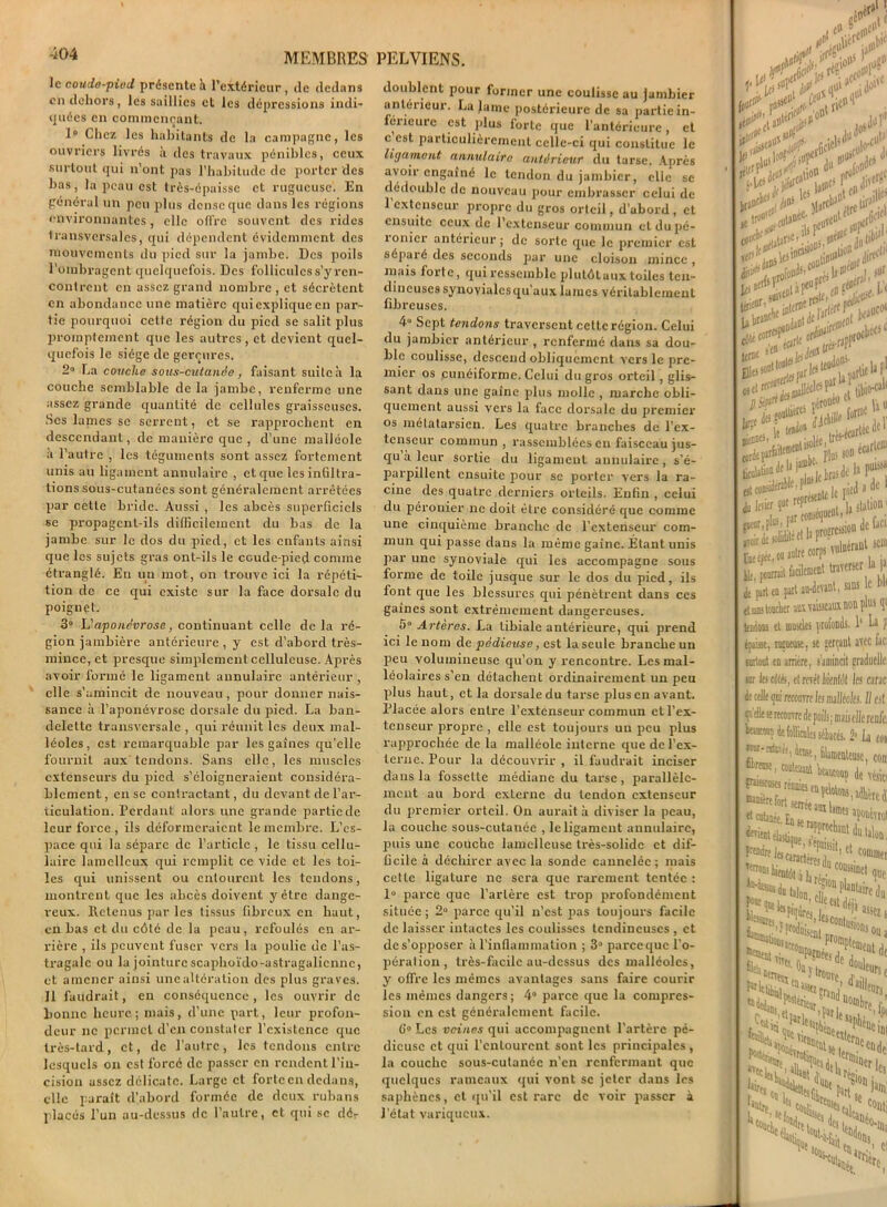 le coude-pied présente b. l’extérieur, de dedans en dehors, les saillies et les dépressions indi- quées en commençant. 1° Chez les habitants de la campagne, les ouvriers livrés à des travaux pénibles, ceux surtout qui n’ont pas l’habitude de porter des bas, la peau est très-épaisse et rugueuse. En général un peu plus dense que dans les régions environnantes, elle offre souvent des rides transversales, qui dépendent évidemment des mouvements du pied sur la jambe. Des poils l’ombragent quelquefois. Des follicules s’y ren- contrent en assez grand nombre , et sécrètent en abondance une matière qui explique en par- tie pourquoi cette région du pied se salit plus promptement que les autres, et devient quel- quefois le siège de gerçures. 2° La couche sous-cutanée, faisant suite à la couche semblable de la jambe, renferme une assez grande quantité de cellules graisseuses. Ses lames se serrent, et se rapprochent en descendant, de manière que , d’une malléole à l’autre , les téguments sont assez fortement unis au ligament annulaire , et que les infiltra- tions sous-cutanées sont généralement arrêtées par cette bride. Aussi , les abcès superficiels se propagent-ils difficilement du bas de la jambe sur le dos du pied, et les enfants ainsi que les sujets gras ont-ils le ccude-pied comme étranglé. En un mot, on trouve ici la répéti- tion de ce qui existe sur la face dorsale du poignet. 3° L'aponévrose, continuant celle delà ré- gion jambière antérieure , y est d’abord très- mince, et presque simplement celluleuse. Après avoir formé le ligament annulaire antérieur , elle s’amincit de nouveau, pour donner nais- sance à l’aponévrose dorsale du pied. La ban- delette transversale , qui réunit les deux mal- léoles, est remarquable par les gaines qu'elle fournit aux tendons. Sans elle, les muscles extenseurs du pied s’éloigneraient considéra- blement, en se contractant , du devant de l’ar- ticulation. Perdant alors une grande partie de leur force, ils déformeraient le membre. L’es- pace qui la sépare de l’article , le tissu cellu- laire lamellcux qui remplit ce vide et les toi- les qui unissent ou entourent les tendons, montrent que les abcès doivent y être dange- reux. Retenus par les tissus fibreux en haut, en bas et du côté de la peau, refoulés en ar- rière , ils peuvent fuser vers la poulie de l’as- tragale ou la jointure scaphoïdo-astragalicnnc, et amener ainsi une altération des plus graves. Il faudrait, en conséquence , les ouvrir de bonne heure; mais, d’une part, leur profon- deur ne permet d’en constater l’existence que très-tard, et, de l’autre, les tendons entre lesquels on est forcé de passer en rendent l’in- cision assez délicate. Large et forte en dedans, clic paraît d’abord formée de deux rubans placés l’un au-dessus de l’autre, et qui se dér doublent pour former une coulisse au jumbier antérieur. La lame postérieure de sa partie in- férieure est plus forte que l’antérieure, et c est particulièrement celle-ci qui constitue le ligament annulaire antérieur du tarse. Après avoir engainé le tendon du jambier, elle se dédouble de nouveau pour embrasser celui de 1 extenseur propre du gros orteil, d’abord, et ensuite ceux de l’extenseur commun et du pé- ronier antérieur; de sorte que le premier est sépaié des seconds par une cloison mince, mais forte, qui ressemble plutôtaux toiles ten- dineuses synoviales qu’aux lames véritablement fibreuses. 4° Sept tendons traversent cette région. Celui du jambier antérieur , renfermé dans sa dou- ble coulisse, descend obliquement vers le pre- mier os cunéiforme. Celui du gros orteil , glis- sant dans une gaine plus molle , marche obli- quement aussi vers la face dorsale du premier os métatarsien. Les quatre branches de l’ex- tenseur commun , rassemblées en faisceau jus- qu à leur sortie du ligament annulaire, s’é- parpillent ensuite pour se porter vers la ra- cine des quatre derniers orteils. Enfin , celui du péronier ne doit être considéré que comme une cinquième branche de l’extenseur com- mun qui passe dans la même gaine. Étant unis par une synoviale qui les accompagne sous forme de toile jusque sur le dos du pied, ils font que les blessures qui pénètrent dans ces gaines sont extrêmement dangereuses. 5° Artères. La tibiale antérieure, qui prend ici le nom de pédieuse, est la seule branche un peu volumineuse qu’on y rencontre. Les mal- léolaires s’en détachent ordinairement un peu plus haut, et la dorsale du tarse plus en avant. Placée alors entre l’extenseur commun et l’ex- tenseur propre , elle est toujours un peu plus rapprochée de la malléole interne que de l’ex- terne. Pour la découvrir , il faudrait inciser dans la fossette médiane du tarse, parallèle- ment au bord externe du tendon extenseur du premier orteil. On aurait à diviser la peau, la couche sous-cutanée , le ligament annulaire, puis une couche lamelleuse très-solide et dif- ficile à déchirer avec la sonde cannelée; mais cette ligature ne sera que rarement tentée : 1° parce que l’artère est trop profondément située ; 2° parce qu’il n’est pas toujours facile de laisser intactes les coulisses tendineuses , et de s’opposer à l’inflammation ; 3e1 parccquc l’o- pération, très-facile au-dessus des malléoles, y offre les mêmes avantages sans faire courir les mêmes dangers; 4° parce que la compres- sion en est généralement facile. 0‘° Les veines qui accompagnent l’artère pé- dieuse et qui l'enLourcnt sont les principales , la couche sous-cutanée n’en renfermant que quelques rameaux qui vont se jeter dans les saphènes, et qu’il est rare de voir passer à l'état variqueux. #5>' in1' «a*!* ml»1 ittrf1 «•Le» dC leslal^‘Ljllés * .«d* ..née. •'* ,.nt f|fe .fifld Xrtdl' >nr tué MP t b, bra»( (filé ‘JP 1 ■ je» ocl*1'1 s'en 01'iSODl:^pr un* es' îiu tj .C fl * i, chu» •*r*ilt***- (ot®e , v écarts 1 écarts® ^&ieriadel «eur.il ; représente 1« i êta®1 è levier que L garnit facilement traverser la H de part eo part au-devant, sans c et sais toucher aux vaisseaux non plus qi testais et muscles profonds. 1‘ U ? épaisse, rugueuse, se gerçant avec fac: surtout en arrière, s'amincit graduelle, tnr les rflés, et rcrét liicnfdt les cane de telle ([ci recero les malléoles. Il esl ça elle se recouvre de poils ; mais elle rcnfei beaucoup dt follicule, sébacés. 2* La cou '«•Atari, dense, filamenteuse, ton conlesnnt Wuconp de véric. aponevrot et cutanée. ID se a la coussinet que 55?- 1 assez s misent Usions ou a franj 'irs. , l“,-ttto),,P«le 1 ^ les 5«len Ha Part s emi en dç’ .Cs jam! '*ütre ',Ci to»];, ttBsts ”c c°Uti