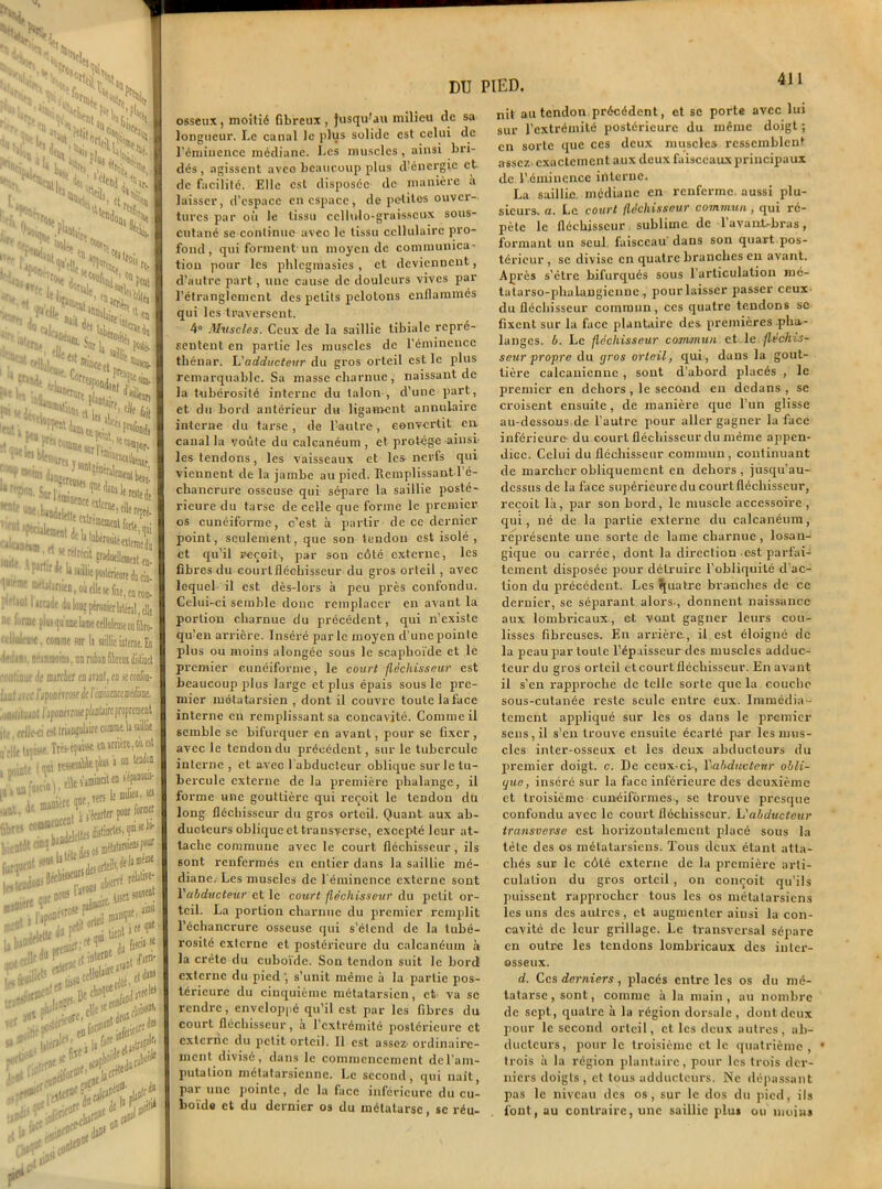 -VHm'V. *=■ s Ai. SX^SLN' Mw.Vl»? ^,p'hX. -, “!VV H. o, ■’ «*> SN S°rÏ^'Si • T Sojft* , wSÏÏSï 1»wme metaUfWB, où elle « &e, en, Mftaut 1 itcade do Iodî péronier latéral, ne lurmc plus qu'ane lame celluleuse ou lî «llulfuie, comme sur ls saillie interne <l(i|j!K s^inmoin». an mbin fibreudisi Je marefier en mol. eu ne, um.-vi w* «.--a-— aclleliptTrts-epàsse«B»n , pointe . t—:.\ e\\es'amincitei faso») sa i ua | v .„t. rers I fibres comi jodicent •23SP item *J , andelcltes distm #%£***. fufqUtr '««bisseurst 1^% && ,,r * rrietf*.®1 ter u flS1 . .... JiS^nriettf* litii P®' I,, en île»»1'5;' nU0{ll‘ ..,■0 DU PIED. osseux, moitié fibreux , Jusqu'au milieu de sa longueur. Le canal le plus solide est celui de l'éminence médiane. Les muscles, ainsi bri- dés, agissent aveo beaucoup plus d’énergie et. de facilité. Elle est disposée de manière à laisser, d’espace en espace, de petites ouver- tures par où le tissu ccllulo-graisscux sous- cutané se continue avec le tissu cellulaire pro- fond, qui forment un moyen de communica- tion pour les phlcgmasics , et deviennent, d’autre part, une cause de douleurs vives par l’étranglement des petits pelotons enflammés qui les traversent. 4° Muscles. Ceux de la saillie tibiale repré- sentent en partie les muscles de l’éminence thénar. L'adducteur du gros orteil est le plus remarquable. Sa masse charnue , naissant de la tubérosité interne du talon , d’une part, et du bord antérieur du ligament annulaire interne du tarse, de l’autre, convertit en canal la voùle du calcanéum, et protège-ainsi- les tendons, les vaisseaux et lc& nerfs qui viennent de la jambe au pied. Remplissant l’é- chancrure osseuse qui sépare la saillie posté- rieure du tarse de celle que forme le premier os cunéiforme, c’est à partir de ce dernier point, seulement, que son tendon est isolé , et qu’il reçoit, par son côté externe, les fibres du court fléchisseur du gros orteil, avec lequel il est dès-lors à peu près confondu. Celui-ci semble doue remplacer en avant la portion charnue du précédent, qui n’existe qu’en arrière. Inséré parle moyen d’unepointe plus ou moins alongée sous le scaphoïde et le premier cunéiforme, le court fléchisseur est beaucoup plus large et plus épais sous le pre- mier métatax-sien , dont il couvre toute la face interne en remplissant sa concavité. Comme il semble se bifurquer en avant, pour se fixer , avec le tendon du précédent, sur le tubercule interne , et avec l'abducteur oblique sur le tu- bercule externe de la première phalange, il forme une gouttière qui reçoit le tendon du long fléchisseur du gros orteil. Quant aux ab- duoteurs oblique et transverse, excepté leur at- tache commune avec le court fléchisseur, ils sont l'enfermés en entier dans la saillie mé- diane. Les muscles de l'éminence externe sont Y abducteur et le court fléchisseur du petit or- teil. La portion charnue du premier remplit l’échancrure osseuse qui s’étend de la tubé- rosité externe et postérieure du calcanéum à la crête du cuboïde. Son tendon suit le bord externe du pied ', s’unit même à la partie pos- térieure du cinquième métatarsien, et va se rendre, enveloppé qu’il est par les fibres du court fléchisseur, à l’extrémité postérieure et externe du petit orteil. Il est assez-ordinaire- ment divisé, dans le commencement de l’am- putation métatarsienne. Le second, qui naît, par une pointe, de la face inférieure du cu- boïde et du dernier os du métatarse, sc réu- nit au tendon précédent, et sc porte avec lui sur l’extrémité postérieure du même doigt ; en sorte que ces deux muscles ressemblent assez exactement aux deux faisceaux principaux de T éminence irtterne. La saillie, médiane en renferme, aussi plu- sieurs. a. Le court fléchisseur commun, qui ré- pète le fléchisseur sublime de l’avant-bras, formant un seul faisceau' dans son quart pos- térieur , sc divise en quatre branches en avant. Après s’être bifurqués sous l’articulation mé- tatarso-phalangienne , pour laisser passer ceux du fléchisseur commun, ces quatre tendons sc fixent sur la face plantaire des premières pha- langes. b. Le fléchisseur commun et le fléchis- seur propre du gros orteil, qui, dans la gout- tière calcanienne , sont d’abord placés , le premier en dehors , le second en dedans , se croisent ensuite, de manière que l’un glisse au-dessous de l’autre pour aller gagner la face inférieure- du court fléchisseur du même appen- dice. Celui du fléchisseur commun, continuant de marcher obliquement en dehors , jusqu’au- dessus de la face supérieure du court fléchisseur, reçoit là, par son bord, le muscle accessoire, qui, né de la partie externe du calcanéum, représente une sorte de lame charnue , losan- gique ou carrée, dont la direction est parfai- tement disposée pour détruire l’obliquité d’ac- tion du précédent. Les quatre branches de ce dernier, se séparant alors-, donnent naissance aux lombricaux, et vont gagner leurs cou- lisses fibreuses. En arrière, il est éloigné de la peau par toute l’épaisseur des muscles adduc- teur du gros orteil etcourt fléchisseur. En avant il s’en rapproche de telle sorte que la couche sous-cutanée reste seule entre eux. Immédia- tement appliqué sur les os dans le premier sens, il s’en trouve ensuite écarté par les mus- cles inter-osseux et les deux abducteurs du premier doigt, c. De ceux-ci, Yabductenr obli- que, inséré sur la face inférieure des deuxième et troisième cunéiformes, se trouve presque confondu avec le court fléchisseur. L'abducteur transverse est horizontalement placé sous la tête des os métatarsiens. Tous deux étant atta- chés sur le côté externe de la première arti- culation du gros orteil , on conçoit qu’ils puissent rapprocher tous les os métatarsiens les uns des autres, et augmenter ainsi la con- cavité de leur grillage. Le transversal sépare en outre les tendons lombricaux des inter- osseux. d. Ces derniers , placés entre les os du mé- tatarse , sont, comme à la main, au nombre de sept, quatre à la région dorsale, dont deux pour le second orteil, et les deux autres, ab- ducteurs, pour le troisième et le quatrième, trois à la région plantaire, pour les trois der- niers doigts, et tous adducteurs. Ne dépassant pas le niveau des os, sur le dos du pied, ils font, au contraire, une saillie plu» ou moins