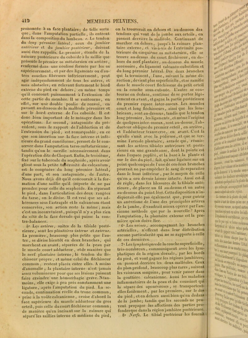 prononcée h sa face plantaire ; de telle sorte que , dans l’amputation partielle , ils entrent dans la composition du lambeau, o. Le tendon du loiuj péronier latéral, ceux du jambier antérieur et du jambier postérieur, doivent aussi être rappelés. Le premier , étendu de la rainure postérieure du cuboïde à la saillie que présente le premier os métatarsien en arrière, renfermé dans une coulisse formée par les os supérieurement, et par des ligaments ou d’au- tres couches fibreuses inférieurement, peut agir indépendamment de tous les autres, et sans obstacles, en relevant fortement le bord externe du pied en dehors , en même temps qu’il concourt puissamment à l’extension de cette partie du membre. 11 se contourne, en effet, sur une double poulie de renvoi, en passant au-dessous de la malléole péronière et sur le bord externe de l’os cuboïde. Il est donc bien important de le ménager dans les opérations. Le second, antagoniste du pré- cédent, sous le rapport de l’adduction et de l’extension du pied , est remarquable , en ce que son insertion sur la face interne et infé- rieure du grand cunéiforme , permet de le con- server dans l’amputation tarso-métatarsienne , tandis qu’on le sacrifie nécessairement dans l’opération dite deChopart. Enfin,le troisième, fixé sur le tubercule du scaphoïde, après avoir glissé sous la petite tubérosité du calcanéum , est le congénère du long péronier latéral, d’une part, et son antagoniste, de l’autre. Nous avons déjà dit qu’il concourait à la for- mation d’une saillie qu’il importe de ne pas prendre pour celle du scaphoïde. En séparant le pied, dans l’articulation des deux rangées du tarse, on le divise. Il est vrai que ses ad- hérences sous l’astragale et le calcanéum étant conservées, son action reste la même ; mais c’est un inconvénient, puisqu'il n’y a plus rien du côté de la face dorsale qui puisse la con- tre-balancer. 5° Les artères, suites de la tibiale posté- rieure , sont les plantaires interne et externe. La première, beaucoup plus petite que l’au- tre , se divise bientôt en deux branches, qui marchent en avant, séparées de la peau par le muscle court adducteur , ctde manière que le nerf plantaire interne, le tendon du flé- chisseur propre , et même celui du fléchisseur commun , restent placés entre elles. A moins d’anomalie , la plantaire interne n’est jamais assez volumineuse pour que ses lésions puissent faire craindre une hémorrhagie grave. Néan- moins , elle exige à peu près constamment une ligature, après l'amputation du pied. La se- conde, continuation réelle du tronc commun, • prise à la voûte calcanicnne , croise d’abord la face supérieure du muscle adducteur du gros orteil, puis celle du court fléchisseur commun; de manière qu’en incisant sur la rainure qui sépare'lcs saillies interne et médiane du pied, on la trouverait en dehors et au-dessous des tendons qui vont delà jambe aux orteils , eu passant derrière la malléole. Continuant de marcher en dehors , jusqu’à la rainure plan- taire externe, et vis-à-vis de 1 extrémité pos- térieure du cinquième os métatarsien, elle se trouve au-dessus du court fléchisseur , en de- 1 hors du nerf plantaire, au-dessous du muscle accessoire , du ligament calcanéo-cuboïdien et du long péronier latéral. Des deux branches qui la terminent, l’une, suivant la même di- rection , devient plus superficielle , etsc ramifie dans le muscle court fléchisseur du petit orteil ou la couche sous-cutanée. L’autre se con- tourne en dedans, continue de se porter légè- rement en avant, et gagne la partie postérieure du premier espace inter-osseux. Les muscles court et long fléchisseurs , ainsi que les loin- bricaux, sont au-dessous, tandis que le tendon long péronier, les ligaments , et même l’origine de quelques inter-osseux , sont au-dessus , l’ab- ducteur oblique du premier orteil, en arrière, et l’adducteur transverse, en avant. C’est là qu’elle s’unit avec la pédieuse, et que se ter- mine l’arcade plantaire, arcade qui, réunis- sant les artères tibiales antérieure et posté- rieure en une grande anse, dont la pointe est dans l’espace poplité, et la base à la plante et sur le dos du pied, fait qu’une ligature sur un point quelconque de l’une de ces deux branches pourrait ne pas empêcher le sang dereparailre dans le bout inférieur , par le moyen de celle qu’on a cru devoir laisser intacte. Aussi est-il de règle, dans les blessures de la tibiale anté- rieure , de placer un fil au-dessus et un autre au-dessous du point lésé. Cette disposition n’in- diquerait-ellc pas également que, pour guérir un anévrisme de l’une des principales artères de la jambe, il vaudrait mieux opérer par l’an- cienne méthode que par la nouvelle? Après l’amputation, la plantaire externe est la pre- mière qu’on doive lier. • 6° Les veines, accompagnant les branches artérielles, n’offrent dans leur distribution aucune particularité qui ne se rapporte à celle de ces dernières. 7° Les lymphatiques de la couche superficielle, très-nombreux, communiquent avec les lym- phatiques de la région dorsale, par les bords du pied, et vont gagner les régions jambières, en passant derrière les deux malléoles. Ceux du plan profond, beaucoup plus rares , suivent les vaisseaux sanguins, pour venir passer dans la gouttière calcanicnne. Aussi les maladies inflammatoires de la peau et du coussinet qui la sépare des aponévroses , se transportent- elles facilement, par les premiers, sur le dos du pied, et en dehors aussi bien qu’en dedans delà jambe; tandis que les seconds ne peu- vent propager les affections des parties pro- fondes que dans la région jambière postérieure. 8» Nerfs. Le tibial postérieur les fournit y de >• eiif> 11 c..; jatùÿ ■u ,lleil*s :Ï4:; la artères,»  médian le fal| * toujours atteintes les vaisseaux. 0 ne et les uoiubrci la couche souH