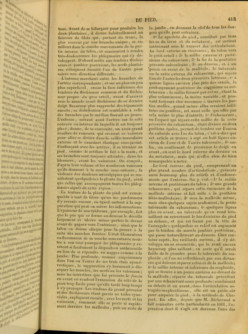 % ’V. NN'Av q‘f{, ^ Js> S*°!H ,1 :t ' Sl t{ ■v.:H V'^e Stï* ^ I JH. ‘T: ■, K, tolNh H. 4 _%e]ltai>(rk ?*SÏT ,%w“ ^H.i, ***%! ,.•„.• ’*’ttiicld Vb^L- 17*0«-i,t1|]*?“e.ltilaa- itute ?®e/on^ae I  '^«^7^1 ,K*^4;s U*«1B rvlil;.. . ■st«,a tt “luell ®a« lire ^ni lofue,p^ü,. ^^^poùleej v,lin,„.| ^ j “*> îu tue laitue ar on • 'P’i'.'ü'jueile I uiedcceidm tanclej :ou,rjl1 M [i>«iap«cli(t It srç denpmiire llJüi ■' ‘“Jllt wfioeur, par le nojcn de celle tj en i cru tlevoer Liiier îûücle. Aussi est-il 1^ wlf. déni les blessures de Ltibialeaolé- rieure, de placer an fil ainJessus et un autre r, iL'i'Uj du point lésé.Cellcéiipo!ilioiiiiiü- Ihjudjil-elle pu égilemtnt çue.pourjuéric n juerriaM de 1 une des principales artères - h ijmbe. ilviudraitmieuiopércrprVan- :l,ne imlbodt qutprU nouscUc: Apr« impuUtion, \s çl»nUire niert qu'on doive lier- ■ 6, Les eitcxne est la fte-l SDant les irtérielte'a0.. . le ces de»** a-1, fouchesupufi1 *rW“è.l»tasecfeHI les| usii^ ,, pùaF **£***£■ , *^7deUP*“ * V* Jp'he- ttH* j* W‘ DU tous. Avant de se bifurquer pour produire les deux plantaires , il donne habituellement un faisceau de filets qui, partant du tronc, le plus souvent par une branche unique , se ra- mifient dans la couche sous-cutanée de la par- tie interne du talon, et concourent à rendre très-douloureuses les phlcgmasics qui s’y dé- veloppent. D'abord mêlés aux tendons fléchis- seurs et jainbicr postérieur, les nerfs plantai- res s’éloignent bientôt l’un de l’autre pour- suivre une direction différente. L’interne marchant entre les branches de l’artére correspondante , et sur un plan un peu plus superficiel, croise la face inférieure des tendons du fléchisseur commun et du fléchis- seur propre du gros orteil, avant d’arriver sous le muscle court fléchisseur de ce dernier doigt. Beaucoup plus rapproché des téguments ensuite, sa distribution est semblable à celle des branches que le médian fournit au pouce. L’externe, suivant aussi l’artère sur le côté concave ou interne de laquelle il est toujours placé , donne , de sa convexité, un assez grand nombre de rameaux qui croisent ce vaisseau pour aller se diviser dans la saillie musculaire externe et le coussinet élastique sous-jacent. S'enfonçant avec les artères , il se termine au pied, comme le médian le fait à la main, et ses branches sont toujours atteintes, dans les blessures, avant les vaisseaux. On conçoit, d’après leur volume et les nombreux rameaux qu’ils donnent à la couche sous-cutanée , la violence des douleurs névralgiques qui se ma- nifestent quelquefois à la plante du pied, ainsi que celles qui accompagnent toutes les phlcg- masies aiguës de cette région. La texture de la plante du pied est remar- quable à tant de titres qu’on me pardonnera d’y revenir encore, eu égard surtout à la sup- puration qui peut en suivre les inflammations. L’épaisseur de son épiderme, par exemple, fait que le pus qui se forme au-dessous le décolle largement et ulcère même parfois le derme avant de gagner vers l’extérieur, ainsi que le talon en donne chaque jour la preuve à la suite des marches forcées. L’état filamenteux ou floconneux de sa couche sous-cutanée mon- tre à son tour pourquoi les phlcgmasics y re- vêtent si facilement la disposition anlhracoïde au lieu de se répandre en nappes comme à la jambe. Plus profonde, comme emprisonnée dans 1 un ou l’autre de scs trois étuis aponé- vrotiques , la suppuration s’y bornerait à dis- séquer les fnuscles, les nerfs ou les vaisseaux ; mais les interstices que lui présente le fciscia en avant en rendent l’extension du côté de la peau trop facile pour qu’elle tarde long-temps à s’y propager. Les tendons du grand péronier et des fléchisseurs étant garnis ne toiles syno- viales , expliquent ensuite , avec les nerfs et les vaisseaux, comment elle se porte si rapide- ment derrière les malléoles , puis au reste de PIED. 413 la jambe , en donnant la clef de tous les dan- gers qu’elle peut entraîner. 9° Le squelette du pied, constitué par tous les os du tarse et du métatarse , est surtout intéressant sous le rapport des articulations. Au bord externe on rencontre , du talon vers le petit orteil .•- 1“ la saillie externe et posté- rieure du calcanéum; 2° la fin de la gouttière péronéo- ou Iranienne ; 3“ au-dessous, et à un pouce en avant de la malléole, le tubercule ou la crête externe du calcanéum, qui sépare lundc l'autre les deux péroniers latéraux ;4u a quinze lignes environ plus près des orteils, le prolongement postérieur du cinquième os mé- tatarsien : la saillie formée par cet os , étant la. plus volumineuse , la moins variable , et pou- vant toujours être reconnue à travers les par- ties molles , quand même elles seraient infil- trées ou gonflées, est aussi celle qui offre par cela même le plus d’intérêt; 5° l’échancrure , ou l’espace qui sépare celle saillie de la crête péronière du calcanéum , étant divisée en deux portions égales, permet de tomber sur l’union du cuboïde avec l’os du talon, c’est-à-dire que cet article se trouve à sept ou huit lignes en- viron de l’une et de l’autre tubérosité; 6° en- fin, en continuant de promener le doigt en avant, on sent le bord externe du dernier os du métatarse, mais qui n’offre rien de bien remarquable à noter. Le bord interne du pied, comprenant un plus grand nombre d’articulations , présente aussi beaucoup plus de reliefs et d’enfonce- ments que l’externe. On y voit : 1° la saillie interne et postérieure du talon ; 2° une grande échancrure , qui sépare cette éminence de la malléole interne et fait suite à la gouttière tibio-malléolaire ; 3° sous la malléole même , mais chez quelques sujets seulement, la petite tubérosité du calcanéum ; 4° quelques ligues plus en avant, un tubercule qu’on rend très- saillant en renversant le bord externe du pied en dehors, et qui est formé par la tête de l’astragale : quelquefois ce relief est augmenté par le tendon du muscle jainbicr postérieur, qui passe naturellement au-dessous. Chez cer- tains sujets, les vieillards surtout, il s’y dé- veloppe un os sésamoïde, qui le rend cucore beaucoup plus saillant ; en sorte qu’il serait facile de le prendre pour le tubercule du sca- phoïde , si l’on ne réfléchissait pas aux distan- ces qui doivent séparer celui-ci de la malléole; 5“ la saillie interne et inférieure du scaphoïde, qui se trouve à un pouce environ au-devant de la malléole , séparée du tubercule précédent par une échancrure assez profonde : conduisant en dehors et en avant, dans l’articulation as- tragalo-scaphoïdicnnc , clic est un guide sûr pour amputer le pied, à la méthode de Cho- part. En effet, depuis que M. hichcrand a fait connaître cette particularité en 1801, l’o- pération dont il s’agit est devenue l’une des