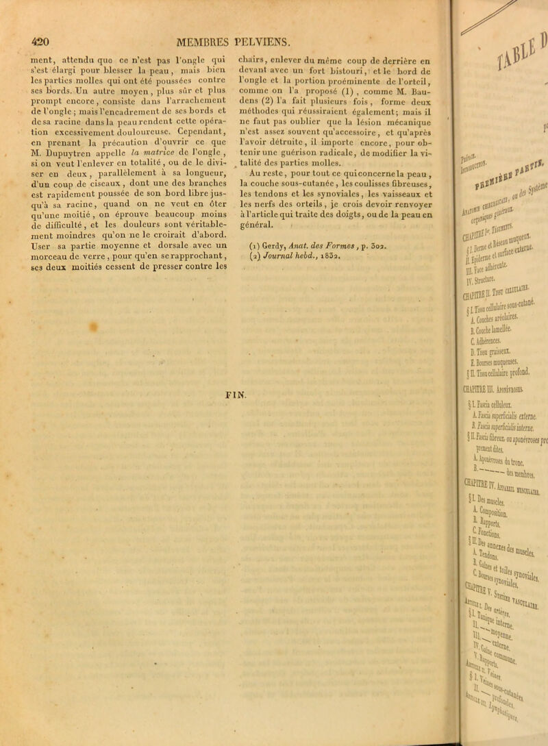 ment, attendu que ce n’est pas l'ongle qui s’est élargi pour blesser la peau, mais bien les parties molles qui ont été poussées contre ses biords. Un autre moyen, plus sûr et plus prompt encore, consiste dans l'arrachement de l’ongle; mais l’encadrement de scs bords et de sa racine dans la peau rendent cette opéra- tion excessivement douloureuse. Cependant, en prenant la précaution d’ouvrir ce que M. Dupuytrcn appelle la matrice de l’ongle , si on veut l’enlever en totalité, ou de le divi- ser en deux, parallèlement à sa longueur, d’un coup de ciseaux, dont une des branches est rapidement poussée de son bord libre jus- qu’à sa racine, quand on ne veut en ôter qu’une moitié , on éprouve beaucoup moins de difficulté, et les douleurs sont véritable- ment moindres qu’on ne le croirait d’abord. User sa partie moyenne et dorsale avec un morceau de verre , pour qu’en se rapprochant, ses deux moitiés cessent de presser contre les chairs, enlever du même coup de derrière en devant avec un fort bistouri, et le bord de l’ongle et la portion proéminente de l’orteil, comme on l’a proposé (1) , comme M. Bau- dens (2) l’a fait plusieurs fois , forme deux méthodes qui réussiraient également; mais il ne faut pas oublier que la lésion mécanique n’est assez souvent qu’accessoire , et qu’après l’avoir détruite, il importe encore, pour ob- tenir une guérison radicale, de moditicr lavi- talité des parties molles. Au reste, pour tout ce quiconcernela peau , la couche sous-cutanée , les coulisses fibreuses, les tendons et les synoviales, les vaisseaux et les nerfs des orteils, je crois devoir renvoyer à l’article qui traite des doigts, ou de la peau en général. (x) Gertly, Allât, des Formes, p. 3o2. (a) Journal hebd., i832. fA Bit * , ,»»*■ 0. îiirfrf' lésen®^ , ! surface»^' italien1111' C. Adhérences. D. Tissu graisseux. E. Bourses muqueuses. FIN. CHiîïïBEIII. Ansmosis § 1. Fascia celluleux. À. Fascia superficialis citerne. IFuciaaperSmliiinttnie, § II. Fascia fiireui ou aponévroses pro pensent dites, ^IV.Amuu Si] A WWMM, CJWüou,