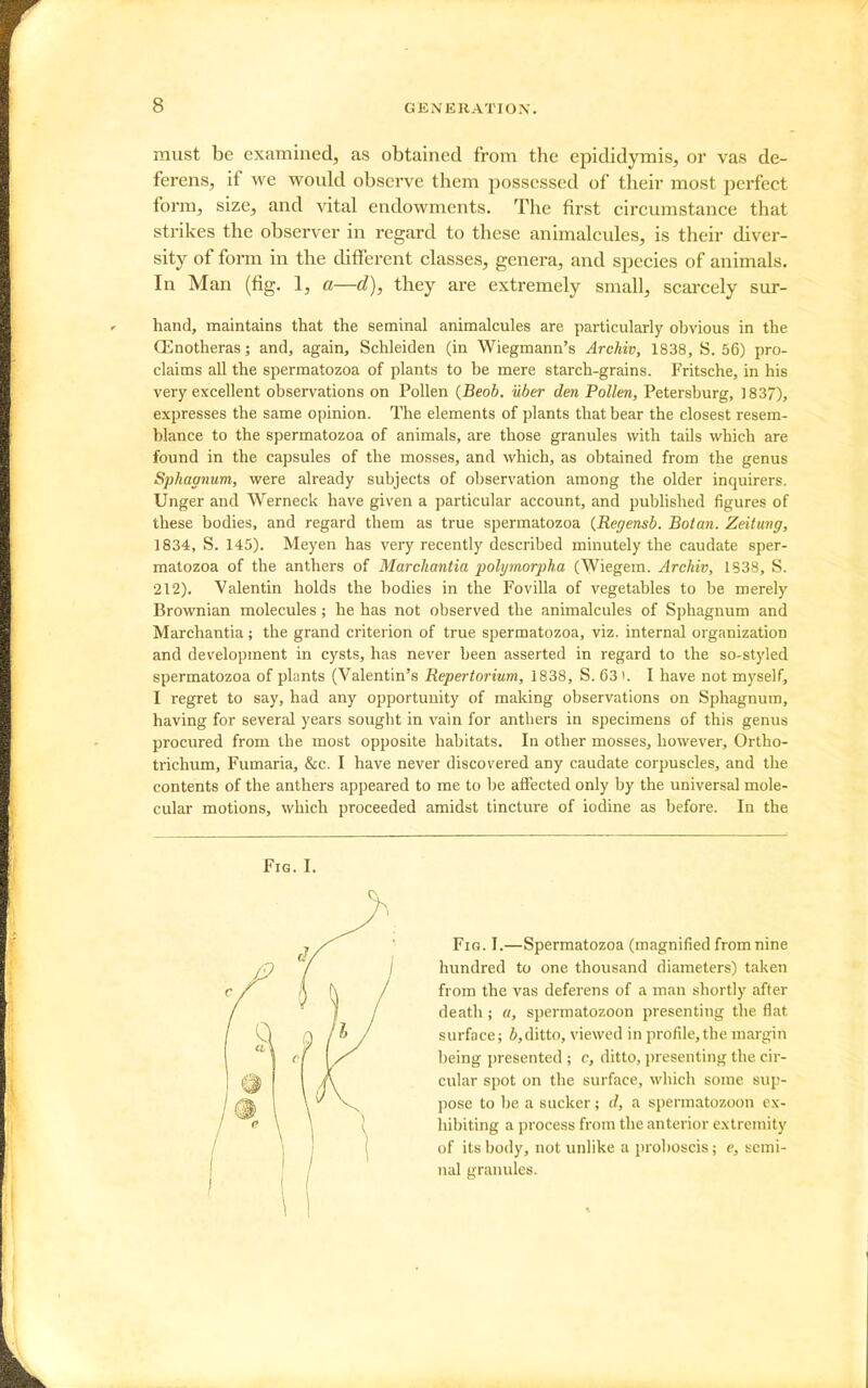 must be examined, as obtained from the ei^ididymis, or vas de- ferens, if we would observe them possessed of their most perfect form, size, and vital endowments. The first circumstance that strikes the observer in regard to these animalcules, is their diver- sity of form in the chfferent classes, genera, and species of animals. In Man (fig. 1, a—d), they are extremely small, scarcely sur- hand, maintains that the seminal animalcules are particularly obvious in the Oenotheras; and, again, Schleiden (in Wiegmann's Archiv, 1838, S. 56) pro- claims all the spermatozoa of plants to be mere starch-grains. Fritsche, in his very excellent observations on Pollen {Beoh. iiber den Pollen, Petersburg, 1837), expresses the same opinion. The elements of plants that bear the closest resem- blance to the spermatozoa of animals, are those granules with tails which are found in the capsules of the mosses, and which, as obtained from the genus Sphagnum, were already subjects of observation among the older inquirers. Unger and Werneck have given a particular account, and published figures of these bodies, and regard them as true spermatozoa {Regensb. Botan. Zeitung, 1834, S. 145). Meyen has very recently described minutely the caudate sper- matozoa of the anthers of Marchantia polymorpha (Wiegem. Archiv, 1838, S. 212). Valentin holds the bodies in the Fovilla of vegetables to be merely Brownian molecules; he has not observed the animalcules of Sphagnum and Marchantia; the grand criterion of true spermatozoa, viz. internal organization and development in cysts, has never been asserted in regard to the so-styled spermatozoa of plants (Valentin's Repertorium, 1838, S. 63). I have not myself, I regret to say, had any opportunity of making observations on Sphagnum, having for several years sought in vain for anthers in specimens of this genus procured from the most opposite habitats. In other mosses, however, Ortho- trichum, Fumaria, &c. I have never discovered any caudate corpuscles, and the contents of the anthers appeared to me to be affected only by the universal mole- cular motions, which proceeded amidst tincture of iodine as before. In the Fig. I. Fig. I.—Spermatozoa (magnified from nine hundred to one thousand diameters) taken from the vas deferens of a man shortly after death; a, spermatozoon presenting the flat surface; 6,ditto, viewed in profile,the margin being presented ; c, ditto, presenting the cir- cular spot on the surface, which some sup- pose to be a sucker; d, a spermatozoon ex- hibiting a process from the anterior extremity of its body, not unlike a proboscis; e, semi- nal granules.