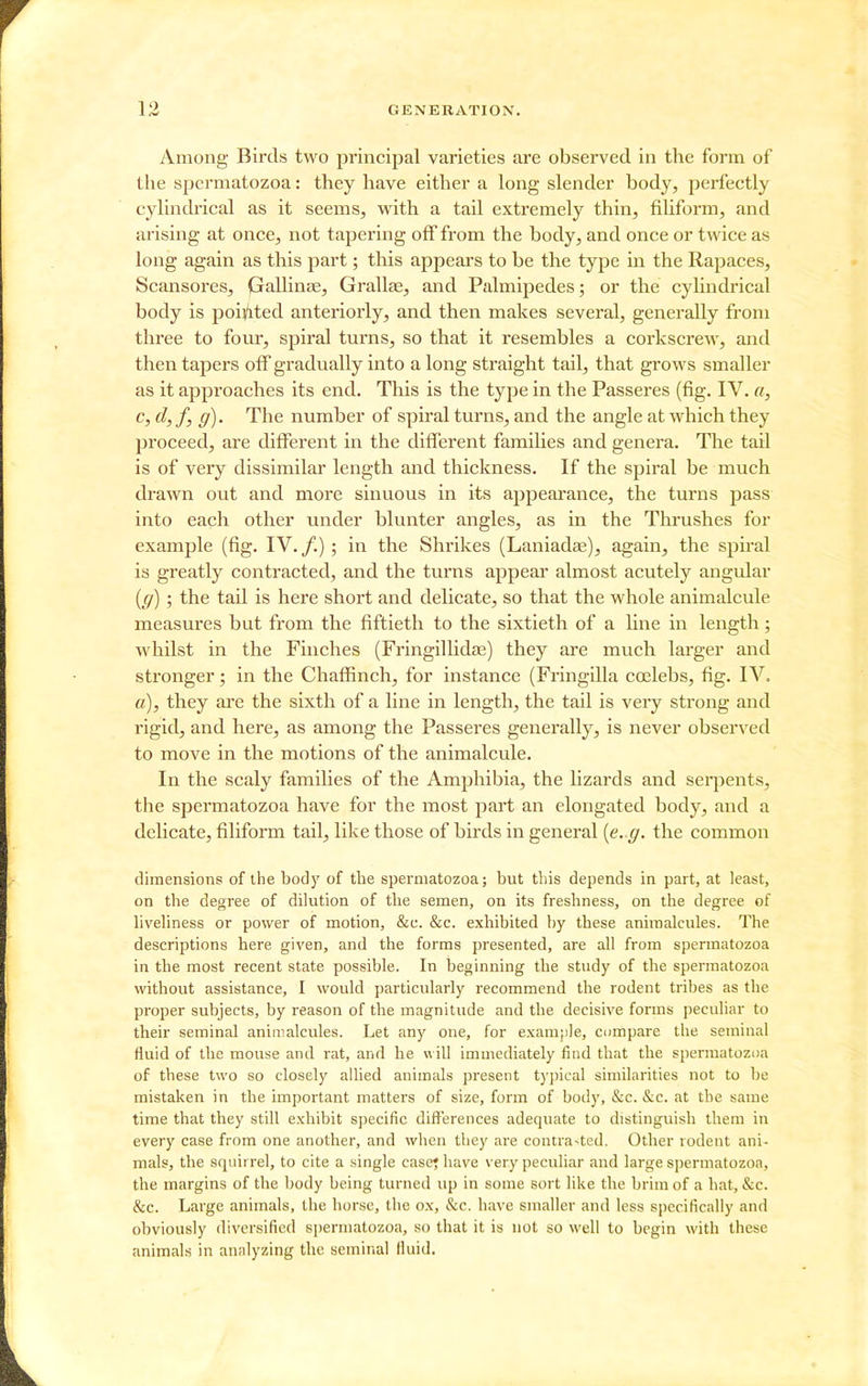 Among Birds two principal varieties are observed in the form of the spermatozoa: they have either a long slender body, perfectly cylindrical as it seems, with a tail extremely thin, fiUform, and ai'ising at once, not tapering off from the body, and once or twice as long again as this part; this appears to be the type in the Rapaces, Scansores, pallinse, Grallas, and Palmipedes; or the cylindrical body is poij/ited anteriorly, and then makes several, generally from three to four, spiral turns, so that it resembles a corkscrew, and then tapers off gradually into a long straight tail, that grows smaller as it approaches its end. This is the type in the Passeres (fig. IV. a, c, d,f, g). The number of spiral turns, and the angle at wdiich they proceed, are different in the different families and genera. The tail is of very dissimilar length and thickness. If the spiral be much drawn out and more sinuous in its appearance, the turns pass into each other under blunter angles, as in the Thrushes for example (fig. IV./.) ; in the Shrikes (Laniadae), again, the spiral is greatly contracted, and the turns appear almost acutely angular [g]; the tail is here short and delicate, so that the whole animalcule measures but from the fiftieth to the sixtieth of a line in length; whilst in the Finches (Fringillidaj) they are much larger and stronger; in the Chaffinch, for instance (Fringilla coelebs, fig. IV. a), they are the sixth of a line in length, the tail is very strong and rigid, and here, as among the Passeres generally, is never observed to move in the motions of the animalcule. In the scaly families of the Amphibia, the lizards and serpents, the spermatozoa have for the most part an elongated body, and a delicate, filiform tail, like those of birds in general [e. g. the common dimensions of die body of the spermatozoa; but this depends in part, at least, on the degree of dilution of the semen, on its freshness, on the degree of hveliness or power of motion, &c. &c. exhibited by these animalcules. The descriptions here given, and the forms presented, are all from spermatozoa in the most recent state possible. In beginning the study of the spermatozoa without assistance, I would particularly recommend the rodent tribes as the proper subjects, by reason of the magnitude and the decisive forms peculiar to their seminal animalcules. Let any one, for example, cumpare the seminal fluid of the mouse and rat, and he will immediately find that the spermatozoa of these two so closely allied animals present typical similarities not to be mistaken in the important matters of size, form of body, &c. &c. at the same time that they still exhibit specific differences adequate to distinguish them in every case from one another, and when they are contra-ted. Other rodent ani- mals, the srpiirrel, to cite a single case? have very peculiar and large spermatozoa, the margins of the body being turned up in some sort like the brim of a hat, &c. &c. Large animals, the horse, the ox, &c. have smaller and less specifically and obviously diversified spermatozoa, so that it is not so well to begin with these animals in analyzing the seminal fluid.