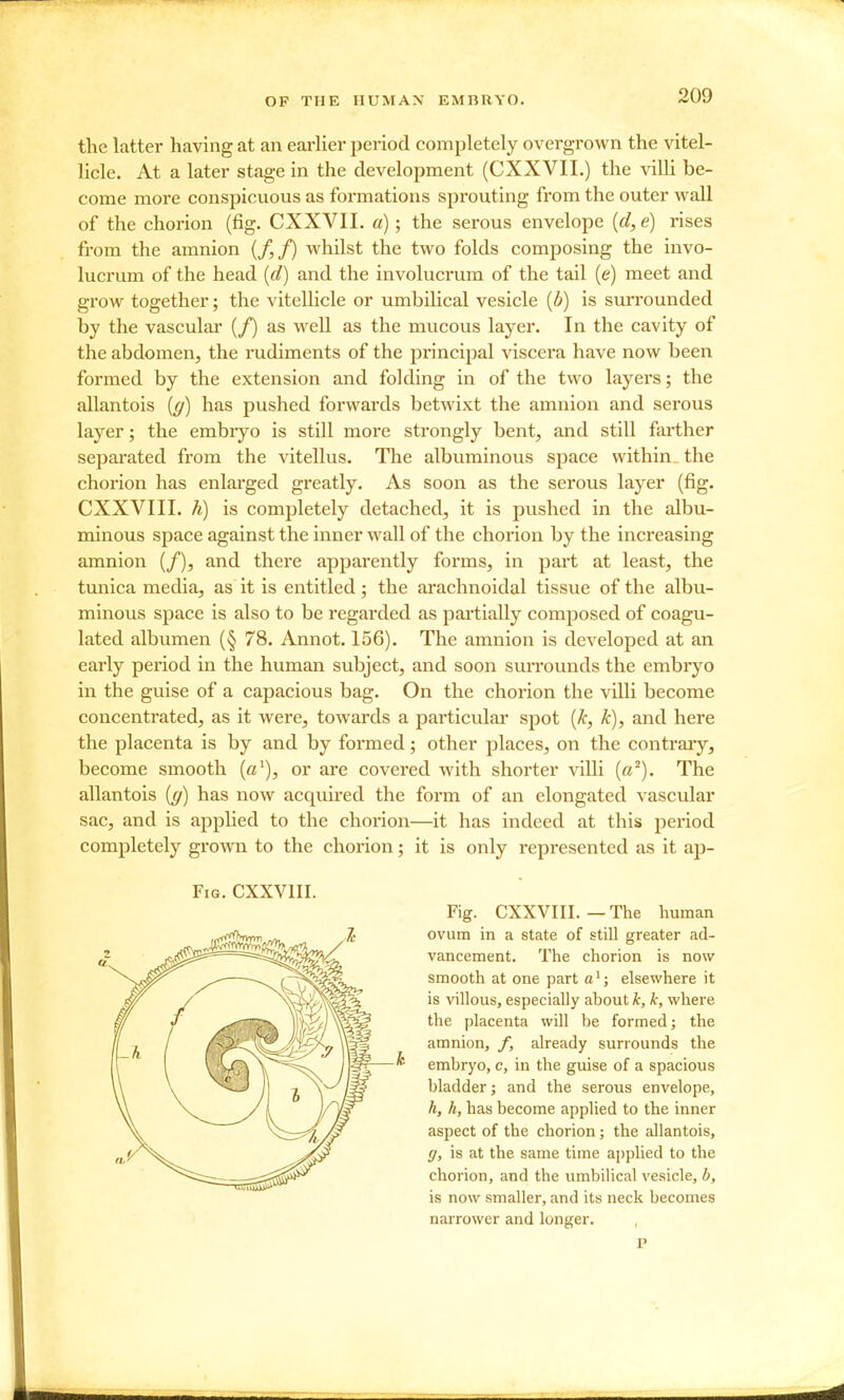 the latter having at an earlier period completely overgrown the vitel- licle. At a later stage in the development (CXXVII.) the villi be- come more conspicuous as formations sprouting from the outer wall of the chorion (fig. CXXVII. a); the sei'ous envelope {d,e) rises from the amnion (/,/) whilst the two folds composing the invo- lucrum of the head {d) and the involucrum of the tail (e) meet and grow together; the vitellicle or umbilical vesicle {b) is sun-ounded by the vascular (/) as well as the mucous layer. In the cavity of the abdomen, the rudiments of the principal viscera have now been formed by the extension and folding in of the two layers; the allantois {g) has pushed forwards betwixt the amnion and serous layer; the embryo is still more strongly bent, and still farther separated from the vitellus. The albuminous space within the chorion has enlarged greatly. As soon as the serous layer (fig. CXXVIII. h) is completely detached, it is pushed in the albu- minous space against the inner wall of the chorion by the increasing amnion (/), and there apparently forms, in part at least, the tunica media, as it is entitled ; the arachnoidal tissue of the albu- minous space is also to be regarded as partially composed of coagu- lated albumen (§ 78. Annot. 156). The amnion is developed at an early period in the human subject, and soon surrounds the embryo in the guise of a capacious bag. On the chorion the villi become concentrated, as it were, towards a particular spot {k, k), and here the placenta is by and by formed; other places, on the contrary, become smooth (c'), or are covered with shorter villi (a^). The allantois (ff) has now acquired the form of an elongated vascular sac, and is applied to the chorion—it has indeed at this period completely grown to the chorion; it is only represented as it ap- FiG. CXXVIII. Fig. CXXVIII.—The human ovum in a state of still greater ad- vancement. The chorion is now smooth at one part a'; elsewhere it is villous, especially ahout k, k, where the placenta will be formed; the amnion, /, already surrounds the embryo, c, in the guise of a spacious bladder; and the serous envelope, h, h, has become applied to the inner aspect of the chorion; the allantois, (/, is at the same time applied to the chorion, and the umbilical vesicle, b, is now smaller, and its neck becomes narrower and longer. P