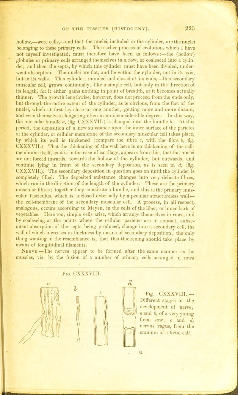 hollow,—were cells,—and that the nuclei, included in the cylinder, are the nuclei belonging to these primary cells. The earlier process of evolution, which I have not myself investigated, must therefore have been as follows:—the (hollow) globules or primary cells arranged themselves in a row, or coalesced into a cylin- der, and then the septa, by which this cyhnder must have been divided, under- went absorption. The nuclei are flat, and lie within the cylinder, not in its axis, but in its walls. This cylinder, rounded and closed at its ends,—this secondary muscular cell, grows continually, like a simple cell, but only in the direction of its length, for it either gains nothing in point of breadth, or it becomes actually thinner. The growth lengthwise, however, does not proceed from the ends only, but through the entire e.xtent of the cylinder, as is obvious, from the fact of the nuclei, which at first lay close to one another, getting more and more distant, and even themselves elongating often in no inconsiderable degree. In this way, the muscular bundle a, (fig. CXXXVII.) is changed into the bundle b. At this period, the deposition of a new substance upon the inner surface of the parietes of the cylinder, or cellular membrane of the secondary muscular cell takes place, by which its wall is thickened (compare the fibre c, with the fibre b, fig. CXXXVII.) That the thickening of the wall here is no thickening of the cell- membrane itself,'as it is in the case of cartilage, appears from this, that the nuclei are not forced inwards, towards the hollow of the cylinder, but outwards, and continue lying in front of the secondary deposition, as is seen in d, (fig. CXXXVII.). The secondary deposition in question goes on until the cylinder is completely filled. The deposited substance changes into very delicate fibres, which run in the direction of the length of the cylinder. These are the primary muscular fibres; together they constitute a bundle, and this is the primary mus- cular fasciculus, which is inclosed externally by a peculiar structureless wall— the cell-membrane of the secondary muscular cell. A process, in all respect, analogous, occurs according to Meyen, in the cells of the liber, or inner bark of vegetables. Here loo, simple cells arise, which arrange themselves in rows, and by coalescing at the points where the cellular parietes are in contact, subse- quent absorption of the septa being produced, change into a secondary cell, the wall of which increases in thickness by means of secondary deposition; the only thing wanting in the resemblance is, that this thickening should take place by means of longitudinal filaments. Nerve.—The nerves appear to be formed after the same manner as the muscles, viz. by the fusion of a number of primary cells arranged in rows Fig. CXXXVIII. u a and b, of a very young \ / foetal sow; c and d. '> cranium of a foetal calf. nervus vagus, from the Fig. CXXXVIII.— Different stages in the development of nerve; Q