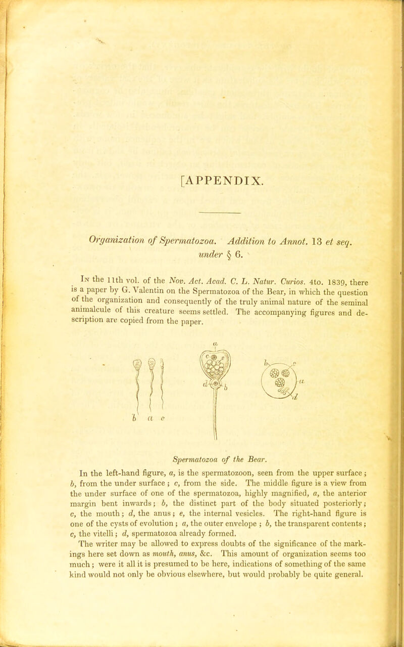 •Ss. [APPENDIX. Organization of Spermatozoa. Addition to Annot. 13 seq. under § 6, In the nth vol. of the Nov. Act. Acad. C. L. Natur. Curios. 4to. 1839, there IS a paper by G. Valentin on the Spermatozoa of the Bear, in which the question of the organization and consequently of the truly animal nature of the seminal animalcule of this creature seems settled. The accompanying figures and de- scription are copied from the paper. a Spermatozoa of the Bear. In the left-hand figure, a, is the spermatozoon, seen from the upper surface; b, from the under surface ; c, from the side. The middle figure is a view from the under surface of one of the spermatozoa, highly magnified, a, the anterior margin bent inwards; b, the distinct part of the body situated posteriorly; c, the mouth; d, the anus; e, the internal vesicles. The right-hand figure is one of the cysts of evolution; a, the outer envelope ; b, the transparent contents; c, the vitelli; d, spermatozoa already formed. The writer may be allowed to express doubts of the significance of the mark- ings here set down as mouth, anus, &c. This amount of organization seems too much; were it all it is presumed to be here, indications of something of the same kind would not only be obvious elsewhere, but would probably be quite general. J