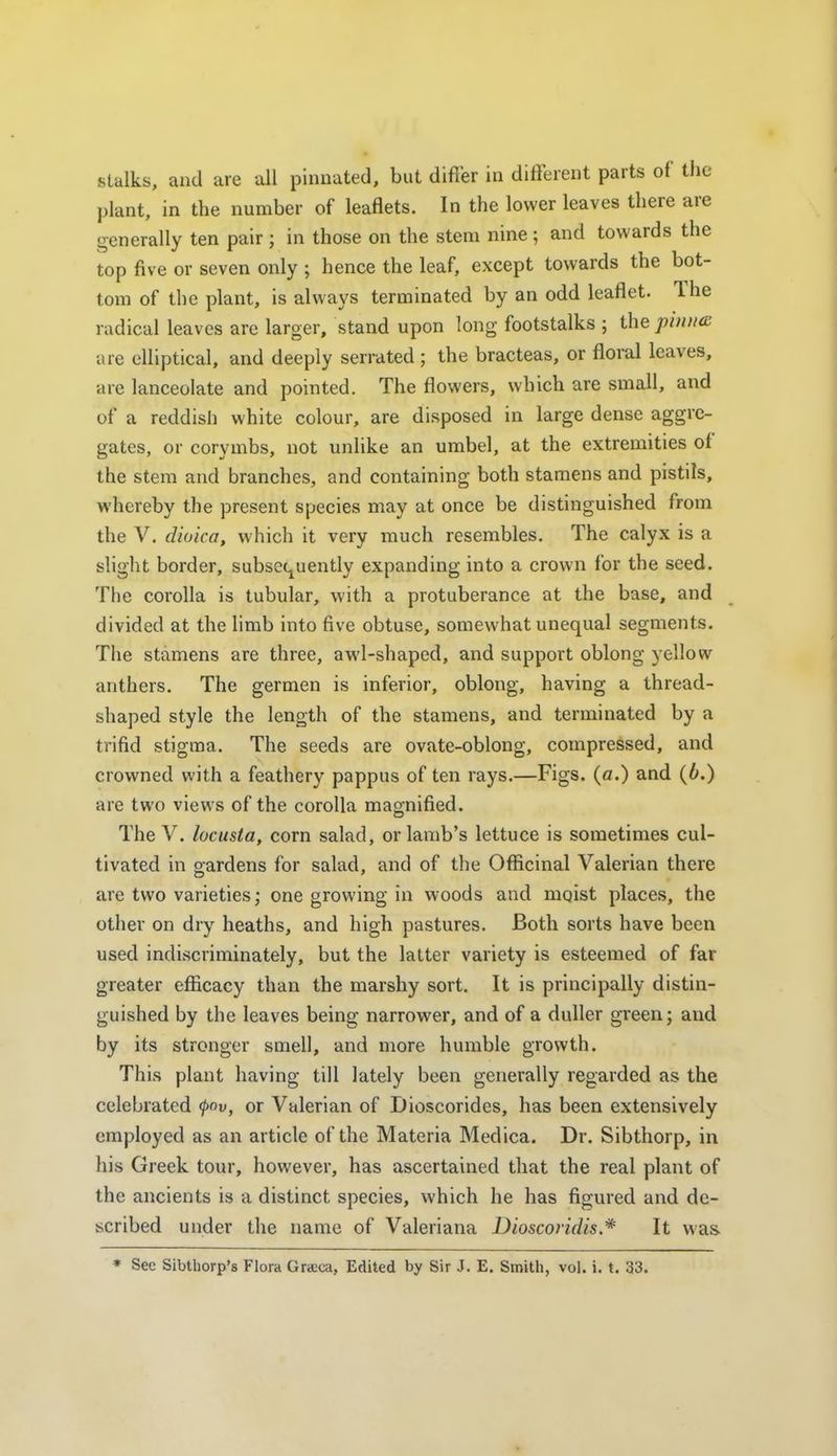 stalks, aiid are all pinuated, bul difier in different parts of the plant, in the number of leaflets. In the lower leaves there are generally ten pair ; in those on the stem nine ; and towards the top five or seven only ; hence the leaf, except towards the bot- tom of the plant, is always terminated by an odd leaflet. The radical leaves are larger, stand upon long footstalks ; the pinna are elliptical, and deeply serrated ; the bracteas, or floral leaves, are lanceolate and pointed. The flowers, which are small, and of a reddish white colour, are disposed in large dense aggre- gates, or corymbs, not unlike an umbel, at the extremities of the stem and branches, and containing both stamens and pistils, whereby the present species may at once be distinguished from the V. dioica, which it very much resembles. The calyx is a slight border, subscc^uently expanding into a crown for the seed. The corolla is tubular, with a protuberance at the base, and divided at the limb into five obtuse, somewhat unequal segments. The stamens are three, awl-shaped, and support oblong yellow anthers. The germen is inferior, oblong, having a thread- shaped style the length of the stamens, and terminated by a trifid stigma. The seeds are ovate-oblong, compressed, and crowned with a feathery pappus of ten rays.—Figs, (a.) and (6.) are two views of the corolla magnified. The V. locusta, corn salad, or lamb's lettuce is sometimes cul- tivated in gardens for salad, and of the OflScinal Valerian there are two varieties; one growing in woods and mqist places, the other on dry heaths, and high pastures. Both sorts have been used indiscriminately, but the latter variety is esteemed of far greater efficacy than the marshy sort. It is principally distin- guished by the leaves being narrower, and of a duller green; and by its stronger smell, and more humble growth. This plant having till lately been generally regarded as the celebrated (pov, or Valerian of Dioscorides, has been extensively employed as an article of the Materia Medica. Dr. Sibthorp, in his Greek tour, however, has ascertained that the real plant of the ancients is a distinct species, which he has figured and de- scribed under the name of Valeriana Dioscoridis.* It was. * Sec Sibthorp's Flora Graeca, Edited by Sir J. E. Smith, vol. i. t. 33.
