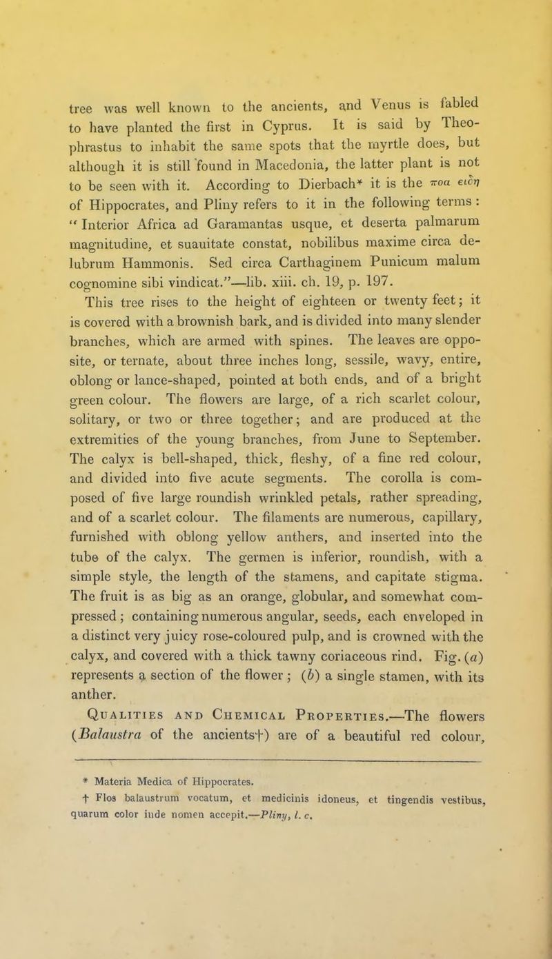 tree was well known to the ancients, and Venus is fabled to have planted the first in Cyprus. It is said by Theo- phrastus to inhabit the same spots that the myrtle does, but although it is still found in Macedonia, the latter plant is not to be seen with it. According to Dierbach* it is the ^oa eicrj of Hippocrates, and Pliny refers to it in the following terms :  Interior Africa ad Garamantas usque, et deserta palmarum magnitudine, et suauitate constat, nobilibus maxime circa de- lubrum Hammonis. Sed circa Carthaginem Punicum malum cognomine sibi vindicat.—^lib. xiii. ch. 19, p. 197. This tree rises to the height of eighteen or twenty feet; it is covered with a brownish bark, and is divided into many slender branches, which are armed with spines. The leaves are oppo- site, or ternate, about three inches long, sessile, wavy, entire, oblong or lance-shaped, pointed at both ends, and of a bright green colour. The flowers are large, of a rich scarlet colour, solitary, or two or three together; and are produced at the extremities of the young branches, from June to September. The calyx is bell-shaped, thick, fleshy, of a fine red colour, and divided into five acute segments. The corolla is com- posed of five large roundish wrinkled petals, rather spreading, and of a scarlet colour. The filaments are numerous, capillary, furnished with oblong yellow anthers, and inserted into the tube of the calyx. The germen is inferior, roundish, with a simple style, the length of the stamens, and capitate stigma. The fruit is as big as an orange, globular, and somewhat com- pressed; containing numerous angular, seeds, each enveloped in a distinct very juicy rose-coloured pulp, and is crowned with the calyx, and covered with a thick tawny coriaceous rind. Fig. (a) represents a section of the flower ; (6) a single stamen, with its anther. Qualities and Chemical Properties.—The flowers {Balaustra of the ancientsf) are of a beautiful red colour. * Materia Medica of Hippocrates. t Flos balaustium vocatum, et medicinis idoneus, et tingendis vestibus, quarum color iude nonien accepit.—Pliny, I. c.