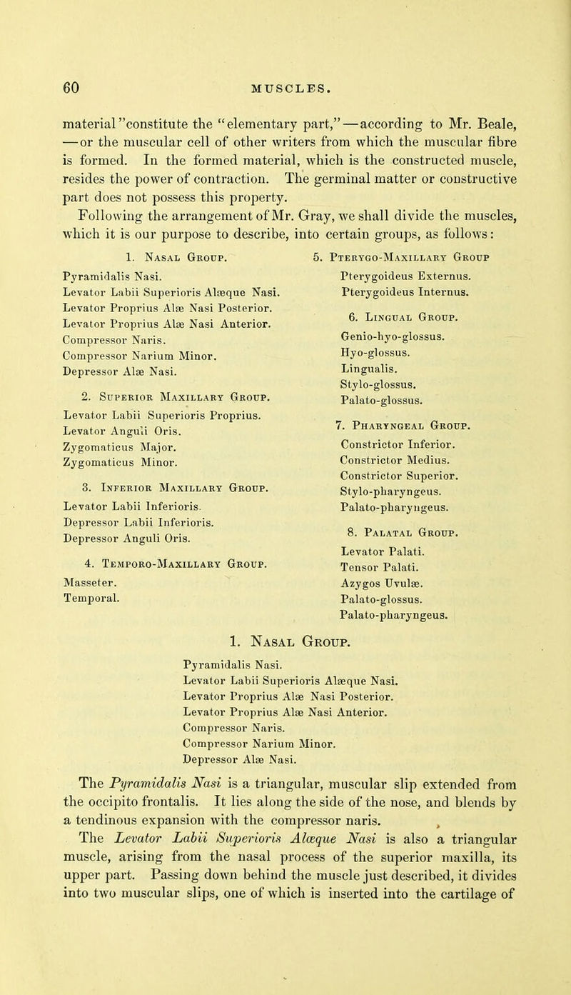 material constitute the elementary part,—according to Mr. Beale, —or the muscular cell of other writers from which the muscular fibre is formed. In the formed material, which is the constructed muscle, resides the power of contraction. The germinal matter or constructive part does not possess this property. Following the arrangement of Mr. Gray, we shall divide the muscles, which it is our purpose to describe, into certain groups, as follows: 1. Nasal Geoup. Pyramidalis Nasi. Levator Labii Superioris Alasque Nasi. Levator Proprius Alas Nasi Posterior. Levator Proprius Alas Nasi Anterior. Compressor Naris. Compressor Narium Minor. Depressor Aloe Nasi. 2. Superior Maxillary Group. Levator Labii Superioris Proprius. Levator Anguli Oris. Zygomaticus Major. Zygomaticus Minor. 3. Inferior Maxillary Group. Levator Labii Inferioris. Depressor Labii Inferioris. Depressor Anguli Oris. 4. Temporo-Maxillary Group. Masseter. Temporal. 5. Pterygo-Maxillary Group Pterygoideus Externus. Pterygoideus Internus. 6. Lingual Group. Genio-hyo-glossus. Hyo-glossus. Lingualis. Stylo-glossus. Palato-glossus. 7. Pharyngeal Group. Constrictor Inferior. Constrictor Medius. Constrictor Superior. Stylo-pharyngeus. Palato-pharyngeus. 8. Palatal Group. Levator Palati. Tensor Palati. Azygos Uvulae. Palato-glossus. Palato-pharyngeus. 1. Nasal Group. Pyramidalis Nasi. Levator Labii Superioris Alseque Nasi. Levator Proprius Alas Nasi Posterior. Levator Proprius Alas Nasi Anterior. Compressor Naris. Compressor Narium Minor. Depressor Alas Nasi. The Pyramidalis Nasi is a triangular, muscular slip extended from the occipito frontalis. It lies along the side of the nose, and blends by a tendinous expansion with the compressor naris. The Levator Labii Superioris Alozque Nasi is also a triangular muscle, arising from the nasal process of the superior maxilla, its upper part. Passing down behind the muscle just described, it divides into two muscular slips, one of which is inserted into the cartilage of