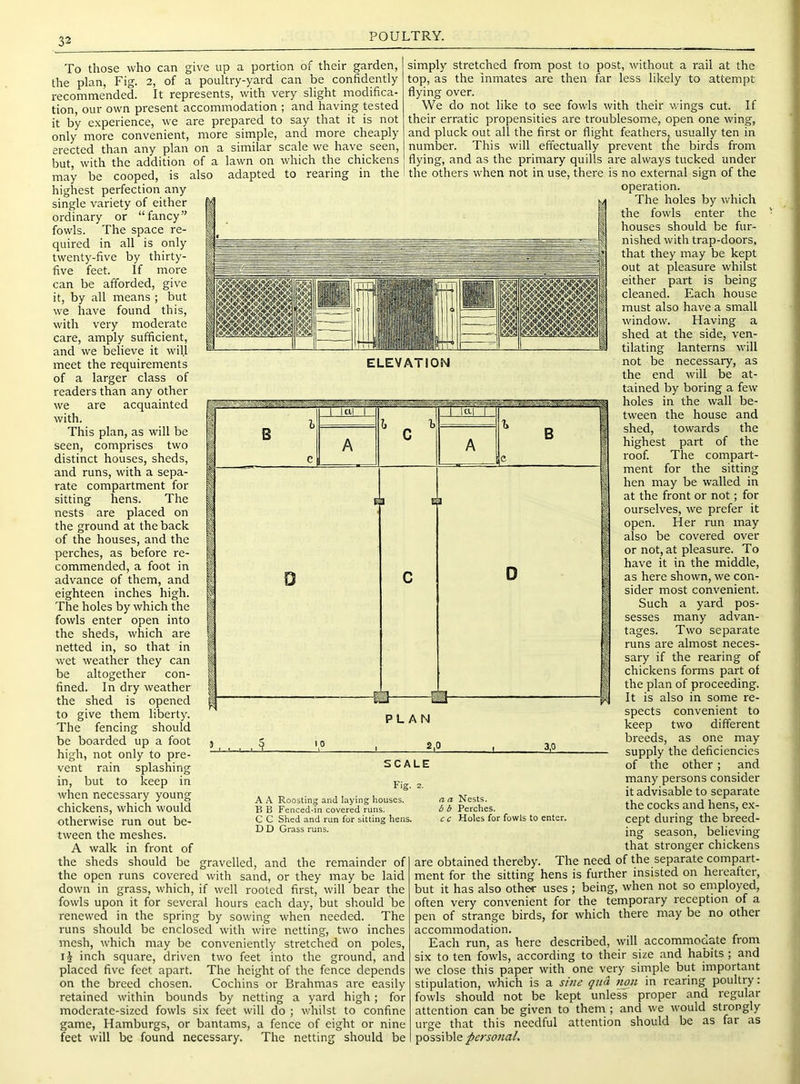 To those who can give up a portion of their garden, the plan, Fig. 2, of a poultry-yai'd can be confidently recommended. It represents, with very slight modifica- tion, our own present accommodation ; and having tested it by experience, we are prepared to say that it is not only more convenient, more simple, and more cheaply erected than any plan on a similar scale we have seen, but, with the addition of a lawn on which the chickens may be cooped, is also highest perfection any single variety of either ordinary or “fancy” fowls. The space re- quired in all is only twenty-five by thirty- five feet. If more can be afforded, give it, by all means ; but we have found this, with very moderate care, amply sufficient, and we believe it will meet the requirements of a larger class of readers than any other we are acquainted with. This plan, as will be seen, comprises two distinct houses, sheds, and runs, with a sepa- rate compartment for sitting hens. The nests are placed on the ground at the back of the houses, and the perches, as before re- commended, a foot in advance of them, and eighteen inches high. The holes by which the fowls enter open into the sheds, which are netted in, so that in wet weather they can be altogether con- fined. In dry weather the shed is opened to give them liberty. The fencing should be boarded up a foot high, not only to pre- vent rain splashing in, but to keep in when necessary young chickens, which would otherwise run out be- tween the meshes. A walk in front of the sheds should be the open runs covered adapted to rearing in the ELEVATION Fig. A A Roosting and laying houses. B B Fenced-in covered runs. C C Shed and run for sitting hens. D D Grass runs. gravelled, and the remainder of with sand, or they may be laid down in grass, which, if well rooted first, will bear the fowls upon it for several hours each day, but should be renewed in the spring by sowing when needed. The runs should be enclosed with wire netting, two inches mesh, which may be conveniently stretched on poles, ij inch square, driven two feet into the ground, and placed five feet apart. The height of the fence depends on the breed chosen. Cochins or Brahmas are easily retained within bounds by netting a yard high ; for moderate-sized fowls six feet will do ; whilst to confine game, Hamburgs, or bantams, a fence of eight or nine feet will be found necessary. The netting should be simply stretched from post to post, without a rail at the top, as the inmates are then far less likely to attempt flying over. We do not like to see fowls with their wings cut. If their erratic propensities are troublesome, open one wing, and pluck out all the first or flight feathers, usually ten in number. This will effectually prevent the birds from flying, and as the primary quills are always tucked under the others when not in use, there is no external sign of the operation. The holes by which the fowls enter the houses should be fur- nished with trap-doors, that they may be kept out at pleasure whilst either part is being cleaned. Each house must also have a small window. Having a shed at the side, ven- tilating lanterns will not be necessary, as the end will be at- tained by boring a few holes in the wall be- tween the house and shed, towards the highest part of the roof. The compart- ment for the sitting hen may be walled in at the front or not; for ourselves, we prefer it open. Her run may also be covered over or not, at pleasure. To have it in the middle, as here shown, we con- sider most convenient. Such a yard pos- sesses many advan- tages. Two separate runs are almost neces- sary if the rearing of chickens forms part of the plan of proceeding. It is also in some re- spects convenient to keep two different breeds, as one may supply the deficiencies of the other; and many persons consider it advisable to separate the cocks and hens, ex- cept during the breed- ing season, believing that stronger chickens are obtained thereby. The need of the separate compart- ment for the sitting hens is further insisted on hereafter, but it has also other uses ; being, when not so entployed, often very convenient for the temporary reception of a pen of strange birds, for which there may be no other accommodation. Each run, as here described, will accommodate from six to ten fowls, according to their size and habits ; and we close this paper with one very simple but important stipulation, which is a sine qua non in rearing poultry: fowls should not be kept unless proper and regular attention can be given to them ; and we would strongly urge that this needful attention should be as far as possible personal. PLAN 2,0 3,0 SCALE a a Nests. b b Perches. cc Holes for fowls to enter.