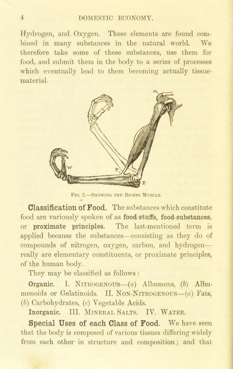 Hydrogen, and Oxygen. These elements are found com- bined in many substances in the natural world. We therefore take some of these substances, use them for food, and submit them in the body to a series of processes which eventually lead to them becoming actually tissue- material. Fio. 2.—Showing the Biceps Muscle. Classification of Food. The substances which constitute food are variously spoken of as food stuffs, food-substances, or proximate principles. The last-mentioned term is applied because the substances—consisting as they do of compounds of nitrogen, oxygen, carbon, and hydrogen— really are elementary constituents, or proximate principles, of the human body. They may be classified as follows : Organic. I. Nitrogenous—(a) Albumens, (b) Albu- menoids or Gelatinoids. II. Non-Nitrogenous—(a) Fats, (b) Carbohydrates, (c) Vegetable Acids. Inorganic. III. Mineral Salts. IV. Water. Special Uses of each Class of Food. We have seen that the body is composed of various tissues differing widely from each other in structure and composition; and that