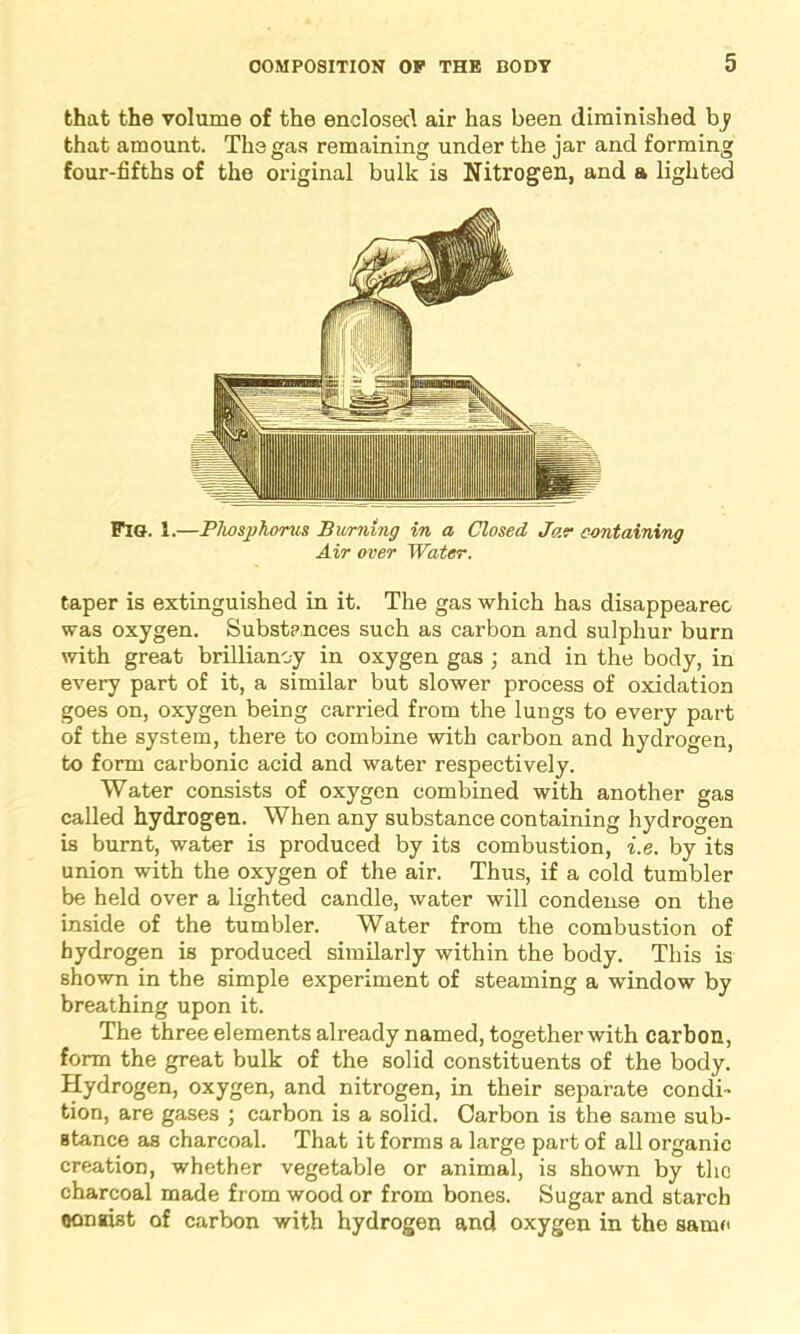 that the volume of the enclosed air has been diminished by that amount. The gas remaining under the jar and forming four-fifths of the original bulk is Nitrogen, and a lighted PlO. i.—Phosphorus Burning in a Closed Jar containing Air over Water. taper is extinguished in it. The gas which has disappeareo was oxygen. Substences such as carbon and sulphur burn with great brilliancy in oxygen gas ; and in the body, in every part of it, a similar but slower process of oxidation goes on, oxygen being carried from the lungs to every part of the system, there to combine with carbon and hydrogen, to form carbonic acid and water respectively. Water consists of oxygen combined with another gas called hydrogen. When any substance containing hydrogen is burnt, water is produced by its combustion, i.e. by its union with the oxygen of the air. Thus, if a cold tumbler be held over a lighted candle, water will condense on the inside of the tumbler. Water from the combustion of hydrogen is produced similarly within the body. This is shown in the simple experiment of steaming a window by breathing upon it. The three elements already named, together with carbon, form the great bulk of the solid constituents of the body. Hydrogen, oxygen, and nitrogen, in their separate condi- tion, are gases ; carbon is a solid. Carbon is the same sub- stance as charcoal. That it forms a large part of all organic creation, whether vegetable or animal, is shown by the charcoal made from wood or from bones. Sugar and starch consist of carbon with hydrogen and oxygen in the same