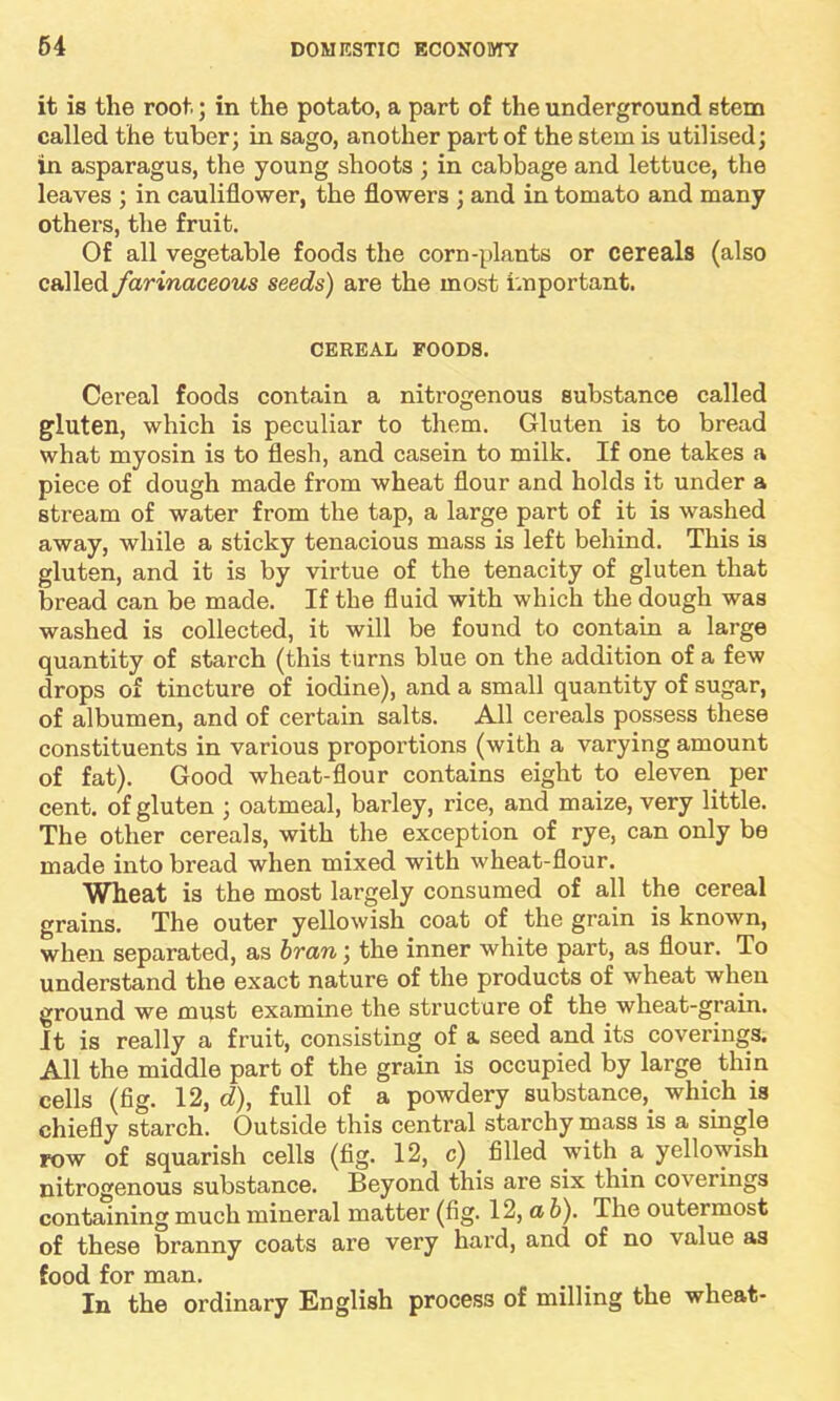 it is the root; in the potato, a part of the underground stem called the tuber; in sago, another part of the stem is utilised; in asparagus, the young shoots ; in cabbage and lettuce, the leaves ; in cauliflower, the flowers ; and in tomato and many others, the fruit. Of all vegetable foods the corn-plants or cereals (also called farinaceous seeds) are the most important. CEREAL FOODS. Cereal foods contain a nitrogenous substance called gluten, which is peculiar to them. Gluten is to bread what myosin is to flesh, and casein to milk. If one takes a piece of dough made from wheat flour and holds it under a stream of water from the tap, a large part of it is washed away, while a sticky tenacious mass is left behind. This is gluten, and it is by virtue of the tenacity of gluten that bread can be made. If the fluid with which the dough was washed is collected, it will be found to contain a large quantity of starch (this turns blue on the addition of a few drops of tincture of iodine), and a small quantity of sugar, of albumen, and of certain salts. All cereals possess these constituents in various proportions (with a varying amount of fat). Good wheat-flour contains eight to eleven per cent, of gluten ; oatmeal, barley, rice, and maize, very little. The other cereals, with the exception of rye, can only be made into bread when mixed with wheat-flour. Wheat is the most largely consumed of all the cereal grains. The outer yellowish coat of the grain is known, when separated, as bran; the inner white part, as flour. To understand the exact nature of the products of wheat when ground we must examine the structure of the wheat-grain. It is really a fruit, consisting of a seed and its coverings. All the middle part of the grain is occupied by large thin cells (fig. 12, d), full of a powdery substance, which is chiefly starch. Outside this central starchy mass is a single row of squarish cells (fig. 12, c) filled with a yellowish nitrogenous substance. Beyond this are six thin coverings containing much mineral matter (fig. 12, a b). The outermost of these branny coats are very hard, and of no value as food for man. In the ordinary English process of milling the wheat-