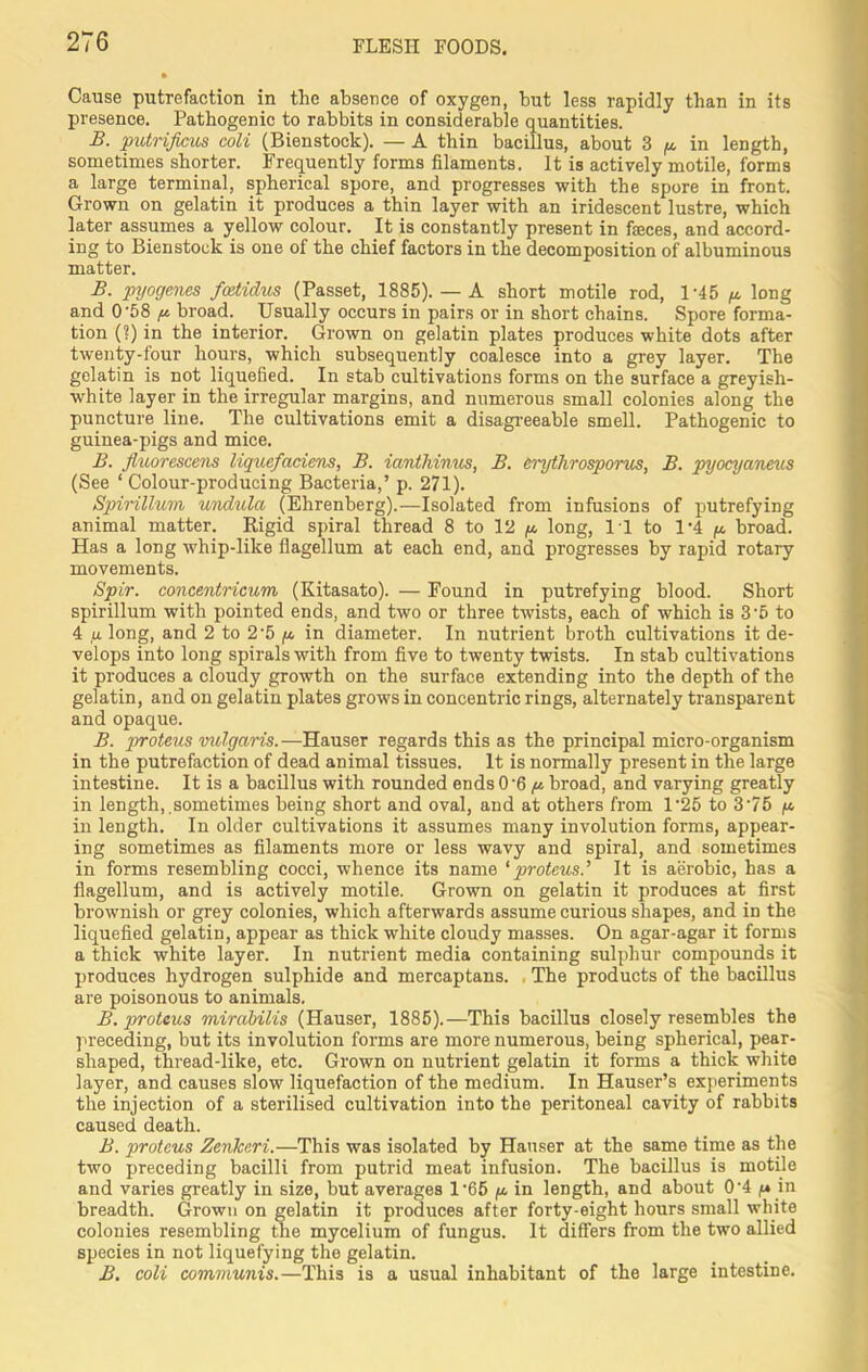 Cause putrefaction in the absence of oxygen, but less rapidly than in its presence. Pathogenic to rabbits in considerable quantities. B. putrificus coli (Bienstock). — A thin bacillus, about 3 y. in length, sometimes shorter. Frequently forms filaments. It is actively motile, forms a large terminal, spherical spore, and progresses with the spore in front. Grown on gelatin it produces a thin layer with an iridescent lustre, which later assumes a yellow colour. It is constantly present in faeces, and accord- ing to Bienstock is one of the chief factors in the decomposition of albuminous matter. B. pyogenes fcetidus (Passet, 1885). — A short motile rod, 145 y. long and 0’58 y. broad. Usually occurs in pairs or in short chains. Spore forma- tion (?) in the interior. Grown on gelatin plates produces white dots after twenty-four hours, which subsequently coalesce into a grey layer. The gelatin is not liquefied. In stab cultivations forms on the surface a greyish- white layer in the irregular margins, and numerous small colonies along the puncture line. The cultivations emit a disagreeable smell. Pathogenic to guinea-pigs and mice. B. fluorescem liquefaciens, B. ianthinus, B. erythrosporus, B. pyocyaneus (See ‘ Colour-producing Bacteria,’ p. 271). Spirillum undula (Ehrenberg).—Isolated from infusions of putrefying animal matter. Rigid spiral thread 8 to 12 y. long, IT to 1*4 y. broad. Has a long whip-like flagellum at each end, and progresses by rapid rotary movements. Spir. concentricum (Kitasato). — Found in putrefying blood. Short spirillum with pointed ends, and two or three twists, each of which is 3'5 to 4 u. long, and 2 to 2*5 y in diameter. In nutrient broth cultivations it de- velops into long spirals with from five to twenty twists. In stab cultivations it produces a cloudy growth on the surface extending into the depth of the gelatin, and on gelatin plates grows in concentric rings, alternately transparent and opaque. B. proteus vulgaris.—Hauser regards this as the principal micro-organism in the putrefaction of dead animal tissues. It is normally present in the large intestine. It is a bacillus with rounded ends 0'6 y broad, and varying greatly in length, sometimes being short and oval, and at others from 1'25 to 3‘75 /a in length. In older cultivations it assumes many involution forms, appear- ing sometimes as filaments more or less wavy and spiral, and sometimes in forms resembling cocci, whence its name ‘proteus.’ It is aerobic, has a flagellum, and is actively motile. Grown on gelatin it produces at first brownish or grey colonies, which afterwards assume curious shapes, and iD the liquefied gelatin, appear as thick white cloudy masses. On agar-agar it forms a thick white layer. In nutrient media containing sulphur compounds it produces hydrogen sulphide and mercaptans. The products of the bacillus are poisonous to animals. B. proteus mirabilis (Hauser, 1885).—This bacillus closely resembles the preceding, but its involution forms are more numerous, being spherical, pear- shaped, thread-like, etc. Grown on nutrient gelatin it forms a thick white layer, and causes slow liquefaction of the medium. In Hauser’s experiments the injection of a sterilised cultivation into the peritoneal cavity of rabbits caused death. B. proteus Zenkeri.—This was isolated by Hauser at the same time as the two preceding bacilli from putrid meat infusion. The bacillus is motile and varies greatly in size, but averages 1-65 y in length, and about 0 -4 y in breadth. Grown on gelatin it produces after forty-eight hours small white colonies resembling the mycelium of fungus. It differs from the two allied species in not liquefying the gelatin. B. coli communis.—This is a usual inhabitant of the large intestine.