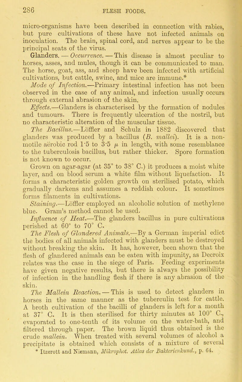 micro-organisms have been described in connection with rabies, but pure cultivations of these have not infected animals on inoculation. The brain, spinal cord, and nerves appear to be the principal seats of the virus. Glanders. — Occurrence. — This disease is almost peculiar to horses, asses, and mules, though it can be communicated to man. The horse, goat, ass, and sheep have been infected with artificial cultivations, but cattle, swine, and mice are immune.* Mode of Infection.—Primary intestinal infection has not been observed in the case of any animal, and infection usually occurs through external abrasion of the skin. Effects.—Glanders is characterised by the formation of nodules and tumours. There is frequently ulceration of the nostril, but no characteristic alteration of the muscular tissue. The Bacillus.—Loffler and Schulz in 1882 discovered that glanders was produced by a bacillus (B. mallei). It is a non- motile aerobic rod l-5 to 3-5 /x in length, with some resemblance to the tuberculosis bacillus, but rather thicker. Spore formation is not known to occur. Grown on agar-agar (at 35° to 38° C.) it produces a moist white layer, and on blood serum a white film without liquefaction. It forms a characteristic golden growth on sterilised potato, which gradually darkens and assumes a reddish colour. It sometimes forms filaments in cultivations. Staining.—Loffler employed an alcoholic solution of methylene blue. Gram’s method cannot be used. Influence of Heat.—The glanders bacillus in pure cultivations perished at 60° to 70° C. The Flesh of Glandered Animals.—By a German imperial edict the bodies of all animals infected with glanders must be destroyed without breaking the skin. It has, however, been shown that the flesh of glandered animals can be eaten with impunity, as Decroix relates was the case in the siege of Paris. Feeding experiments have given negative results, but there is always the possibility of infection in the handling flesh if there is any abrasion of the skin. The Mallein Reaction. — This is used to detect glanders in horses in the same manner as the tuberculin test for cattle. A broth cultivation of the bacilli of glanders is left for a month at 37° C. It is then sterilised for thirty minutes at 100° C., evaporated to one-tenth of its volume on the water-bath, and filtered through paper. The brown liquid thus obtained is the crude mallein. When treated with several volumes of alcohol a precipitate is obtained which consists of a mixture of several * Itzerott and Niemann, Mikrophot. Atlas dcr BaJcterienkund., p. 64.