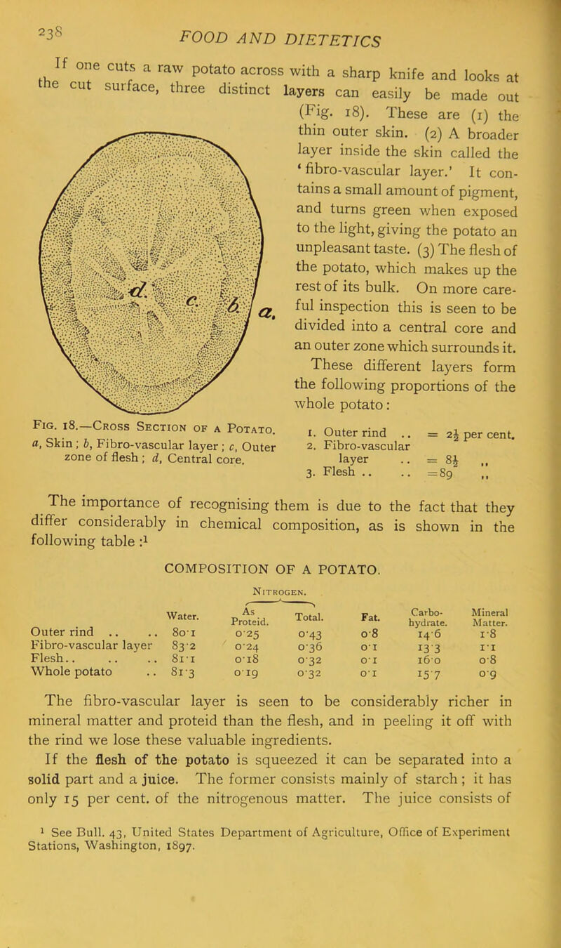 If one cuts a raw potato across with a sharp knife and looks at the cut surface, three distinct layers can easily be made out (Fig. 18), These are (i) the thin outer skin. (2) A broader layer inside the skin called the ‘ flbro-vascular layer.’ It con- tains a small amount of pigment, and turns green when exposed to the light, giving the potato an unpleasant taste. (3) The flesh of the potato, which makes up the rest of its bulk. On more care- ful inspection this is seen to be divided into a central core and an outer zone which surrounds it. These different layers form the following proportions of the whole potato: Fig. 18.—Cross Section of a Potato. a, Skin ; b, Fibro-vascular layer; c, Outer zone of flesh ; d, Central core. 1. Outer rind .. 2. Fibro-vascular layer 3. Flesh .. = 2^ per cent. = .. = 89 The importance of recognising them is due to the fact that they differ considerably in chemical composition, as is shown in the following table COMPOSITION OF A POTATO. Nitrogen. Water. As Proteid. Total. Fat, Outer rind .. 801 025 0-43 0*8 Fibro-vascular layer 832 024 036 01 Flesh.. 8l-I 018 032 01 Whole potato 8i-3 019 032 01 Carbo- Mineral hydrate. Matter. I46 1-8 133 I'l 160 0*8 157 o-g The fibro-vascular layer is seen to be considerably richer in mineral matter and proteid than the flesh, and in peeling it off with the rind we lose these valuable ingredients. If the flesh of the potato is squeezed it can be separated into a solid part and a juice. The former consists mainly of starch ; it has only 15 per cent, of the nitrogenous matter. The juice consists of * See Bull. 43, United States Department of Agriculture, Office of Experiment Stations, Washington, 1897.